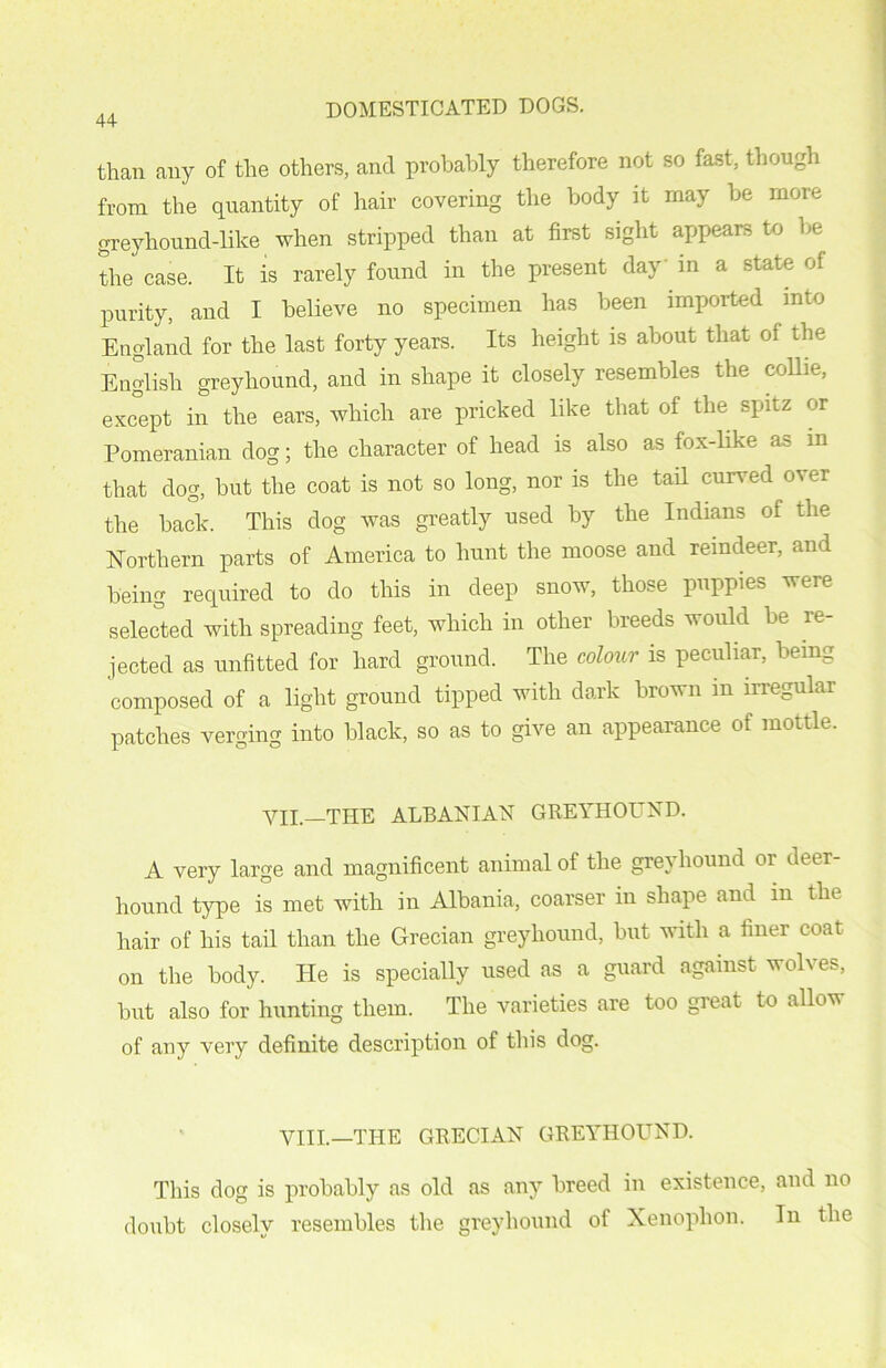 than any of the others, and probably therefore not so fast, though from the quantity of hair covering the body it may he more greyhound-like when stripped than at first sight appears to he the case. It is rarely found in the present day in a state of purity, and I believe no specimen has been imported into England for the last forty years. Its height is about that of the English greyhound, and in shape it closely resembles the collie, except in the ears, which are pricked like that of the spitz or Pomeranian dog; the character of head is also as fox-like as in that dog, but the coat is not so long, nor is the tail curved o^ er the back. This dog was greatly used by the Indians of the Northern parts of America to hunt the moose and reindeer, and being required to do this in deep snow, those puppies were selected with spreading feet, which in other breeds would be re- jected as unfitted for hard ground. The colour is peculiar, being composed of a light ground tipped with dark brown in irregular patches verging into black, so as to give an appearance of mottle. YXI. THE ALBANIAN GREYHOUND. A very large and magnificent animal of the greyhound or deer- hound type is met with in Albania, coarser in shape and m the hair of his tail than the Grecian greyhound, but with a finer coat on the body. He is specially used as a guard against wolves, but also for hunting them. The varieties are too great to allow of any very definite description of this dog. VIII.—the GRECIAN GREYHOUND. This dog is probably as old as any breed in existence, and no doubt closely resembles the greyhound ot Xenophon, In the
