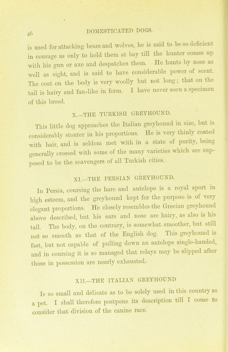 46 is used for attacking bears and wolves, he is said to be so deficient in courage as only to hold them at bay till the hunter comes up with his gun or axe and despatches them. He hunts by nose as well as sight, and is said to have considerable power of scent. The coat on the body is very woolly but not long; that on the tail is hairy and fan-like in form. I have never seen a specimen of this breed. X.—THE TURKISH GREYHOUND. This little dog approaches the Italian greyhound in size, but is considerably stouter in his proportions. He is very thinly coated with hair, and is seldom met with in a state of purity, being generally crossed with some of the many varieties which are sup- posed to be the scavengers of all Turkish cities. XI— THE PERSIAN GREYHOUND. In Persia, coursing the hare and antelope is a royal sport in high esteem, and the greyhound kept for the purpose is of very elegant proportions. He closely resembles the Grecian greyhound above described, but his ears and nose are hairy, as also is his tail. The body, 011 the contrary, is somewhat smoother, but still not so smooth as that of the English dog. Tliis greyhound is fast, but not capable of pulling down an antelope single-handed, and in coursing it is so managed that relays may be slipped after those in possession are nearly exhausted.- XII— THE ITALIAN GREYHOUND Is so small and delicate as to be solely used in this country as a pet. I shall therefore postpone its description till I come to consider that division of the canine race.