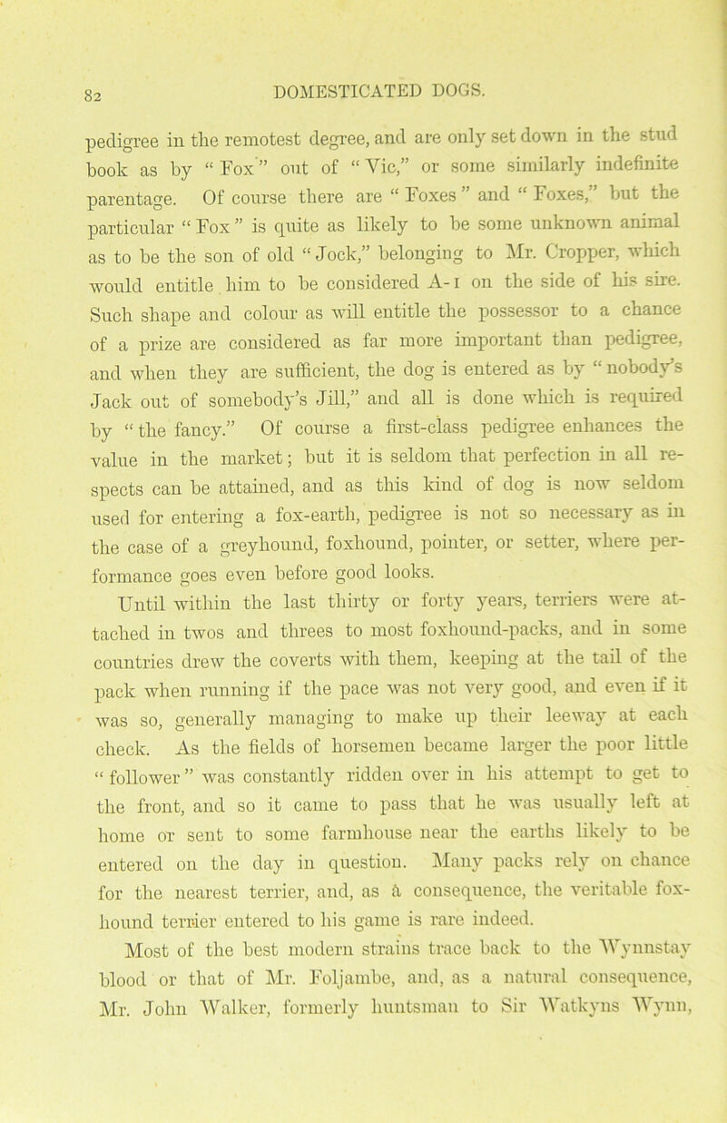 pedigree in the remotest degree, and are only set down in the stud book as by “Fox'” out of “Vie,” or some similarly indefinite parentage. Of course there are “ Foxes and “ Foxes, but the particular “ Fox ” is quite as likely to he some unknown animal as to he the son of old “Jock,” belonging to Mr. Cropper, which would entitle him to he considered A-1 on the side of his sire. Such shape and colour as will entitle the possessor to a chance of a prize are considered as far more important than pedigree, and when they are sufficient, the dog is entered as by “nobody’s Jack out of somebody’s Jill,” and all is done which is required by “ the fancy.” Of course a first-class pedigree enhances the value in the market; but it is seldom that perfection in all re- spects can be attained, and as this kind of dog is now seldom used for entering a fox-earth, pedigree is not so necessary as in the case of a greyhound, foxhound, pointer, or setter, where per- formance goes even before good looks. Until within the last thirty or forty yearn, terriers were at- tached in twos and threes to most foxhound-packs, and in some countries drew the coverts with them, keeping at the tail of the pack when running if the pace was not very good, and even if it was so, generally managing to make up their leeway at each check. As the fields of horsemen became larger the poor little « follower ” was constantly ridden over in his attempt to get to the front, and so it came to pass that he was usually left at home or sent to some farmhouse near the earths likely to be entered on the day in question. Many packs rely on chance for the nearest terrier, and, as a consequence, the veritable fox- hound terrier entered to his game is rare indeed. Most of the best modern strains trace back to the Wynnstay blood or that of Mr. Foljambe, and, as a natural consequence, Mr. John Walker, formerly huntsman to Sir Watkyns Wynn,