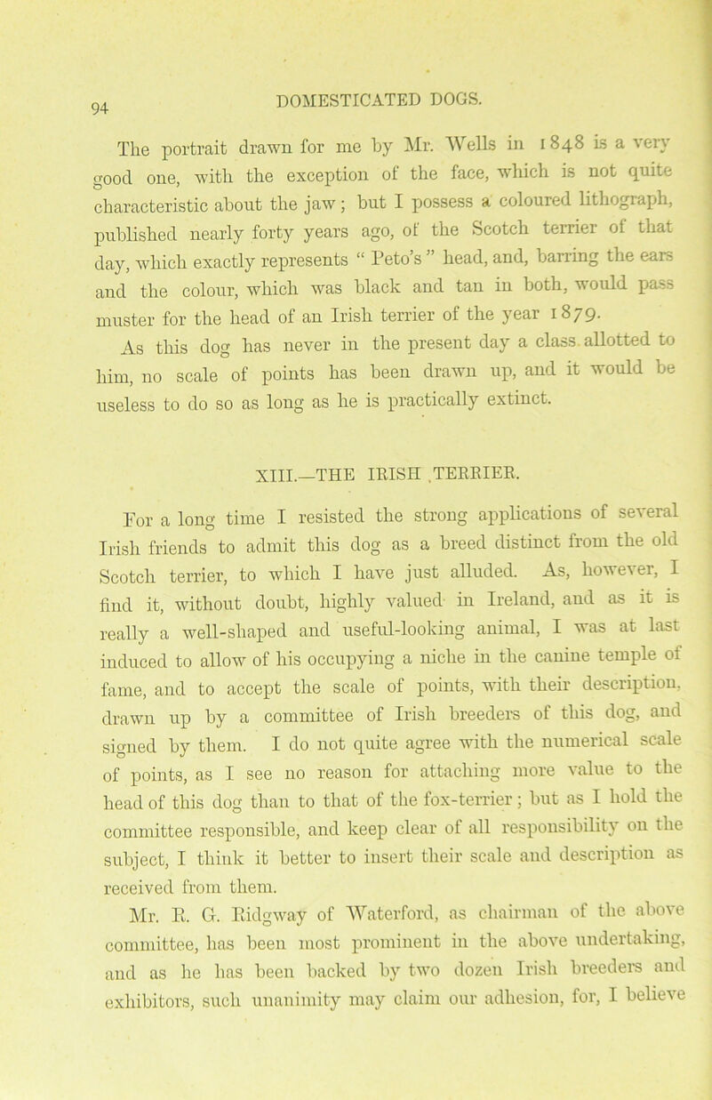 The portrait drawn for me by Mr. Wells in 1848 is a very good one, with the exception of the face, which is not quite characteristic about the jaw; but I possess a coloured lithogiaph, published nearly forty years ago, ot the Scotch terriei ot that day, which exactly represents 11 Petos head, and, barring the eai' and the colour, which was black and tan in both, would, pass muster for the head of an Irish terrier of the year 1879. As this dog has never in the present day a class allotted to him, no scale of points has been drawn up, and it would be useless to do so as long as he is practically extinct. XIII.—THE IRISH TERRIER. For a long time I resisted the strong applications of several Irish friends to admit this dog as a breed distinct from the old Scotch terrier, to which I have just alluded. As, however, I find it, without doubt, highly valued hi Ireland, and as it is really a well-shaped and useful-looking animal, I was at last induced to allow of his occupying a niche in the canine temple of fame, and to accept the scale of points, with their description, drawn up by a committee of Irish breeders of this dog, and signed by them. I do not quite agree with the numerical scale of points, as I see no reason for attaching more value to the head of this dog than to that of the fox-terrier; but as I hold the committee responsible, and keep clear of all responsibility on the subject, I think it better to insert their scale and description as received from them. Mr. E. G. Eidgway of Waterford, as chairman of the abo\ e committee, has been most prominent in the above undertaking, and as he has been backed by two dozen Irish breeders and exhibitors, such unanimity may claim our adhesion, for, I believe