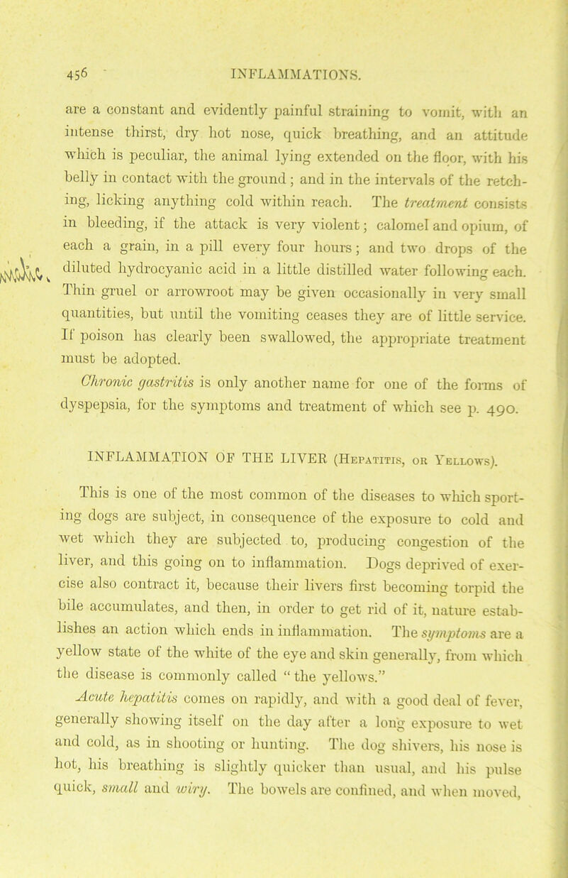 are a constant and evidently painful straining to vomit, with an intense thirst, dry hot nose, quick breathing, and an attitude which is peculiar, the animal lying extended on the floor, with his belly in contact with the ground ; and in the intervals of the retch- ing, licking anything cold within reach. The treatment consists in bleeding, if the attack is very violent; calomel and opium, of each a grain, in a pill every four hours; and two drops of the diluted hydrocyanic acid in a little distilled water following each. Thin gruel or arrowroot may be given occasionally in very small quantities, but until the vomiting ceases they are of little service. If poison has clearly been swallowed, the appropriate treatment must be adopted. Chronic gastritis is only another name for one of the forms of dyspepsia, for the symptoms and treatment of which see p. 490. INFLAMMATION OF THE LIVER (Hepatitis, or Yellows). This is one of the most common of the diseases to which sport- ing dogs are subject, in consequence of the exposure to cold and wet which they are subjected to, producing congestion of the liver, and this going on to inflammation. Dogs deprived of exer- cise also contract it, because their livers first becoming torpid the bile accumulates, and then, in order to get rid of it, nature estab- lishes an action which ends in inflammation. The symptoms are a yellow state of the white of the eye and skin generally, from which the disease is commonly called “ the yellows.” Acute hepatitis comes on rapidly, and with a good deal of fever, generally showing itself on the day after a long exposure to wet and cold, as in shooting or hunting. The dog shivers, his nose is hot, his breathing is slightly quicker than usual, and his pulse quick, small and wiry. The bowels are confined, and when moved,