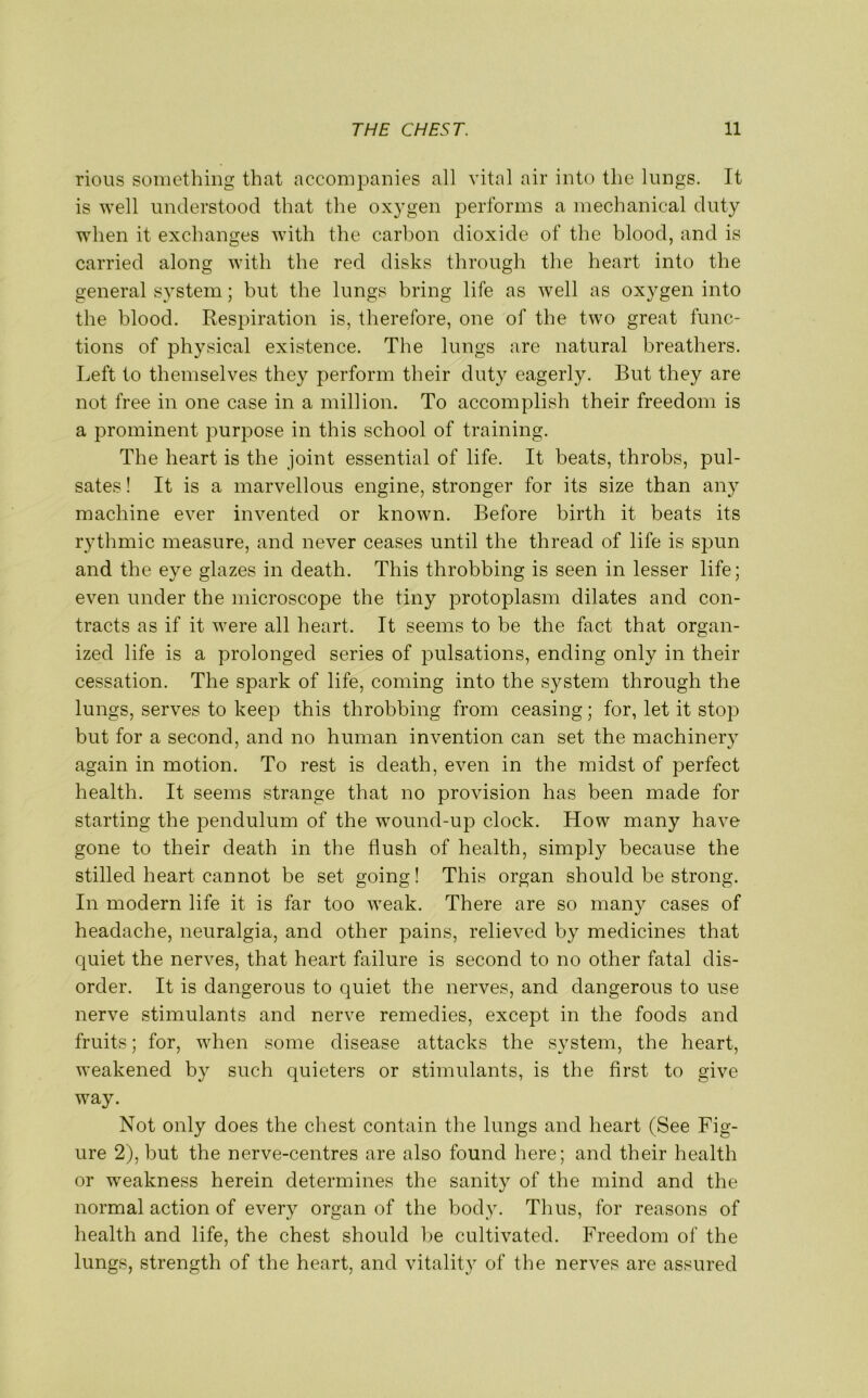 rious something that accompanies all vital air into the lungs, it is well understood that the oxygen performs a mechanical duty when it exchanges with the carbon dioxide of the blood, and is carried along with the red disks through the heart into the general system; but the lungs bring life as well as oxygen into the blood. Respiration is, therefore, one of the two great func- tions of physical existence. The lungs are natural breathers. Left to themselves they perform their duty eagerly. But they are not free in one case in a million. To accomplish their freedom is a prominent purpose in this school of training. The heart is the joint essential of life. It beats, throbs, pul- sates ! It is a marvellous engine, stronger for its size than an}7 machine ever invented or known. Before birth it beats its rythmic measure, and never ceases until the thread of life is spun and the eye glazes in death. This throbbing is seen in lesser life; even under the microscope the tiny protoplasm dilates and con- tracts as if it were all heart. It seems to be the fact that organ- ized life is a prolonged series of pulsations, ending only in their cessation. The spark of life, coming into the system through the lungs, serves to keep this throbbing from ceasing; for, let it stop but for a second, and no human invention can set the machinery again in motion. To rest is death, even in the midst of perfect health. It seems strange that no provision has been made for starting the pendulum of the wound-up clock. How many have gone to their death in the flush of health, simply because the stilled heart cannot be set going! This organ should be strong. In modern life it is far too weak. There are so many cases of headache, neuralgia, and other pains, relieved by medicines that quiet the nerves, that heart failure is second to no other fatal dis- order. It is dangerous to quiet the nerves, and dangerous to use nerve stimulants and nerve remedies, except in the foods and fruits; for, when some disease attacks the system, the heart, weakened by such quieters or stimulants, is the first to give way. Not only does the chest contain the lungs and heart (See Fig- ure 2), but the nerve-centres are also found here; and their health or weakness herein determines the sanity of the mind and the normal action of every organ of the body. Thus, for reasons of health and life, the chest should be cultivated. Freedom of the lungs, strength of the heart, and vitality of the nerves are assured