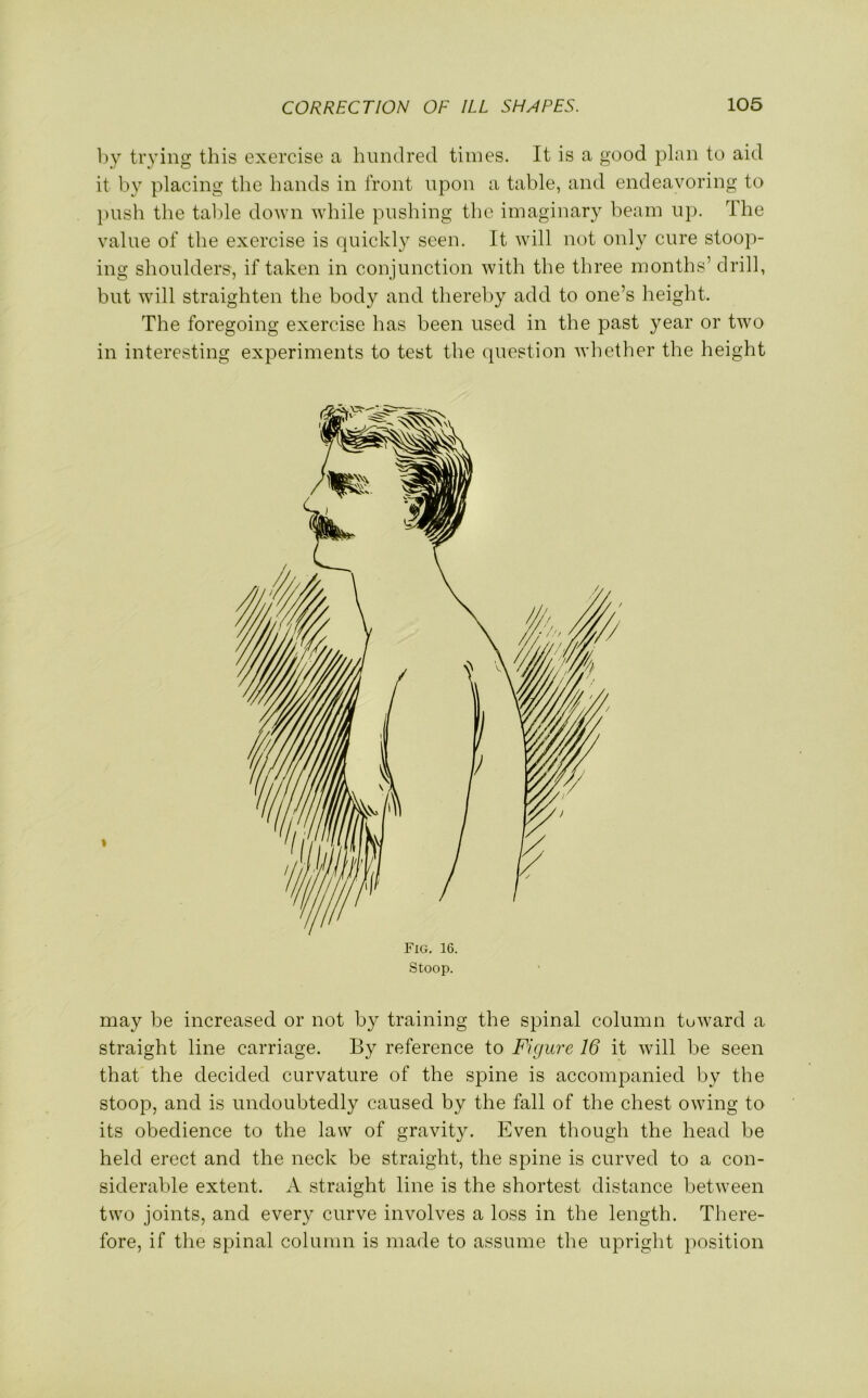 by trying this exercise a hundred times. It is a good plan to aid it bv placing the hands in front upon a table, and endeavoring to push the table down while pushing the imaginary beam up. rlhe value of the exercise is quickly seen. It will not only cure stoop- ing shoulders, if taken in conjunction with the three months’ drill, but will straighten the body and thereby add to one’s height. The foregoing exercise has been used in the past year or two in interesting experiments to test the question whether the height Fig. 16. Stoop. may be increased or not by training the spinal column toward a straight line carriage. By reference to Figure 16 it will be seen that the decided curvature of the spine is accompanied by the stoop, and is undoubtedly caused by the fall of the chest owing to its obedience to the law of gravity. Even though the head be held erect and the neck be straight, the spine is curved to a con- siderable extent. A straight line is the shortest distance between two joints, and every curve involves a loss in the length. There- fore, if the spinal column is made to assume the upright position