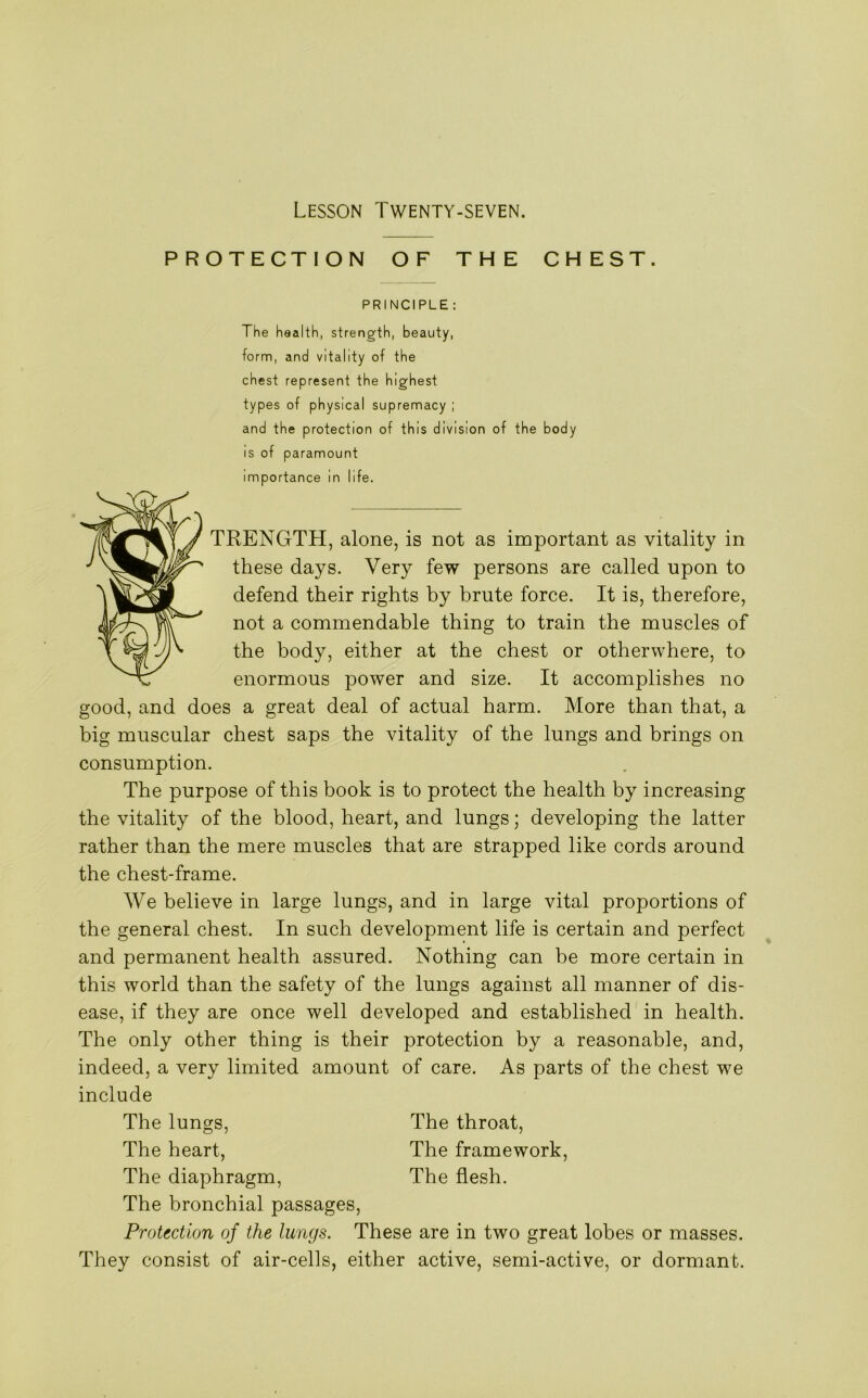 Lesson Twenty-seven. PROTECTION OF THE CHEST. PRINCIPLE : The health, strength, beauty, form, and vitality of the chest represent the highest types of physical supremacy ; and the protection of this division of the body is of paramount importance in life. TRENGTH, alone, is not as important as vitality in these days. Very few persons are called upon to defend their rights by brute force. It is, therefore, not a commendable thing to train the muscles of the body, either at the chest or otherwhere, to enormous power and size. It accomplishes no good, and does a great deal of actual harm. More than that, a big muscular chest saps the vitality of the lungs and brings on consumption. The purpose of this book is to protect the health by increasing the vitality of the blood, heart, and lungs; developing the latter rather than the mere muscles that are strapped like cords around the chest-frame. We believe in large lungs, and in large vital proportions of the general chest. In such development life is certain and perfect and permanent health assured. Nothing can be more certain in this world than the safety of the lungs against all manner of dis- ease, if they are once well developed and established in health. The only other thing is their protection by a reasonable, and, indeed, a very limited amount of care. As parts of the chest we include The lungs, The throat, The heart, The framework, The diaphragm, The flesh. The bronchial passages, Protection of the lungs. These are in two great lobes or masses. They consist of air-cells, either active, semi-active, or dormant.