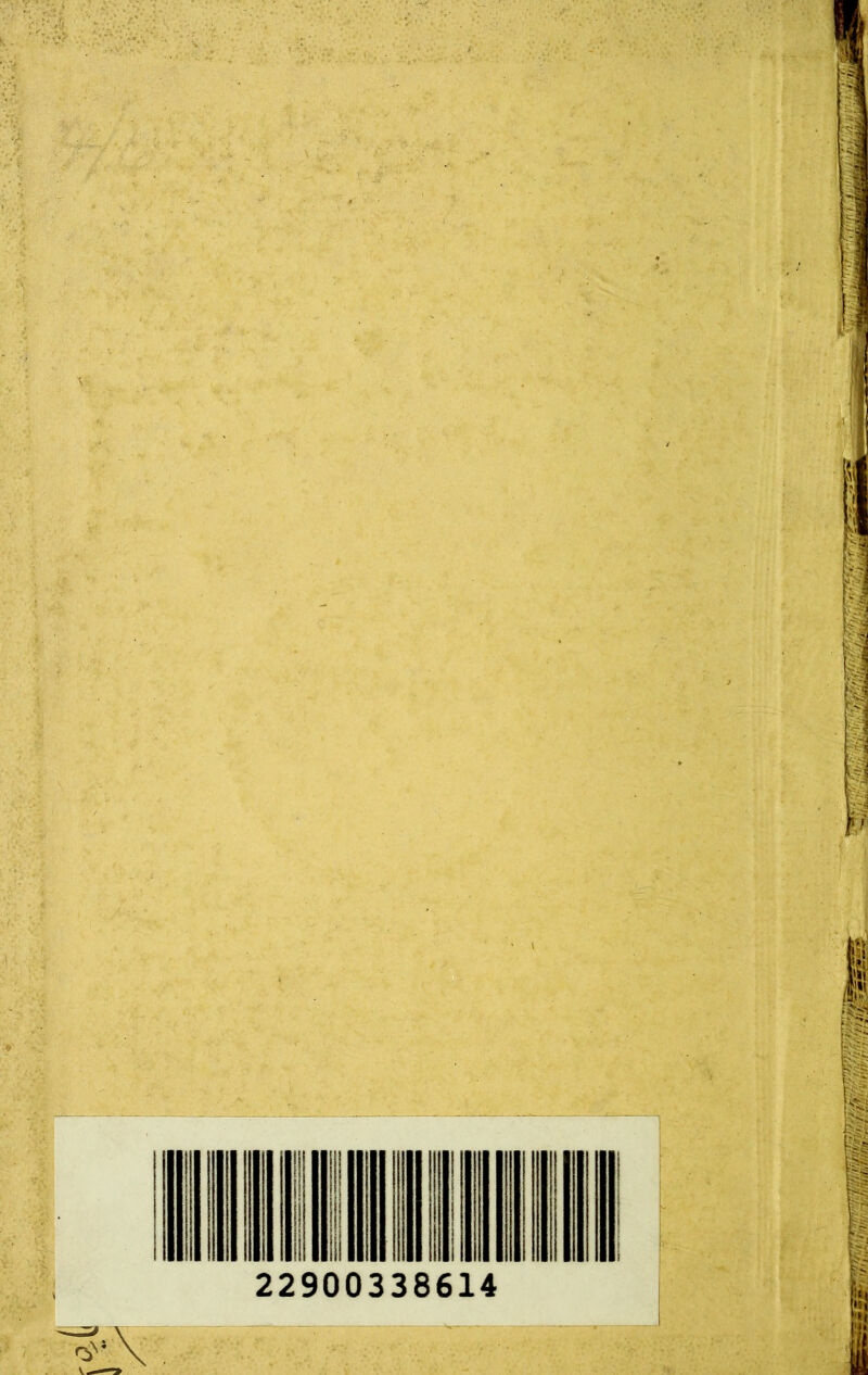 229003386
