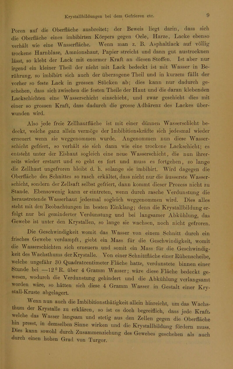 Poren auf die Oberfläche ausbreitet; der Beweis liegt darin, dass sich die Oberfläche eines imbibirten Körpers gegen Oele, Harze, Lacke ebenso verhält wie eine Wasserfläche. Wenn man z. B. Asphaltlack auf völlig trockene Harnblase, Amnionshaut, Papier streicht und dann gut austrockuen lässt, so klebt der Lack mit enormer Kraft an diesen Stoffen. Ist aber nur irgend ein kleiner Theil der nicht mit Lack bedeckt ist mit Wasser in Be- rührung, so imbibirt sich auch der überzogene Theil und in kurzem fällt der vorher so feste Lack in grossen Stücken ab; dies kann nur dadurch ge- schehen, dass sich zwischen die festen Theile der Haut und die daran klebenden Lackschichten eine Wasserschicht einschiebt, und zwar geschieht dies mit einer so grossen Kraft, dass dadurch die grosse Adhärenz des Lackes über- wunden wird. Also jede freie Zellhautfläche ist mit einer dünnen Wasserschicht be- deckt, welche ganz allein vermöge der Imbibitionskräfte sich jedesmal wieder erneuert wenn sie weggenommen wurde. Angenommen nun diese Wasser- schicht gefriert, so verhält sie sich dann wie eine trockene Lackschicht; es entsteht unter der Eishaut sogleich eine neue Wasserschicht, die nun ihrer- seits wieder erstarrt und so geht es fort und muss es fortgehen, so lange die Zellhaut ungefroren bleibt d. h. solange sie imbibirt. Wird dagegen die Oberfläche des Schnittes so rasch erkältet, dass nicht nur die äusserste Wasser- schicht, sondern der Zellsaft selbst gefriert, dann kommt dieser Prozess nicht zu Stande. Ebensowenig kann er eintreten, wenn durch rasche Verdunstung die heraustretende Wasserhaut jedesmal sogleich weggenommen wird. Dies alles steht mit den'Beobachtungen im besten Einklang; denn die Krjstallbildung er- folgt nur bei geminderter Verdunstung und bei langsamer Abkühlung, das Gewebe ist unter den Krystallen, so lange sie wachsen, noch nicht gefroren. Die Geschwindigkeit womit das Wasser von einem Schnitt durch ein frisches Gewebe verdampft, giebt ein Mass für die Geschwindigkeit, womit die Wasserschichten sich erneuern und somit ein Mass für die Geschwindig- keit des Wachsthums der Krystalle. Von einer Schnittfläche einer Rübenscheibe, welche ungefähr 30 Quadratcentinreter Fläche hatte, verdunstete binnen einer Stunde bei —12 °R. über 4 Gramm Wasser; wäre diese Fläche bedeckt ge- wesen, wodurch die Verdunstung gehindert und die Abkühlung verlangsamt worden wäre, so hätten sich diese 4 Gramm Wasser in Gestalt einer Kry- stall-Kruste abgelagert. Wenn nun auch die Imbibitionsthätigkeit allein hinreicht, um das Wachs- thum der Krystalle zu erklären, so ist es doch begreiflich, dass jede Kraft, welche das Wasser langsam und stetig aus den Zellen gegen die Oberfläche Inn presst, in demselben Sinne wirken und die Krystallbildung fördern muss. les kann sowohl durch Zusammenziehung des Gewebes geschehen als auch durch einen hohen Grad von Turgor.