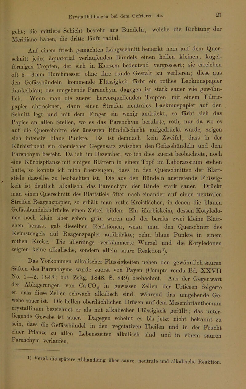 geht* die mittlere Schicht besteht aus Bündeln, welche die Richtung der Meridiane haben, die dritte läuft radial. Auf einem frisch gemachten Längsschnitt bemerkt man auf dem Quer- schnitt jedes äquatorial verlaufenden Bündels einen hellen kleinen, kugel- förmigen Tropfen, der sich in Kurzem bedeutend vergrössert; sie erreichen 0ft 5—ßnun Durchmesser ohne ihre runde Gestalt zu verlieren; diese aus den Gefässbündein kommende Flüssigkeit färbt ein rothes Lackmuspapier dunkelblau; das umgebende Parenchym dagegen ist stark sauer wie gewöhn- lich. Wenn man die zuerst hervorquellenden Tropfen mit einem Filtrir- papier abtrocknet, dann einen Streifen neutrales Lackmuspapier auf den Schnitt legt und mit dem Finger ein wenig andrückt, so färbt sich das Papier an allen Stellen, wo es das Parenchym berührte, roth, nur da wo es auf die Querschnitte der äusseren Biindel'schicht aufgedrückt wurde, zeigen sich intensiv blaue Punkte. Es ist demnach kein Zweifel, dass in der Kürbisfrucht ein chemischer Gegensatz zwischen den Gefässbündeln und dem Parenchym besteht. Da ich im Dezember, wo ich dies zuerst beobachtete, noch eine Kürbispflanze mit einigen Blättern in einem Topf im Laboratorium stehen hatte, so konnte ich mich überzeugen, dass in den Querschnitten der Blatt- stiele dasselbe zu beobachten ist. Die aus den Bündeln austretende Flüssig- keit ist deutlich alkalisch, das Parenchym der Rinde stark sauer. Drückt man einen Querschnitt des Blattstiels öfter nach einander auf einen neutralen Streifen Reagenzpapier, so erhält man rothe Kreisflächen, in denen die blauen Gefässbündelabdrücke einen Zirkel bilden. Ein Kürbiskeim, dessen Kotyledo- nen noch klein aber schon grün waren imd der bereits zwei kleine Blätt- chen besass, gab dieselben Reaktionen, wenn man den Querschnitt des Keimstengels auf Reagenzpapier aufdrückte; zehn blaue Punkte in einem rothen Kreise. Die allerdings verkümmerte Wurzel und die Kotyledonen zeigten keine alkalische, sondern allein saure Reaktion1). Das \ orkommen alkalischer Flüssigkeiten neben den gewöhnlich sauren Säften des Parenchyms wurde zuerst von Payen (Compte rendu Bd. XXVII ^°- 1—2. 1848; bot. Zeitg. 1848. S. 849) beobachtet. Aus der Gegenwart der Ablagerungen von CaC03 in gewissen Zellen der Urticeen folgerte er, dass diese Zellen schwach alkalisch sind, während das umgebende Ge- webe sauer ist. Die hellen oberflächlichen Drüsen auf dem Mesembrianthemum crystallinum bezeichnet er als mit alkalischer Flüssigkeit gefüllt; das unter- liegende Gewebe ist sauer. Dagegen scheint es bis jetzt nicht bekannt zu sein, dass die Gefässbündel in den vegetativen Theilen und in der Frucht einer Pflanze zu allen Lebenszeiten alkalisch sind und in einem sauren Parenchym verlaufen. B Vergl. die spätere Abhandlung über saure, neutrale und alkalische Reaktion.