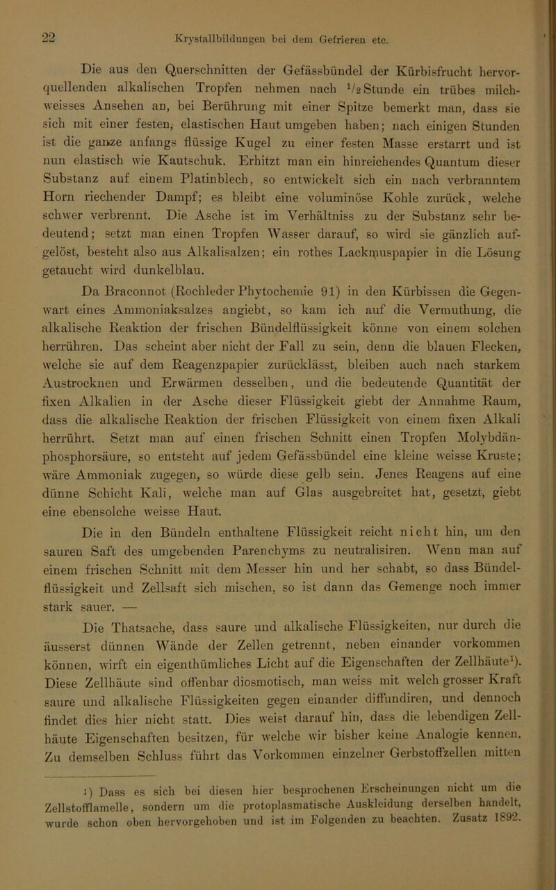 Die nus den Querschnitten der Gefässbündel der Kürbisfrucht hervor- quellenden alkalischen Tropfen nehmen nach Va Stunde ein trübes milch- weisses Ansehen an, bei Berührung mit einer Spitze bemerkt man, dass sie sich mit einer festen, elastischen Haut umgeben haben; nach einigen Stunden ist die ganze anfangs flüssige Kugel zu einer festen Masse erstarrt und ist nun elastisch wie Kautschuk. Erhitzt man ein hinreichendes Quantum dieser Substanz auf einem Platinblech, so entwickelt sich ein nach verbranntem Horn riechender Dampf; es bleibt eine voluminöse Kohle zurück, welche schwer verbrennt. Die Asche ist im Verhältniss zu der Substanz sehr be- deutend ; setzt man einen Tropfen Wasser darauf, so wird sie gänzlich auf- gelöst, besteht also aus Alkalisalzen; ein rothes Laekipuspapier in die Lösung getaucht wird dunkelblau. Da Braconnot (Rochleder Phytochemie 91) in den Kürbissen die Gegen- wart eines Ammoniaksalzes angiebt, so kam ich auf die Vermuthung, die alkalische Reaktion der frischen Bündelflüssigkeit könne von einem solchen herrühren. Das scheint aber nicht der Fall zu sein, denn die blauen Flecken, welche sie auf dem Reagenzpapier zurücklässt, bleiben auch nach starkem Austrocknen und Erwärmen desselben, und die bedeutende Quantität der fixen Alkalien in der Asche dieser Flüssigkeit giebt der Annahme Raum, dass die alkalische Reaktion der frischen Flüssigkeit von einem fixen Alkali herrührt. Setzt man auf einen frischen Schnitt einen Tropfen Molybdän- phosphorsäure, so entsteht auf jedem Gefässbündel eine kleine weisse Kruste; wäre Ammoniak zugegen, so würde diese gelb sein. Jenes Reagens auf eine dünne Schicht Kali, welche man auf Glas ausgebreitet hat, gesetzt, giebt eine ebensolche weisse Haut. Die in den Bündeln enthaltene Flüssigkeit reicht nicht hin, um den sauren Saft des umgebenden Parenchyms zu neutralisiren. Wenu man auf einem frischen Schnitt mit dem Messer hin und her schabt, so dass Biindel- fliissigkeit und Zellsaft sich mischen, so ist dann das Gemenge noch immer stark sauer. — Die Thatsache, dass saure und alkalische Flüssigkeiten, nur durch die äusserst dünnen Wände der Zellen getrennt, neben einander Vorkommen können, wirft ein eigenthümliches Licht auf die Eigenschaften der Zellhäute1). Diese Zellhäute sind offenbar diosmotisch, man weiss mit welch grosser Kraft saure und alkalische Flüssigkeiten gegen einander diffundiren, und dennoch findet dies hier nicht statt. Dies weist darauf hin, dass die lebendigen Zell- häute Eigenschaften besitzen, für welche wir bisher keine Analogie kennen. Zu demselben Schluss führt das Vorkommen einzelner Gerbstoffzellen mitten 1) Dass es sich bei diesen liier besprochenen Erscheinungen nicht um die Zellstofflamelle, sondern um die protoplasmatische Auskleidung derselben handelt, wurde schon oben hervorgehoben und ist im Folgenden zu beachten. Zusatz 1892.
