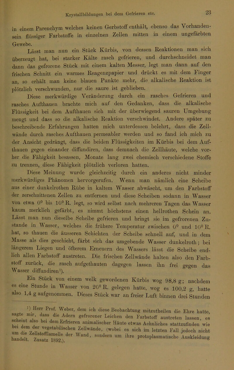 in einem Parenchym welches keinen Gerbstoff enthält, ebenso das Vorhanden- sein flüssiger Farbstoffe in einzelnen Zellen mitten in einem ungefärbten Gewebe. Lässt man nun ein Stück Kürbis, von dessen Reaktionen man sich überzeugt hat, bei starker Kälte rasch gefrieren, und durchschneidet man dann das gefrorene Stück mit einem kalten Messer, legt man dann auf den frischen Schnitt ein warmes Reagenzpapier und drückt es mit dem Finger an, so erhält man keine blauen Punkte mehr, die alkalische Reaktion ist plötzlich verschwunden, nur die saure ist geblieben. Diese merkwürdige Veränderung durch ein rasches Gefrieren und rasches Aufthauen brachte mich auf den Gedanken, dass die alkalische Flüssigkeit bei dem Aufthauen sich mit der überwiegend sauren Umgebung mengt und dass so die alkalische Reaktion verschwindet. Andere später zu beschreibende Erfahrungen hatten mich unterdessen belehrt, dass die Zell- wände durch rasches Aufthauen permeabler werden und so fand ich mich zu der Ansicht gedrängt, dass die beiden Flüssigkeiten im Kürbis bei dem Auf- thauen gegen einander diffundiren, dass demnach die Zellhäute, welche vor- her die Fähigkeit besassen, Monate lang zwei chemisch verschiedene Stoffe zu trennen, diese Fähigkeit plötzlich verloren hatten. Diese Meinung wurde gleichzeitig durch ein anderes nicht minder merkwürdiges Phänomen hervorgerufen. Wenn man nämlich eine Scheibe aus einer dunkelrothen Rübe in kaltem Wasser ab wäscht, um den Farbstoff der zerschnittenen Zellen zu entfernen und diese Scheiben sodann in Wasser von etwa 0° bis 10° R. legt, so wird selbst nach mehreren Tagen das Wasser kaum merklich gefärbt, es nimmt höchstens einen hellrothen Schein an. Lässt man nun dieselbe Scheibe gefrieren und bringt sie im gefrorenen Zu- stande in Wasser, welches die frühere Temperatur zwischen 0° und 10° R. hat, so thauen die äusseren Schichten der Scheibe schnell auf, und in dem Masse als dies geschieht, färbt sich das umgebende Wasser dunkelroth; bei längerem Liegen und öfterem Erneuern des Wassers lässt die Scheibe end- lich allen Farbstoff austreten. Die frischen Zellwände halten also den Farb- stoff zurück, die rasch aufgethauten dagegen lassen ihn frei gegen das Wasser diffundiren1). Ein Stück von einem welk gewordenen Kürbis wog 98,8 g; nachdem es eine Stunde in Wasser von 20° R. gelegen hatte, wog es 100,2 g, hatte also 1,4 g aufgenommen. Dieses Stück war an freier Luft binnen drei Stunden ) Herr Prof. Weber, dem ich diese Beobachtung mitzutkeilen die Ehre hatte, sagte mir, dass die Adern gefrorener Leichen den Farbstoff austreten lassen, es scheint also bei dem Erfrieren animalischer Häute etwas Aehnliches stattzufinden wie um diTy £!r v^etablllschen Zellwände, (wobei es sich im letzten Fall jedoch nicht haLt. Z»t“, ' ’ S0'er “ ihr° -Auskleidung 1