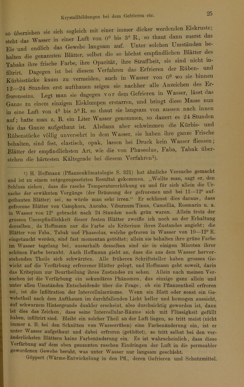 Krystallbildungen bei dem Gefrieren etc. so überziehen sie sich sogleich mit einer immer dicker werdenden Eiskruste, steht das Wasser in einer Luft von 0« bis 3° R, so thaut dann zuerst das Eis und endlich das Gewebe langsam auf. Unter solchen Umstanden je- halten die genannten Blätter, selbst die so höchst empfindlichen Blätter des Tabaks ihre frische Farbe, ihre Opacität, ihre Straffheit, sie sind nicht in- fjtrirt Dagegen ist bei diesem Verfahren das Erfrieren der Rüben- unc Kürbi'sstücke kaum zu vermeiden, auch in Wasser von 0° wo sie binnen 12—24 Stunden erst aufthauen zeigen sie nachher alle Anzeichen des Er- frorenseins. Legt man sie dagegen vor dem Gefrieren in Wasser, lasst das Ganze zu einem einzigen Eisklumpen erstarren, und bringt diese Masse nun in eine Luft von 4° bis 5° R. so thaut sie langsam von aussen nach innen auf; hatte man z. B. ein Liter Wasser genommen, so dauert es 24 Stunden bis das Ganze aufgethaut ist. Alsdann aber schwimmen die Kürbis- und Bübenstücke völlig unversehrt in dem Wasser, sie haben ihre ganze Fiische behalten, sind fest, elastisch, opak, lassen bei Druck kein W asser fliessen; Blätter der empfindlichsten Art, wie die von Phaseolus, Faba, Tabak über- stehen die härtesten Kältegrade bei diesem Verfahren1). i) H. Hoffmann (Pflanzenklimatologie S. 321) hat ähnliche Versuche gemacht und ist zu einem entgegengesetzten Resultat gekommen. „Wollte man, sagt er, den Schluss ziehen, dass die rasche Temperaturerhöhung an und für sich allein die Ur- sache der erwähnten Vorgänge (der Bräunung der gefrorenen und bei 11 -12° aut- gethauten Blätter) sei, so würde man sehr irren.“ Er schliesst dies daraus, dass gefrorene Blätter von Camphora, Aucuba, Viburnum Tinus, Camellia, Rosmarin u. a. in Wasser von 12° gebracht nach 24 Stunden noch grün waren. Allein trotz der grossen Unempfindlichkeit dieser festen Blätter zweifle ich noch an der Erhaltung derselben, da Hoffmann nur die Farbe als Kriterium ihres Zustandes angiebt; die Blätter von Faba, Tabak und Phaseolus, welche gefroren in Wasser von 10—12° R. eingetaucht werden, sind fast momentan getödtet; allein sie behalten ihre grüne Farbe im Wasser tagelang bei, ausserhalb desselben sind sie in einigen Miuuten ihrer schönen Farbe beraubt. Auch Hoffmann giebt an, dass die aus dem Wasser hervor- stehenden Theile sich schwärzten. Alle früheren Schriftsteller haben grosses Ge- wicht auf die Verfärbung erfrorener Blätter gelegt, und Hoffmann geht soweit, darin das Kriterium zur Beurtheilung ihres Zustandes zu sehen. Allein nach meinen Ver- suchen ist die Verfärbung ein sekundäres Phänomen, das einzige ganz allein und unter allen Umständen Entscheidende über die Frage, ob ein Pflanzentheil erfroren sei, ist die Infiltration der Intercellularräume. Wenn ein Blatt oder sonst ein Ge- webetheil nach dem Aufthauen im durchfallenden Licht heller und homogen aussieht, auf schwarzem Hintergründe dunkler erscheint, also durchsichtig geworden ist, dann ist dies das Zeichen, dass seine Intercellular-Räume sich mit Flüssigkeit gefüllt haben, infiltrirt sind. Bleibt ein solcher Theil an der Luft liegen, so tritt meist (nicht immer z. B. bei den Schnitten von Wasserrüben) eine Farbenänderung ein, ist er unter Wasser aufgethaut und dabei erfroren (getödtet), so tritt selbst bei den ver- änderlichsten Blättern keine Farbenänderung ein. Es ist wahrscheinlich, dass diese Verfärbung auf dem oben genannten raschen Eindringen der Luft in die permeabler gewordenen Gewebe beruht, was unter Wasser nur langsam geschieht. Göppert (Wärme-Entwickelung in den Pfl., deren Gefrieren und Schutzmittel.