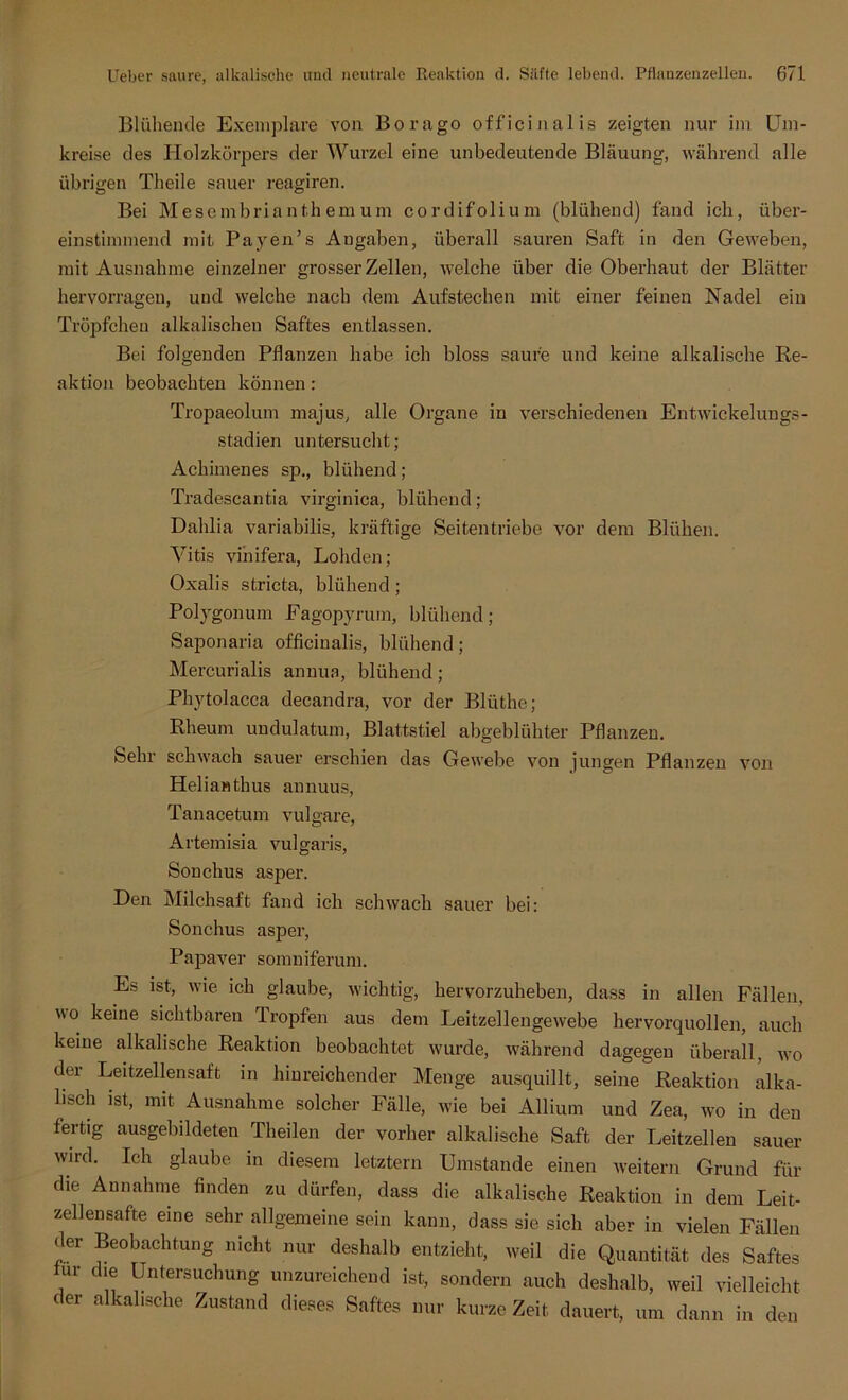 Blühende Exemplare von Borago officinalis zeigten nur im Um- kreise des Holzkörpers der Wurzel eine unbedeutende Bläuung, während alle übrigen Theile sauer reagiren. Bei Mesembria nth em um cordifolium (blühend) fand ich, über- einstimmend mit Payen’s Angaben, überall sauren Saft in den Geweben, mit Ausnahme einzelner grosser Zellen, welche über die Oberhaut der Blätter hervorragen, und welche nach dem Aufstechen mit einer feinen Nadel ein Tröpfchen alkalischen Saftes entlassen. Bei folgenden Pflanzen habe ich bloss saufe und keine alkalische Re- aktion beobachten können: Tropaeolum majus, alle Organe in verschiedenen Entwickelungs- stadien untersucht; Achimenes sp., blühend; Tradescantia virginica, blühend; Daldia variabilis, kräftige Seitentriebe vor dem Blühen. Vitis vihifera, Lohden; Oxalis stricta, blühend ; Polygonum Fagopyrum, blühend; Saponaria officinalis, blühend; Mercurialis annua, blühend; Phytolacca decandra, vor der Blüthe; Rheum undulatum, Blattstiel abgeblühter Pflanzen. Sehr schwach sauer erschien das Gewebe von jungen Pflanzen von Helianthus annuus, Tanacetum vulgare, Artemisia vulgaris, Sonchus asper. Den Milchsaft fand ich schwach sauer bei: Sonchus asper, Papaver somniferum. Es ist, wie ich glaube, wichtig, hervorzuheben, dass in allen Fällen, o keine sichtbaren Tropfen aus dem Leitzellengewebe hervorquollen, auch keine alkalische Reaktion beobachtet wurde, während dagegen überall, wo der Leitzellensaft in hinreichender Menge ausquillt, seine Reaktion alka- lisch ist, mit Ausnahme solcher Fälle, wie bei Allium und Zea, wo in den fertig ausgebildeten Theilen der vorher alkalische Saft der Leitzellen sauer wird. Ich glaube in diesem letztem Umstande einen weitern Grund für die Annahme finden zu dürfen, dass die alkalische Reaktion in dem Leit- zellensafte eine sehr allgemeine sein kann, dass sie sich aber in vielen Fällen der Beobachtung nicht nur deshalb entzieht, weil die Quantität des Saftes für die Untersuchung unzureichend ist, sondern auch deshalb, weil vielleicht der alkalische Zustand dieses Saftes nur kurze Zeit dauert, um dann in den