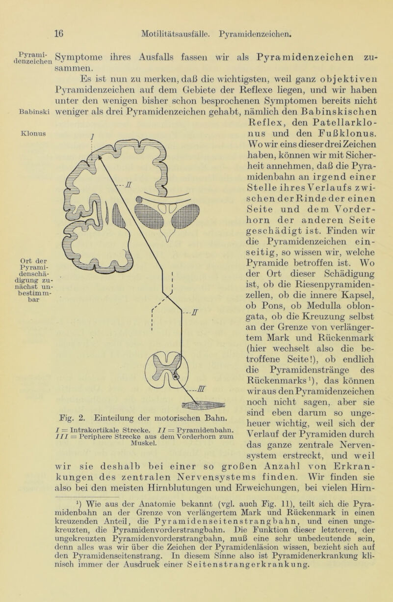Pyrami- denzeicheu Babinski Klonus Ort der Pyrami- denschä- digung zu- nächst un- bestimm- bar Symptome ihres Ausfalls fassen wir als Pyramidenzeichen zu- sammen. Es ist nun zu merken, daß die wichtigsten, weil ganz objektiven Pyramidenzeichen auf dem Gebiete der Reflexe liegen, und wir haben unter den wenigen bisher schon besprochenen Symptomen bereits nicht weniger als drei Pyramidenzeichen gehabt, nämlich den Babinskischen Reflex, den Patellarklo- nus und den Fußklonus. Wo wir eins dieser drei Zeichen haben, können wir mit Sicher- heit annehmen, daß die Pyra- midenbahn an irgend einer Stelle ihres Verlaufs zwi- schen derRin de der einen Seite und dem Vorder- horn der anderen Seite geschädigt ist. Finden wir die Pyramidenzeichen ein- seitig, so wissen wir, welche Pyramide betroffen ist. Wo der Ort dieser Schädigung ist, ob die Riesenpyramiden- zellen, ob die innere Kapsel, ob Pons, ob Medulla oblon- gata, ob die Kreuzung selbst an der Grenze von verlänger- tem Mark und Rückenmark (hier wechselt also die be- troffene Seite!), ob endlich die Pyramidenstränge des Rückenmarks1), das können wir aus den Pyramidenzeichen noch nicht sagen, aber sie sind eben darum so unge- heuer wichtig, weil sich der Verlauf der Pyramiden durch das ganze zentrale Nerven- system erstreckt, und wreil wir sie deshalb bei einer so großen Anzahl von Erkran- kungen des zentralen Nervensystems finden. Wir finden sie also bei den meisten Hirnblutungen und Erweichungen, bei vielen Hirn- / = Intrakortikale Strecke. II — Pyramidenbahn. III = Periphere Strecke aus dem Vorderhorn zum Muskel. l) Wie aus der Anatomie bekannt (vgl. auch Fig. 11), teilt sich die Pyra- midenbahn an der Grenze von verlängertem Mark und Rückenmark in einen kreuzenden Anteil, die Pyramiden seitenstrangbahn, und einen unge- kreuzten, die Pyramidenvorderstrangbahn. Die Funktion dieser letzteren, der ungekreuzten Pyramidenvorderstrangbahn, muß eine sehr unbedeutende sein, denn alles was wir über die Zeichen der Pyramidenläsion wissen, bezieht sich auf den Pyramidenseitenstrang. In diesem Sinne also ist Pyramidenerkrankung kli- nisch immer der Ausdruck einer Seitenstrangerkrankung.