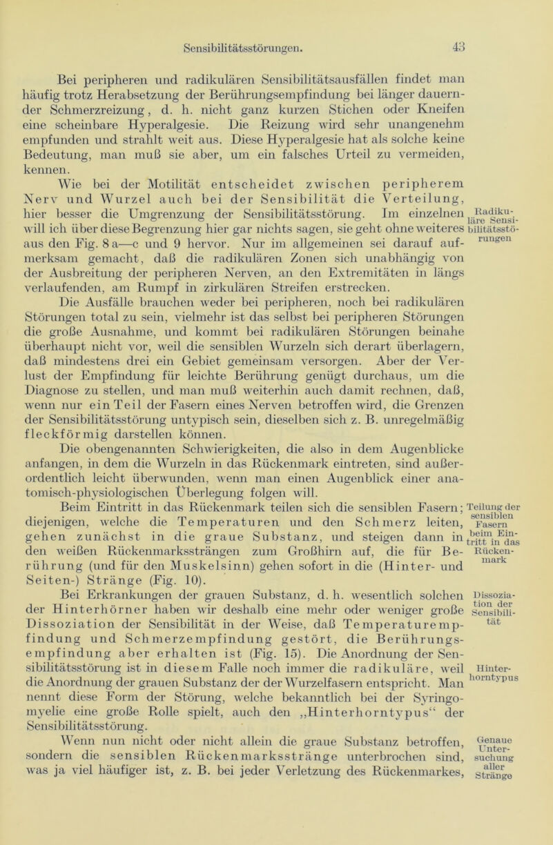 Bei peripheren und radikulären Sensibilitätsausfällen findet man häufig trotz Herabsetzung der Berührungsempfindung bei länger dauern- der Schmerzreizung, d. h. nicht ganz kurzen Stichen oder Kneifen eine scheinbare Hyperalgesie. Die Reizung wird sehr unangenehm empfunden und strahlt weit aus. Diese Hyperalgesie hat als solche keine Bedeutung, man muß sie aber, um ein falsches Urteil zu vermeiden, kennen. Wie bei der Motilität entscheidet zwischen peripherem Nerv und Wurzel auch bei der Sensibilität die Verteilung, hier besser die Umgrenzung der Sensibilitätsstörung. Im einzelnen will ich über diese Begrenzung hier gar nichts sagen, sie geht ohne weiteres biiitätsstö- aus den Fig. 8 a—c und 9 hervor. Nur im allgemeinen sei darauf auf- Iungen merksam gemacht, daß die radikulären Zonen sich unabhängig von der Ausbreitung der peripheren Nerven, an den Extremitäten in längs verlaufenden, am Rumpf in zirkulären Streifen erstrecken. Die Ausfälle brauchen weder bei peripheren, noch bei radikulären Störungen total zu sein, vielmehr ist das selbst bei peripheren Störungen die große Ausnahme, und kommt bei radikulären Störungen beinahe überhaupt nicht vor, weil die sensiblen Wurzeln sich derart überlagern, daß mindestens drei ein Gebiet gemeinsam versorgen. Aber der Ver- lust der Empfindung für leichte Berührung genügt durchaus, um die Diagnose zu stellen, und man muß weiterhin auch damit rechnen, daß, wenn nur ein Teil der Fasern eines Nerven betroffen wird, die Grenzen der Sensibilitätsstörung untypisch sein, dieselben sich z. B. unregelmäßig fleckförmig darstellen können. Die obengenannten Schwierigkeiten, die also in dem Augenblicke anfangen, in dem die Wurzeln in das Rückenmark eintreten, sind außer- ordentlich leicht überwunden, wenn man einen Augenblick einer ana- tomisch-physiologischen Überlegung folgen will. Beim Eintritt in das Rückenmark teilen sich die sensiblen Fasern; Teilung der diejenigen, welche die Temperaturen und den Schmerz leiten, * Fasern gehen zunächst in die graue Substanz, und steigen dann intrftfch?das den weißen Rückenmarkssträngen zum Großhirn auf, die für Be- Rücken- rührung (und für den Muskelsinn) gehen sofort in die (Hinter- und nai Seiten-) Stränge (Fig. 10). Bei Erkrankungen der grauen Substanz, d. h. wesentlich solchen pissozia- der Hinterhörner haben wir deshalb eine mehr oder weniger große sensibfii- Dissoziation der Sensibilität in der Weise, daß Temperaturemp- tät findung und Schmerzempfindung gestört, die Berührungs- empfindung aber erhalten ist (Fig. 15). Die Anordnung der Sen- sibilitätsstörung ist in diesem Falle noch immer die radikuläre, weil Hinter- die Anordnung der grauen Substanz der der Wurzelfasern entspricht. Man 1,01 nt>pus nennt diese Form der Störung, welche bekanntlich bei der Syringo- myelie eine große Rolle spielt, auch den ,,Hinterhorntypus“ der Sensibilitätsstörung. Wenn nun nicht oder nicht allein die graue Substanz betroffen, c{®unt^e sondern die sensiblen Rückenmarksstränge unterbrochen sind, suchung was ja viel häufiger ist, z. B. bei jeder Verletzung des Rückenmarkes, stränge