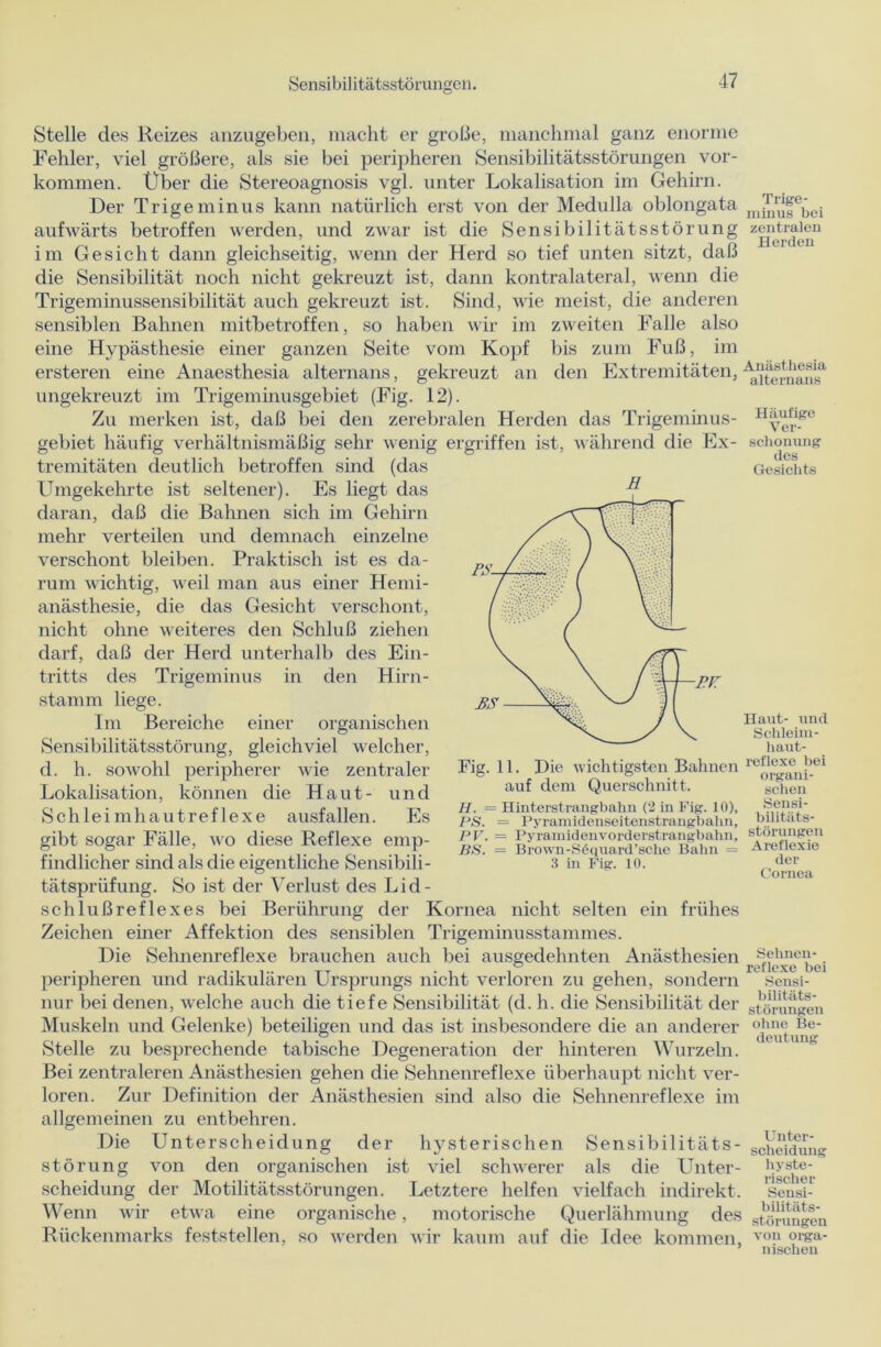 Stelle des Reizes anzugeben, macht er große, manchmal ganz enorme Fehler, viel größere, als sie bei peripheren Sensibilitätsstörungen Vor- kommen. Über die Stereoagnosis vgl. unter Lokalisation im Gehirn. Der Trigeminus kann natürlich erst von der Medulla oblongata lllii11“felK;i aufwärts betroffen werden, und zwar ist die Sensibilitätsstörung zwUraJeu im Gesicht dann gleichseitig, wenn der Herd so tief unten sitzt, daß die Sensibilität noch nicht gekreuzt ist, dann kontralateral, wenn die Trigeminussensibilität auch gekreuzt ist. Sind, wie meist, die anderen sensiblen Bahnen mitbetroffen, so haben wir im zweiten Falle also eine Hypästhesie einer ganzen Seite vom Kopf bis zum Fuß, im ersteren eine Anaesthesia alternans, gekreuzt an den Extremitäten, ungekreuzt im Trigeminusgebiet (Fig. 12). Zu merken ist, daß bei den zerebralen Herden das Trigeminus- II,^fIlgc gebiet häufig verhältnismäßig sehr wenig ergriffen ist, während die Ex- Schonung tremitäten deutlich betroffen sind (das Umgekehrte ist seltener). Es liegt das daran, daß die Bahnen sich im Gehirn mehr verteilen und demnach einzelne verschont bleiben. Praktisch ist es da- rum wichtig, weil man aus einer Hemi- anästhesie, die das Gesicht verschont, nicht ohne weiteres den Schluß ziehen darf, daß der Herd unterhalb des Ein- tritts des Trigeminus in den Hirn- stamm liege. Im Bereiche einer organischen Sensibilitätsstörung, gleichviel welcher, d. h. sowohl peripherer wie zentraler Lokalisation, können die Haut- und Schleimhautreflexe ausfallen. Es gibt sogar Fälle, wo diese Reflexe emp- findlicher sind als die eigentliche Sensibili- tätsprüfung. So ist der Verlust des Lid- schlußreflexes bei Berührung der Kornea nicht selten ein frühes Zeichen einer Affektion des sensiblen Trigeminusstammes. Die Sehnenreflexe brauchen auch bei ausgedehnten Anästhesien ^eh^nen-^ peripheren und radikulären Ursprungs nicht verloren zu gehen, sondern ^ Sensi- nur bei denen, welche auch die tiefe Sensibilität (d. h. die Sensibilität der s^nmgeii Muskeln und Gelenke) beteiligen und das ist insbesondere die an anderer ohm; Be_ ' den tun0* Stelle zu besprechende tabische Degeneration der hinteren Wurzeln. Bei zentraleren Anästhesien gehen die Sehnenreflexe überhaupt nicht ver- loren. Zur Definition der Anästhesien sind also die Sehnenreflexe im allgemeinen zu entbehren. Die Unterscheidung der hysterischen Sensibilitäts- SChe\dung Störung von den organischen ist viel schwerer als die Unter- 'p-ste- Scheidung der Motilitätsstörungen. Letztere helfen vielfach indirekt, s'eusi- Wenn wir etwa eine organische, motorische Querlähmung des Sprüngen Rückenmarks feststellen, so werden wir kaum auf die Idee kommen, von 0I«a- ’ nischen E UUS Gesichts auf dem Querschnitt. II. = Hinterstrangbahn (2 in Fig. 10), PS. = Pyramidenseitenstrangbahn, PV. = Pyramidenvorderstrangbahn, BS. = Brown-Söquard’sche Bahn = 3 in Fig. 10. Haut- und Schleim- haut- reflexe hei organi- schen Sensi- bilitäts- störungen Areflexie der Cornea