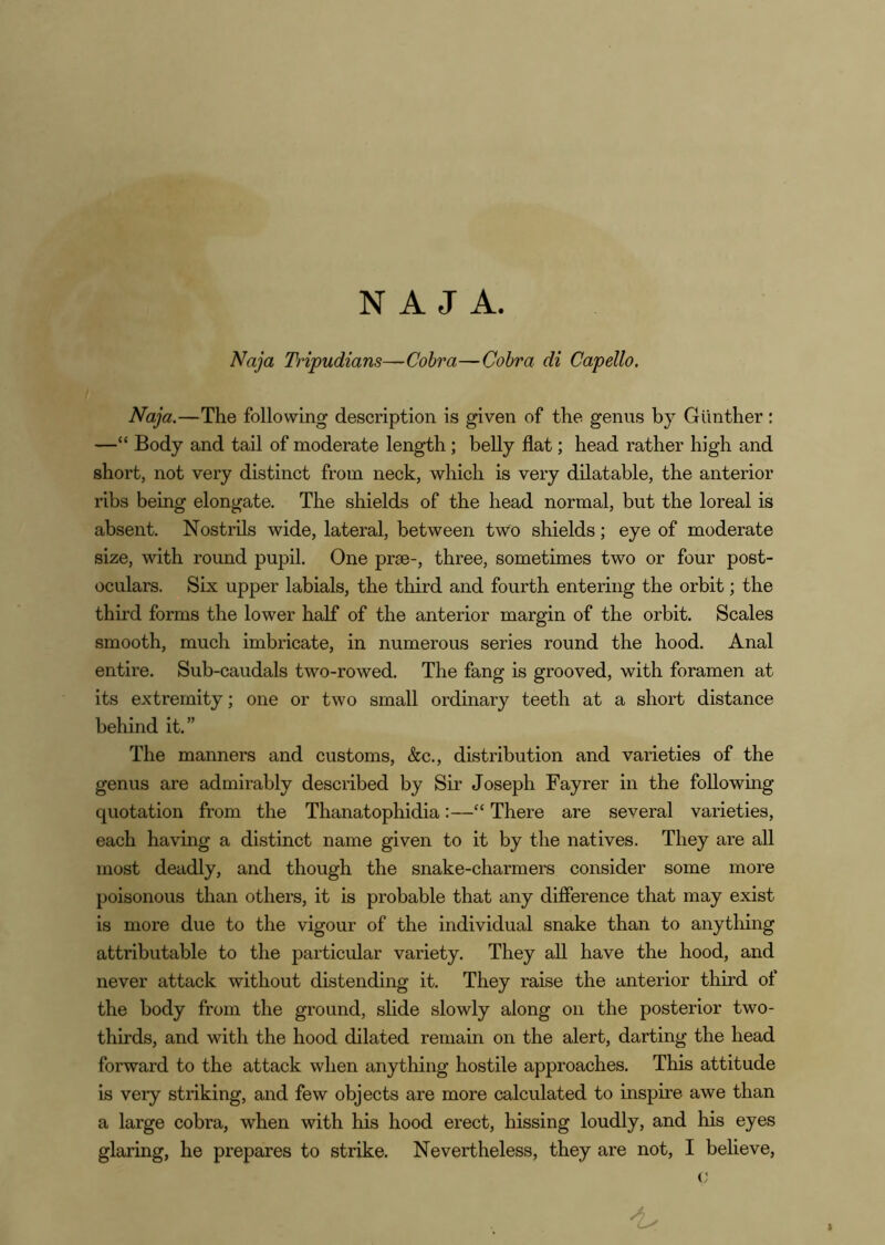 Naja Tripudians—Cohra—Cobra di Capello. Naja.—The following description is given of the genus by Gunther : —“ Body and tail of moderate length; belly flat; head rather high and short, not very distinct from neck, which is very dilatable, the anterior ribs being elongate. The shields of the head normal, but the loreal is absent. Nostrils wide, lateral, between two shields; eye of moderate size, with round pupil. One prse-, three, sometimes two or four post- oculars. Six upper labials, the third and fourth entering the orbit; the third forms the lower half of the anterior margin of the orbit. Scales smooth, much imbricate, in numerous series round the hood. Anal entire. Sub-caudals two-rowed. The fang is grooved, with foramen at its extremity; one or two small ordinary teeth at a short distance behind it.” The manners and customs, &c., distribution and varieties of the genus are admirably described by Sir Joseph Fayrer in the following quotation from the Thanatophidia:—“ There are several varieties, each having a distinct name given to it by the natives. They are all most deadly, and though the snake-charmers consider some more poisonous than others, it is probable that any difference that may exist is more due to the vigour of the individual snake than to anytliing attributable to the particular variety. They all have the hood, and never attack without distending it. They raise the anterior third of the body from the ground, shde slowly along on the posterior two- thirds, and with the hood dilated remain on the alert, darting the head forward to the attack when anything hostile approaches. This attitude is very striking, and few objects are more calculated to inspire awe than a large cobra, when with his hood erect, hissing loudly, and his eyes glaring, he prepares to strike. Nevertheless, they are not, I believe, c