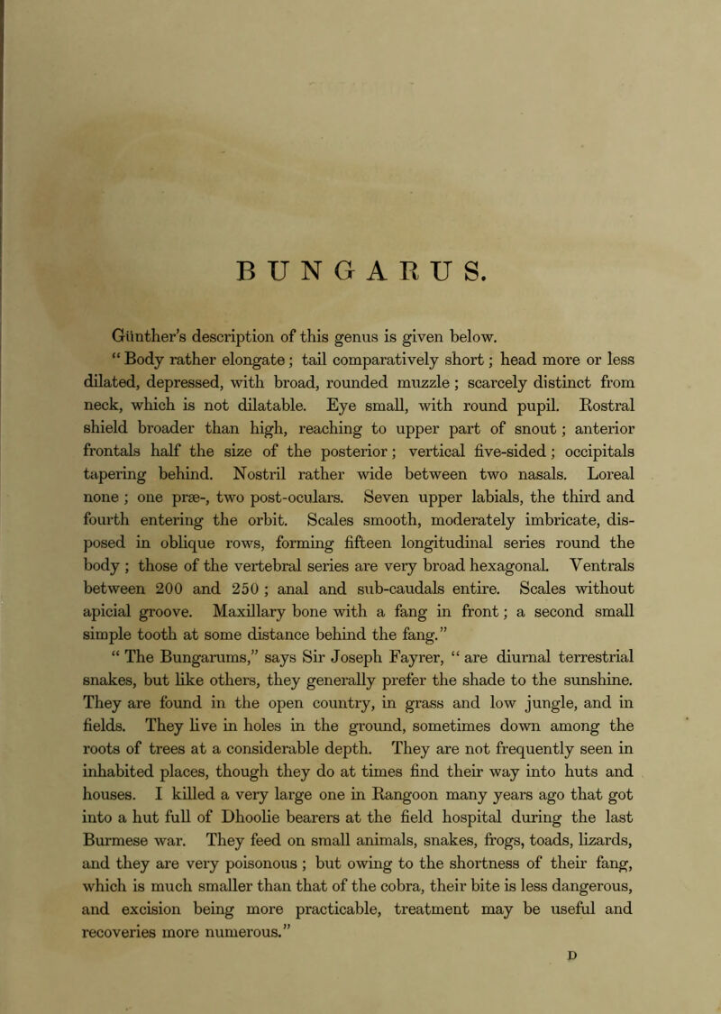 B U N Ct A R U S. Gunther’s description of this genus is given below. “ Body rather elongate; tail comparatively short; head more or less dilated, depressed, with broad, rounded muzzle ; scarcely distinct from neck, which is not dilatable. Eye small, with round pupil. Rostral shield broader than high, reaching to upper part of snout; anterior frontals half the size of the posterior; vertical five-sided; occipitals tapering behind. Nostril rather wide between two nasals. Loreal none ; one prae-, two post-oculars. Seven upper labials, the third and fourth entering the orbit. Scales smooth, moderately imbricate, dis- posed in oblique rov’^s, forming fifteen longitudinal series round the body ; those of the vertebral series are very broad hexagonal. Ventrals between 200 and 250 ; anal and siib-caudals entire. Scales without apicial groove. Maxillary bone with a fang in front; a second small simple tooth at some distance behind the fang.” “ The Bungarums,” says Sir Joseph Fayrer, “ are diurnal terrestrial snakes, but like others, they generally prefer the shade to the sunshine. They are found in the open country, in grass and low jungle, and in fields. They live in holes in the ground, sometimes down among the roots of trees at a considerable depth. They are not frequently seen in inhabited places, though they do at times find their way into huts and houses. I killed a very large one in Rangoon many years ago that got into a hut full of Dhoolie bearers at the field hospital during the last Burmese war. They feed on small animals, snakes, frogs, toads, lizards, and they are very poisonous ; but owing to the shortness of their fang, which is much smaller than that of the cobra, their bite is less dangerous, and excision being more practicable, treatment may be useful and recoveries more numerous.” D