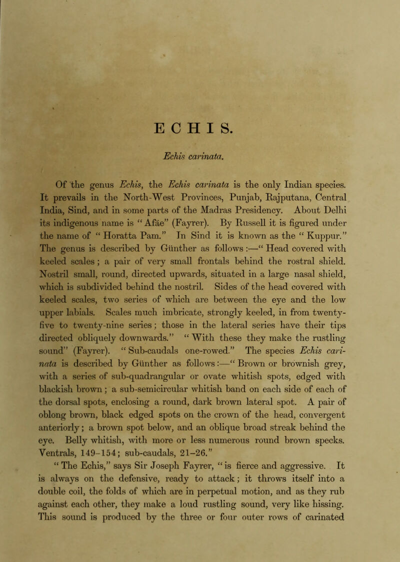 E C H I S. Echis carinata. Of the genus Echis, the Echis carinata is the only Indian species. It prevails in the North-West Provinces, Punjab, Rajputana, Central India, Sind, and in some parts of the Madras Presidency. About Delhi its indigenous name is “ Afae” (Fayrer). By Bussell it is figured under the name of “ Horatta Pam.” In Sind it is known as the “ Kuppur.” The genus is described by Gunther as follows :—“ Head covered with keeled scales; a pair of very small frontals behind the rostral shield. Nostril small, round, directed upwards, situated in a large nasal shield, which is subdivided behind the nostril. Sides of the head covered with keeled scales, two series of which are between the eye and the low upper labials. Scales much imbricate, strongly keeled, in from twenty- five to twenty-nine series; those in the lateral series have their tips directed obliquely downwards.” “ With these they make the rustling sound” (Fayrer). “ Sub-caudals one-rowed.” The species Echis cari- nata is described by Gunther as follows:—“ Brown or brownish grey, with a series of sub-quadrangular or ovate whitish spots, edged with blackish brown; a sub-semicircular whitish band on each side of each of the dorsal spots, enclosing a round, dark brown lateral spot. A pair of oblong brown, black edged spots on the crown of the head, convergent anteriorly; a brown spot below, and an oblique broad streak behind the eye. Belly whitish, with more or less numerous round brown specks. Ventrals, 149-154; sub-caudals, 21-26.” “ The Echis,” says Sir Joseph Fa}rrer, “is fierce and aggressive. It is always on the defensive, ready to attack; it throws itself into a double coil, the folds of which are in perpetual motion, and as they rub against each other, they make a loud rustling sound, very like hissing. This sound is produced by the three or four outer rows of carinated