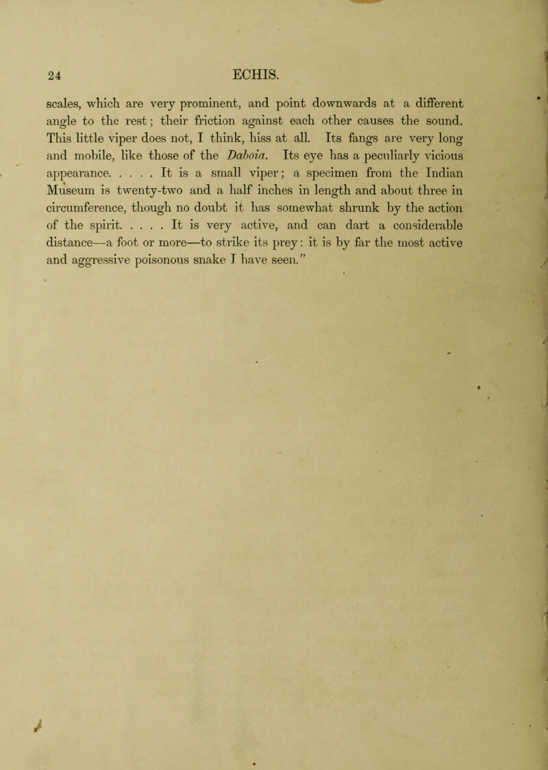 24 ECHIS. scales, which are very prominent, and point downwards at a different angle to the rest; their friction against each other causes the sound. This little viper does not, I think, hiss at all. Its fangs are very long and mobile, like those of the Bahoia. Its eye has a peculiarly vicious appearance It is a small viper; a specimen from the Indian Museum is twenty-two and a half inches in length and about three in circumference, though no doubt it has somewhat shrunk by the action of the spirit It is very active, and can dart a considerable distance—a foot or more—to strike its prey: it is by far the most active