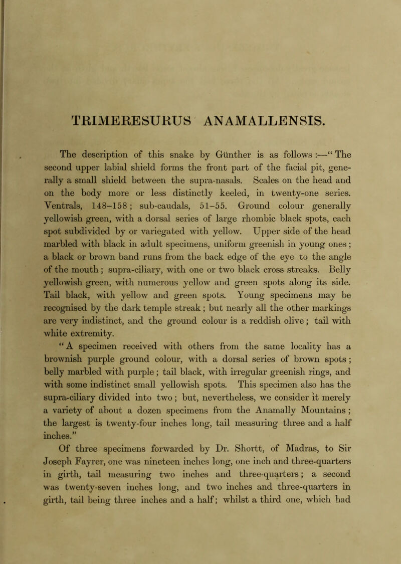TRIMERESURUS ANAMALLENSIS. The description of this snake by Gunther is as follows :—“ The second upper labial shield forms the front part of the facial pit, gene- rally a small shield between the supra-nasals. Scales on the head and on the body more or less distinctly keeled, in twenty-one series, Ventrals, 148-158; sub-caudals, 51-55. Ground colour generally yellowish green, with a doi'sal series of large rhombic black spots, each spot subdivided by or variegated with yellow. Upper side of the head marbled with black in adult specimens, uniform greenish in young ones; a black or brown band runs from the back edge of the eye to the angle of the mouth; supra-ciliary, with one or two black cross streaks. Belly yellowish green, with numerous yellow and green spots along its side. Tail black, with yellow and green spots. Young specimens may be recognised by the dark temple streak; but nearly all the other markings are very indistinct, and the ground coloui- is a reddish olive; tail with white extremity. “A specimen received with others from the same locality has a brownish purple ground colour, with a dorsal series of brown spots; belly marbled with purple; tail black, with iiTegular greenish rings, and with some indistinct small yellowish spots. This specimen also has the supra-ciliary divided into two; but, nevertheless, we consider it merely a variety of about a dozen specimens from the Anamally Mountains; the largest is twenty-four inches long, tail measuring three and a half inches.” Of three specimens forwarded by Dr. Shortt, of Madras, to Sir Joseph Fayrer, one was nineteen inches long, one inch and three-quarters in girth, taU measuring two inches and three-quarters; a second was twenty-seven inches long, and two inches and three-quarters in girth, tail being three inches and a half; whilst a third one, which had
