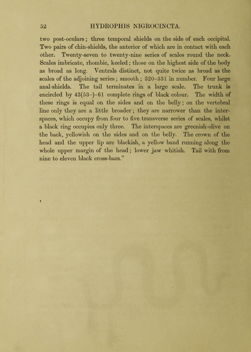 two post-oculars; three temporal shields on the side of each occipital. Two pairs of chin-shields, the anterior of which are in contact with each other. Twenty-seven to twenty-nine series of scales round the neck. Scales imbricate, rhombic, keeled; those on the highest side of the body as broad as long. Ventrals distinct, not quite twice as broad as the scales of the adjoining series; smooth ; 320-331 m number. Four large anal-shields. The tail terminates in a large scale. The trunk is encircled by 43(53-)-61 complete rings of black colour. The width of these rings is equal on the sides and on the belly; on the vertebral line only they are a little broader; they are narrower than the inter- spaces, which occupy from four to five transverse series of scales, whilst a black ring occupies only three. The interspaces are greenish-olive on the back, yellowish on the sides and on the belly. The crown of the head and the upper lip are blackish, a yellow band running along the whole upper margin of the head; lower jaw whitish. Tail with from nine to eleven black cross-bars.”