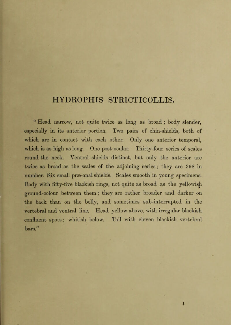 HYDROPHLS STRICTICOLLIS. “ Head narrow, not quite twice as long as broad ; body slender, especially in its anterior portion. Two pairs of chin-shields, both of which are in contact with each other. Only one anterior temporal, which is as high as long. One post-ocular. Thirty-four series of scales round the neck. Ventral shields distinct, but only the anterior are twice as broad as the scales of the adjoining series; they are 398 in number. Six small prm-anal shields. Scales smooth in young specimens. Body with fifty-five blackish rings, not quite as broad as the yellowish ground-colour between them; they are rather broader and darker on the back than on the belly, and sometimes sub-interrupted in the vertebral and ventral line. Head yellow above, with irregular blackish confluent spots; whitish below. Tail with eleven blackish vertebral bars.” I