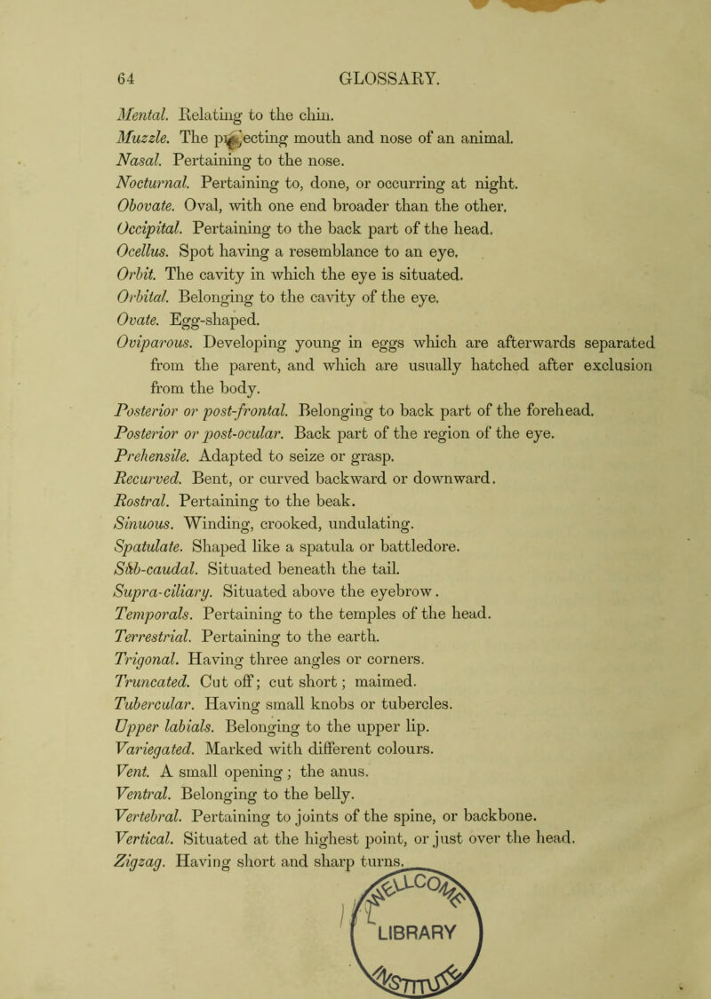 Mental Relating to the chin. Muzzle. The p^jecting mouth and nose of an animal. Nasal. Pertaining to the nose. Nocturnal. Pertaining to, done, or occurring at night. Obovate. Oval, with one end broader than the other. Occipital. Pertaining to the back part of the head. Ocellus. Spot having a resemblance to an eye. Orbit. The cavity in which the eye is situated. Orbital. Belonging to the cavity of the eye. Ovate. Egg-shaped. Oviparous. Developing young in eggs which are afterwards separated from the parent, and which are usually hatched after exclusion from the body. Posterior or post-frontal. Belonging to back part of the forehead. Posterior or post-ocular. Back part of the region of the eye. Prehensile. Adapted to seize or grasp. Recurved. Bent, or curved backward or downward. Rostral. Pertaining to the beak. Sinuous. Winding, crooked, undulating. Spatulate. Shaped like a spatula or battledore. Shb-caudal. Situated beneath the tail. Supra-ciliary. Situated above the eyebrow. Temporals. Pertaining to the temples of the head. Terrestrial. Pertaining to the earth. Trigonal. Having three angles or corners. Truncated. Cutoff; cut short; maimed. Tubercular. Having small knobs or tubercles. Upper labials. Belonging to the upper lip. Variegated. Marked with different colours. Vent. A small opening ; the anus. Ventral. Belonging to the belly. Vertebral. Pertaining to joints of the spine, or backbone. Vertical. Situated at the highest point, or just over the head. Zigzag. Having short and sharp turn^ LIBRARY