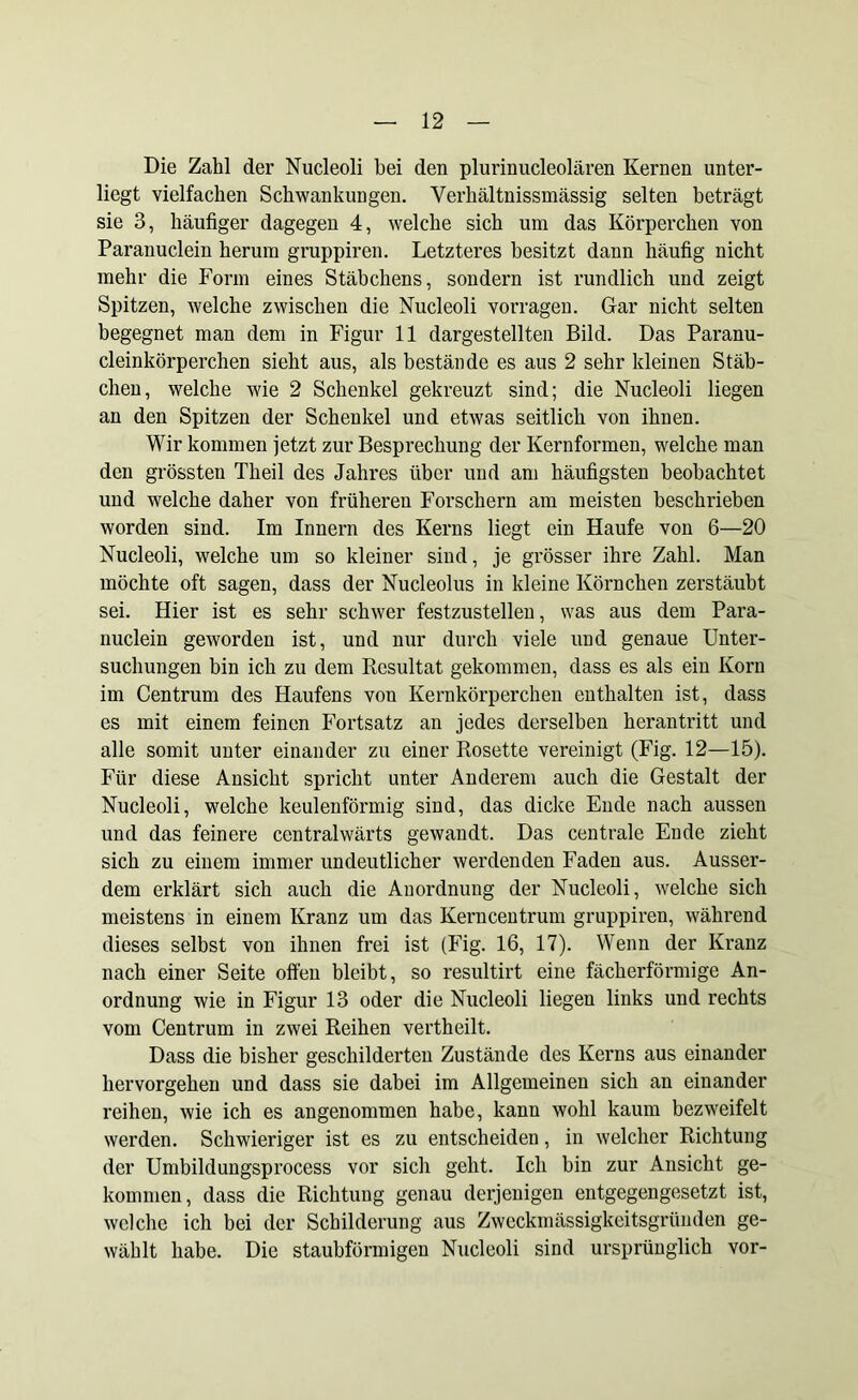Die Zahl der Nucleoli bei den plurinucleolären Kernen unter- liegt vielfachen Schwankungen. Verhältnissmässig selten beträgt sie 3, häufiger dagegen 4, welche sich um das Körperchen von Paranuclein herum gruppiren. Letzteres besitzt dann häufig nicht mehr die Form eines Stäbchens, sondern ist rundlich und zeigt Spitzen, welche zwischen die Nucleoli vorragen. Gar nicht selten begegnet man dem in Figur 11 dargestellten Bild. Das Paranu- cleinkörperchen sieht aus, als bestände es aus 2 sehr kleinen Stäb- chen, welche wie 2 Schenkel gekreuzt sind; die Nucleoli liegen an den Spitzen der Schenkel und etwas seitlich von ihnen. Wir kommen jetzt zur Besprechung der Kernformen, welche man den grössten Theil des Jahres über und am häufigsten beobachtet und welche daher von früheren Forschern am meisten beschrieben worden sind. Im Innern des Kerns liegt ein Haufe von 6—20 Nucleoli, welche um so kleiner sind, je grösser ihre Zahl. Man möchte oft sagen, dass der Nucleolus in kleine Körnchen zerstäubt sei. Hier ist es sehr schwer festzustellen, was aus dem Para- nuclein geworden ist, und nur durch viele und genaue Unter- suchungen bin ich zu dem Resultat gekommen, dass es als ein Korn im Centrum des Haufens von Kernkörperchen enthalten ist, dass es mit einem feinen Fortsatz an jedes derselben herantritt und alle somit unter einander zu einer Rosette vereinigt (Fig. 12—15). Für diese Ansicht spricht unter Anderem auch die Gestalt der Nucleoli, welche keulenförmig sind, das dicke Ende nach aussen und das feinere centralwärts gewandt. Das centrale Ende zieht sich zu einem immer undeutlicher werdenden Faden aus. Ausser- dem erklärt sich auch die Anordnung der Nucleoli, welche sich meistens in einem Kranz um das Kerncentrum gruppiren, während dieses selbst von ihnen frei ist (Fig. 16, 17). Wenn der Kranz nach einer Seite offen bleibt, so resultirt eine fächerförmige An- ordnung wie in Figur 13 oder die Nucleoli liegen links und rechts vom Centrum in zwei Reihen verth eilt. Dass die bisher geschilderten Zustände des Kerns aus einander hervorgehen und dass sie dabei im Allgemeinen sich an einander reihen, wie ich es angenommen habe, kann wohl kaum bezweifelt werden. Schwieriger ist es zu entscheiden, in welcher Richtung der Umbildungsprocess vor sich geht. Ich bin zur Ansicht ge- kommen, dass die Richtung genau derjenigen entgegengesetzt ist, welche ich bei der Schilderung aus Zweckmässigkeitsgründen ge- wählt habe. Die staubförmigen Nucleoli sind ursprünglich vor-