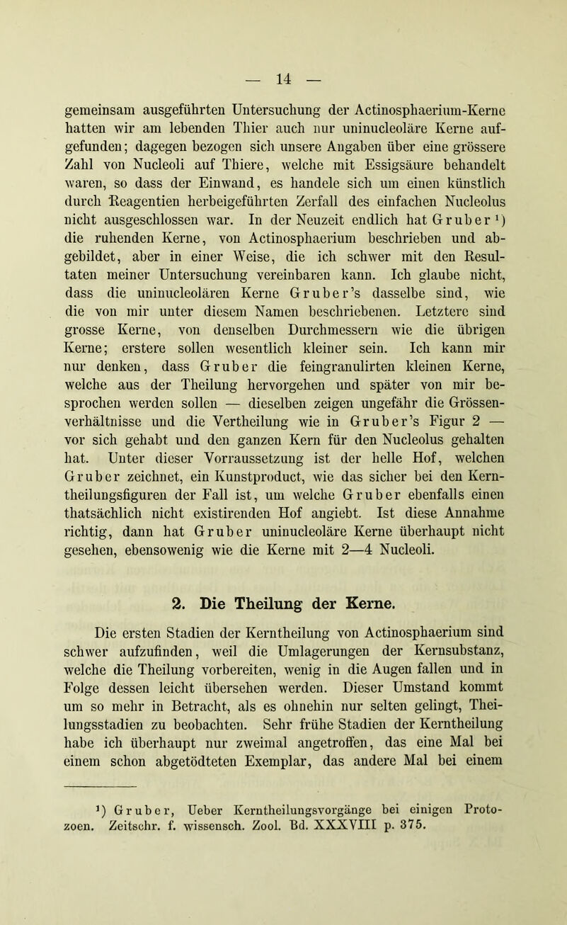 gemeinsam ausgeführten Untersuchung der Actinosphaerium-Kerne hatten wir am lebenden Thier auch nur uninucleoläre Kerne auf- gefunden ; dagegen bezogen sich unsere Angaben über eine grössere Zahl von Nucleoli auf Thiere, welche mit Essigsäure behandelt waren, so dass der Einwand, es handele sich um einen künstlich durch 'Reagentien herbeigeführten Zerfall des einfachen Nucleolus nicht ausgeschlossen war. In der Neuzeit endlich hat Gr über1) die ruhenden Kerne, von Actinosphaerium beschrieben und ab- gebildet, aber in einer Weise, die ich schwer mit den Resul- taten meiner Untersuchung vereinbaren kann. Ich glaube nicht, dass die uninucleolären Kerne Gruber’s dasselbe sind, wie die von mir unter diesem Namen beschriebenen. Letztere sind grosse Kerne, von denselben Durchmessern wie die übrigen Kerne; erstere sollen wesentlich kleiner sein. Ich kann mir nur denken, dass Grub er die feingranulirten kleinen Kerne, welche aus der Theilung hervorgehen und später von mir be- sprochen werden sollen — dieselben zeigen ungefähr die Grössen- verhältnisse und die Yertheilung wie in Grube r’s Figur 2 — vor sich gehabt und den ganzen Kern für den Nucleolus gehalten hat. Unter dieser Vorraussetzung ist der helle Hof, welchen Gr über zeichnet, ein Kunstproduct, wie das sicher bei den Kern- theilungsfiguren der Fall ist, um welche Grub er ebenfalls einen thatsächlich nicht existirenden Hof angiebt. Ist diese Annahme richtig, dann hat Gr über uninucleoläre Kerne überhaupt nicht gesehen, ebensowenig wie die Kerne mit 2—4 Nucleoli. 2. Die Theilung der Kerne. Die ersten Stadien der Kerntheilung von Actinosphaerium sind schwer aufzufinden, weil die Umlagerungen der Kernsubstanz, welche die Theilung vorbereiten, wenig in die Augen fallen und in Folge dessen leicht übersehen werden. Dieser Umstand kommt um so mehr in Betracht, als es ohnehin nur selten gelingt, Thei- lungsstadien zu beobachten. Sehr frühe Stadien der Kerntheilung habe ich überhaupt nur zweimal angetroffen, das eine Mal bei einem schon abgetödteten Exemplar, das andere Mal bei einem ]) Gr über, Ueber Kerntheiluugsvorgänge bei einigen Proto zoen. Zeitschr. f. wissensch. Zool. Bd. XXXVIII p. 375.