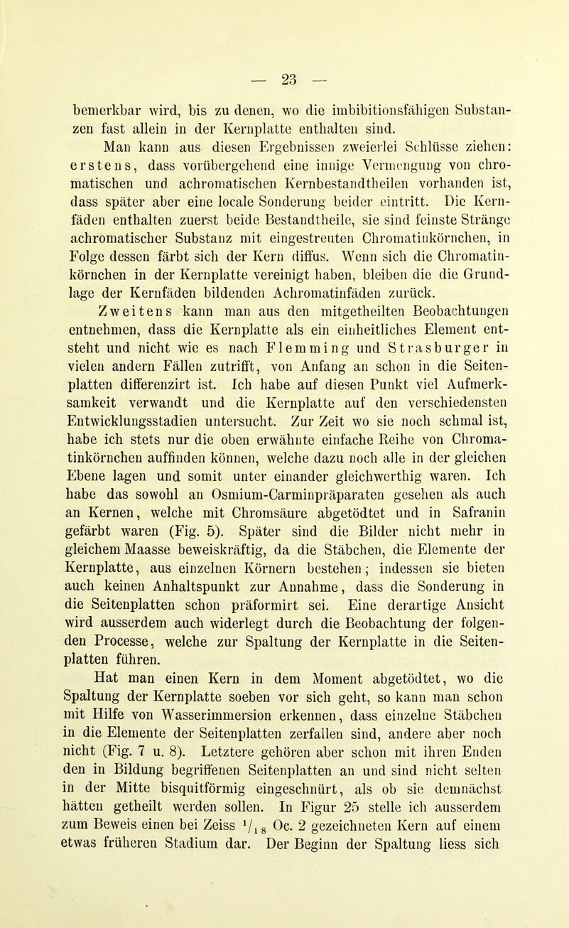 bemerkbar wird, bis zu denen, wo die imbibitionsfähigen Substan- zen fast allein in der Kernplatte enthalten sind. Man kann aus diesen Ergebnissen zweierlei Schlüsse ziehen: erstens, dass vorübergehend eine innige Vermengung von chro- matischen und achromatischen Kernbestandtheilen vorhanden ist, dass später aber eine locale Sonderung beider eintritt. Die Kern- fäden enthalten zuerst beide Bestandtheile, sie sind feinste Stränge achromatischer Substanz mit eingestreuten Chromatinkörnchen, in Folge dessen färbt sich der Kern diffus. Wenn sich die Chromatin- körnchen in der Kernplatte vereinigt haben, bleiben die die Grund- lage der Kernfäden bildenden Achromatinfäden zurück. Zweitens kann man aus den mitgetheilten Beobachtungen entnehmen, dass die Kernplatte als ein einheitliches Element ent- steht und nicht wie es nach Flemming und Strasburger in vielen andern Fällen zutrifft, von Anfang an schon in die Seiten- platten differenzirt ist. Ich habe auf diesen Punkt viel Aufmerk- samkeit verwandt und die Kernplatte auf den verschiedensten Entwicklungsstadien untersucht. Zur Zeit wo sie noch schmal ist, habe ich stets nur die oben erwähnte einfache Reihe von Chroma- tinkörnchen auffinden können, welche dazu noch alle in der gleichen Ebene lagen und somit unter einander gleichwertig waren. Ich habe das sowohl an Osmium-Carminpräparaten gesehen als auch an Kernen, welche mit Chromsäure abgetödtet und in Safranin gefärbt waren (Fig. 5). Später sind die Bilder nicht mehr in gleichem Maasse beweiskräftig, da die Stäbchen, die Elemente der Kernplatte, aus einzelnen Körnern bestehen; indessen sie bieten auch keinen Anhaltspunkt zur Annahme, dass die Sonderung in die Seitenplatten schon präformirt sei. Eine derartige Ansicht wird ausserdem auch widerlegt durch die Beobachtung der folgen- den Processe, welche zur Spaltung der Kernplatte in die Seiten- platten führen. Hat man einen Kern in dem Moment abgetödtet, wo die Spaltung der Kernplatte soeben vor sich geht, so kann man schon mit Hilfe von Wasserimmersion erkennen, dass einzelne Stäbchen in die Elemente der Seitenplatten zerfallen sind, andere aber noch nicht (Fig. 7 u. 8). Letztere gehören aber schon mit ihren Enden den in Bildung begriffenen Seitenplatten an und sind nicht selten in der Mitte bisquitförmig eingeschnürt, als ob sie demnächst hätten getheilt werden sollen. In Figur 25 stelle ich ausserdem zum Beweis einen bei Zeiss J/18 Oc. 2 gezeichneten Kern auf einem etwas früheren Stadium dar. Der Beginn der Spaltung liess sich