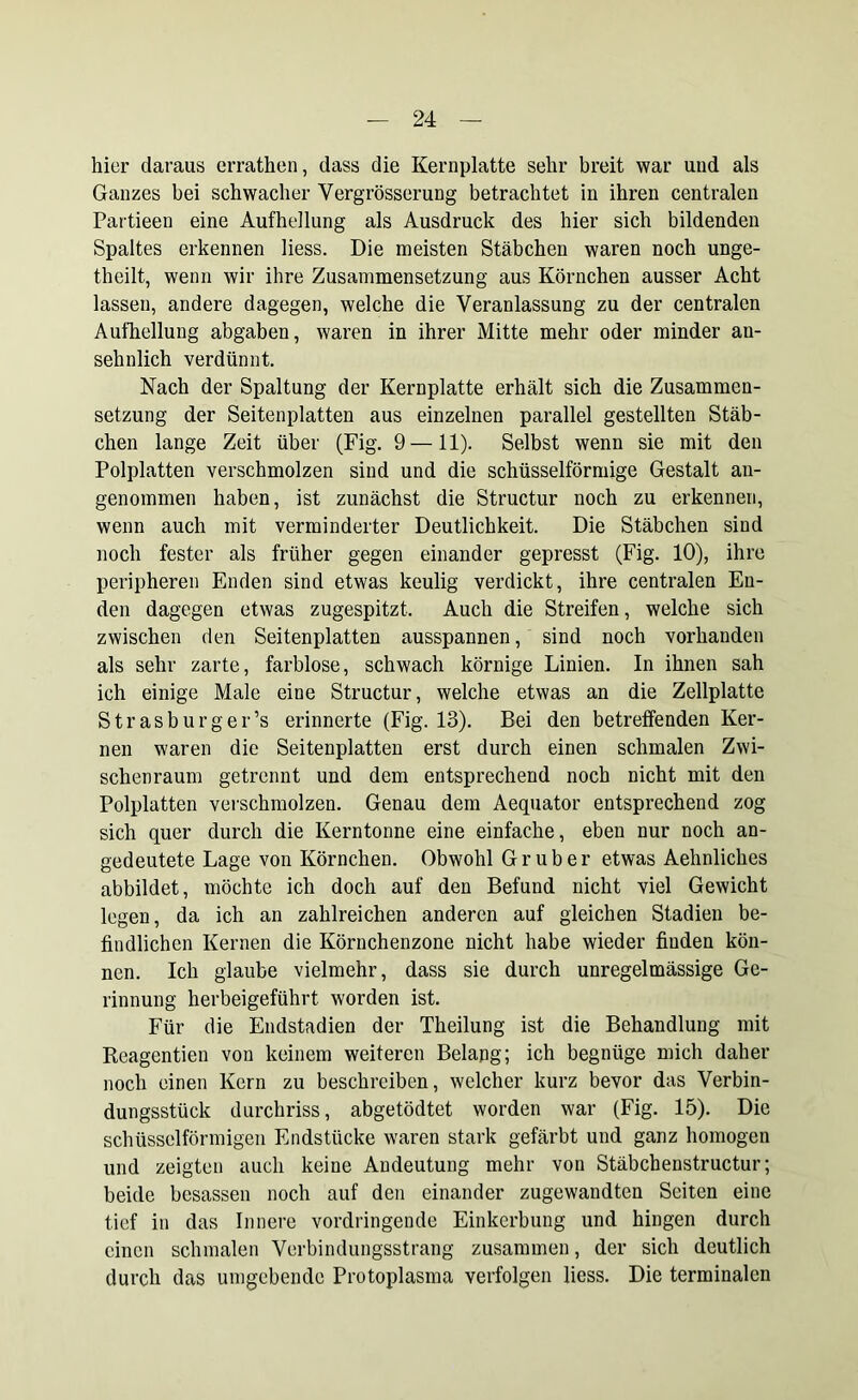 hier daraus errathen, dass die Kernplatte sehr breit war und als Ganzes bei schwacher Vergrösserung betrachtet in ihren centralen Partieen eine Aufhellung als Ausdruck des hier sich bildenden Spaltes erkennen liess. Die meisten Stäbchen waren noch unge- teilt, wenn wir ihre Zusammensetzung aus Körnchen ausser Acht lassen, andere dagegen, welche die Veranlassung zu der centralen Aufhellung abgaben, waren in ihrer Mitte mehr oder minder an- sehnlich verdünnt. Nach der Spaltung der Kernplatte erhält sich die Zusammen- setzung der Seitenplatten aus einzelnen parallel gestellten Stäb- chen lange Zeit über (Fig. 9—11). Selbst wenn sie mit den Polplatten verschmolzen sind und die schüsselförmige Gestalt an- genommen haben, ist zunächst die Structur noch zu erkennen, wenn auch mit verminderter Deutlichkeit. Die Stäbchen sind noch fester als früher gegen einander gepresst (Fig. 10), ihre peripheren Enden sind etwas keulig verdickt, ihre centralen En- den dagegen etwas zugespitzt. Auch die Streifen, welche sich zwischen den Seitenplatten ausspannen, sind noch vorhanden als sehr zarte, farblose, schwach körnige Linien. In ihnen sah ich einige Male eine Structur, welche etwas an die Zellplatte Strasburger’s erinnerte (Fig. 13). Bei den betreffenden Ker- nen waren die Seitenplatten erst durch einen schmalen Zwi- schenraum getrennt und dem entsprechend noch nicht mit den Polplatten verschmolzen. Genau dem Aequator entsprechend zog sich quer durch die Kerntonne eine einfache, eben nur noch an- gedeutete Lage von Körnchen. Obwohl Gr über etwas Aehnliches abbildet, möchte ich doch auf den Befund nicht viel Gewicht legen, da ich an zahlreichen anderen auf gleichen Stadien be- findlichen Kernen die Körnchenzone nicht habe wieder finden kön- nen. Ich glaube vielmehr, dass sie durch unregelmässige Ge- rinnung herbeigeführt worden ist. Für die Endstadien der Theilung ist die Behandlung mit Keagentien von keinem weiteren Belapg; ich begnüge mich daher noch einen Kern zu beschreiben, welcher kurz bevor das Verbin- dungsstück durchriss, abgetödtet worden war (Fig. 15). Die schüsselförmigen Endstücke waren stark gefärbt und ganz homogen und zeigten auch keine Andeutung mehr von Stäbchenstructur ; beide besassen noch auf den einander zugewandten Seiten eine tief in das Innere vordringende Einkerbung und hingen durch einen schmalen Verbindungsstrang zusammen, der sich deutlich durch das umgebende Protoplasma verfolgen liess. Die terminalen