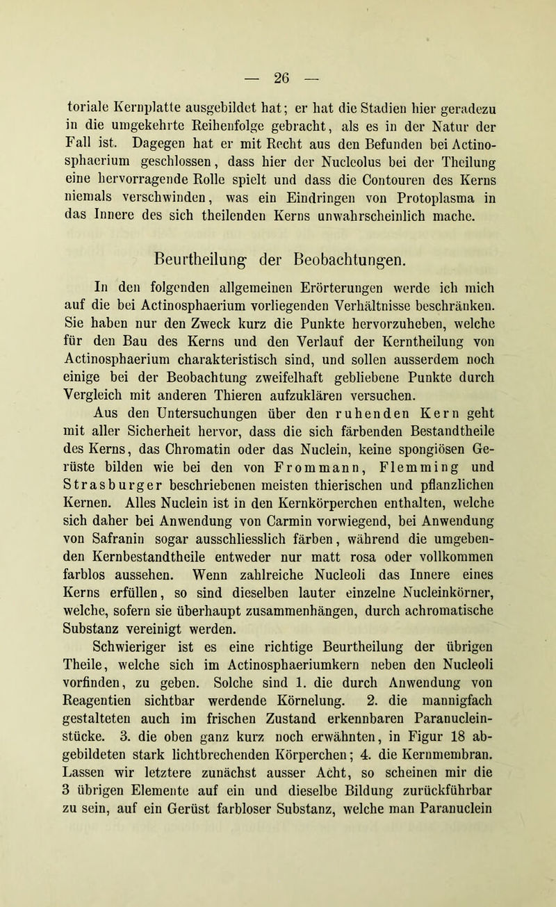 toriale Kernplatte ausgebildet hat; er hat die Stadien hier geradezu in die umgekehrte Reihenfolge gebracht, als es in der Natur der Fall ist. Dagegen hat er mit Recht aus den Befunden bei Actino- sphaerium geschlossen, dass hier der Nuclcolus bei der Thcilung eine hervorragende Rolle spielt und dass die Contouren des Kerns niemals verschwinden, was ein Eindringen von Protoplasma in das Innere des sich theilenden Kerns unwahrscheinlich mache. Beurtheilung- der Beobachtungen. In den folgenden allgemeinen Erörterungen werde ich mich auf die bei Actinosphaerium vorliegenden Verhältnisse beschränken. Sie haben nur den Zweck kurz die Punkte hervorzuheben, welche für den Bau des Kerns und den Verlauf der Kerntheilung von Actinosphaerium charakteristisch sind, und sollen ausserdem noch einige bei der Beobachtung zweifelhaft gebliebene Punkte durch Vergleich mit anderen Thieren aufzuklären versuchen. Aus den Untersuchungen über den ruhenden Kern geht mit aller Sicherheit hervor, dass die sich färbenden Bestandtheile des Kerns, das Chromatin oder das Nuclein, keine spongiösen Ge- rüste bilden wie bei den von Frommann, Flemming und Strasburger beschriebenen meisten thierischen und pflanzlichen Kernen. Alles Nuclein ist in den Kernkörperchen enthalten, welche sich daher bei Anwendung von Carmin vorwiegend, bei Anwendung von Safranin sogar ausschliesslich färben, während die umgeben- den Kernbestandtheile entweder nur matt rosa oder vollkommen farblos aussehen. Wenn zahlreiche Nucleoli das Innere eines Kerns erfüllen, so sind dieselben lauter einzelne Nucleinkörner, welche, sofern sie überhaupt Zusammenhängen, durch achromatische Substanz vereinigt werden. Schwieriger ist es eine richtige Beurtheilung der übrigen Theile, welche sich im Actinosphaeriumkern neben den Nucleoli vorfinden, zu geben. Solche sind 1. die durch Anwendung von Reagentien sichtbar werdende Körnelung. 2. die mannigfach gestalteten auch im frischen Zustand erkennbaren Paranuclein- stücke. 3. die oben ganz kurz noch erwähnten, in Figur 18 ab- gebildeten stark lichtbrechenden Körperchen; 4. die Kernmembran. Lassen wir letztere zunächst ausser Acht, so scheinen mir die 3 übrigen Elemente auf ein und dieselbe Bildung zurückführbar zu sein, auf ein Gerüst farbloser Substanz, welche man Paranuclein