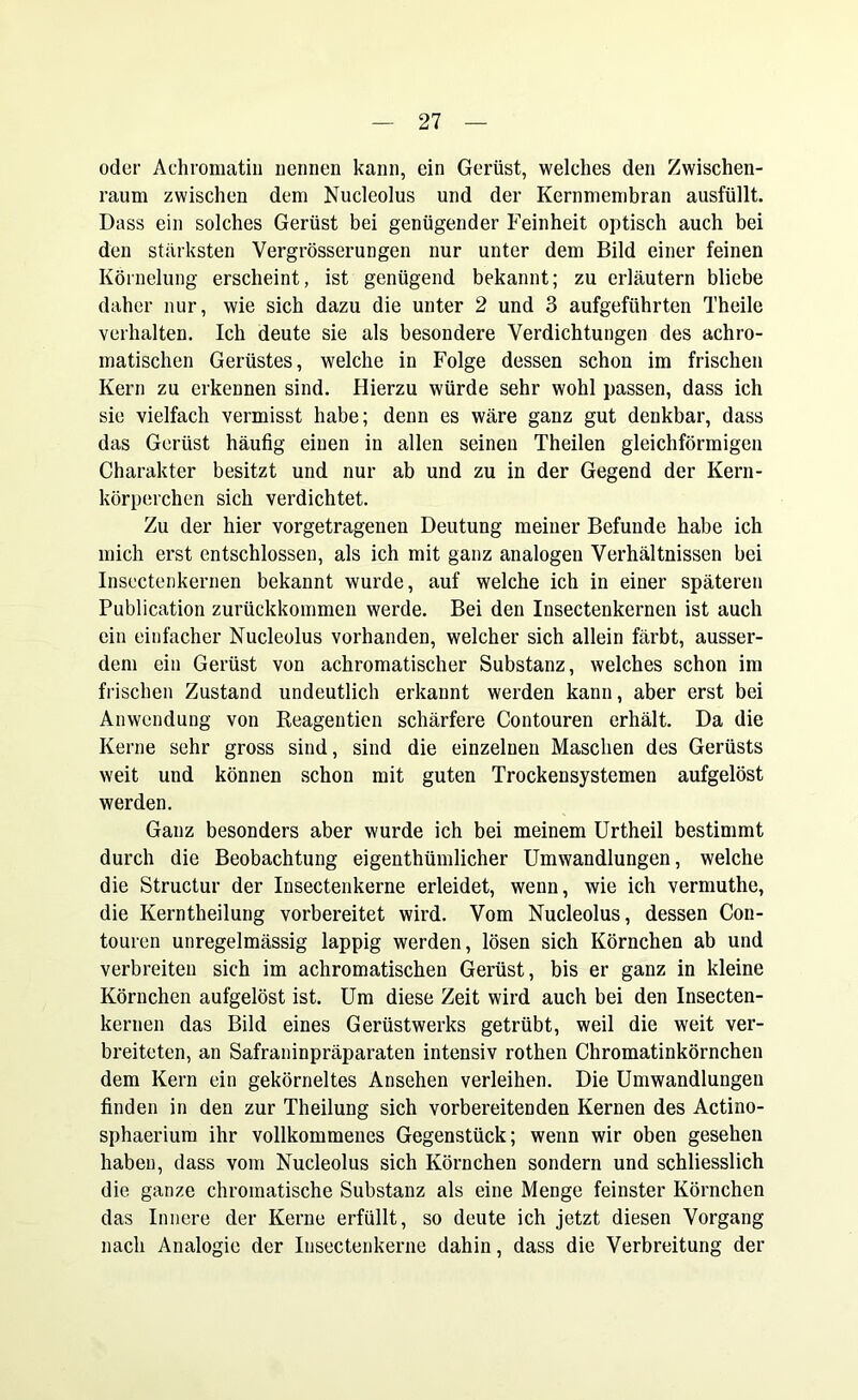 oder Achromatin nennen kann, ein Gerüst, welches den Zwischen- raum zwischen dem Nucleolus und der Kernmembran ausfüllt. Dass ein solches Gerüst bei genügender Feinheit optisch auch bei den stärksten Vergrösserungen nur unter dem Bild einer feinen Körnelung erscheint, ist genügend bekannt; zu erläutern bliebe daher nur, wie sich dazu die unter 2 und 3 aufgeführten Theile verhalten. Ich deute sie als besondere Verdichtungen des achro- matischen Gerüstes, welche in Folge dessen schon im frischen Kern zu erkennen sind. Hierzu würde sehr wohl passen, dass ich sie vielfach vermisst habe; denn es wäre ganz gut denkbar, dass das Gerüst häufig einen in allen seinen Theilen gleichförmigen Charakter besitzt und nur ab und zu in der Gegend der Kern- körperchen sich verdichtet. Zu der hier vorgetragenen Deutung meiner Befunde habe ich mich erst entschlossen, als ich mit ganz analogen Verhältnissen bei Insectenkernen bekannt wurde, auf welche ich in einer späteren Publication zurückkommen werde. Bei den Insectenkernen ist auch ein einfacher Nucleolus vorhanden, welcher sich allein färbt, ausser- dem ein Gerüst von achromatischer Substanz, welches schon im frischen Zustand undeutlich erkannt werden kann, aber erst bei Anwendung von Reagentien schärfere Contouren erhält. Da die Kerne sehr gross sind, sind die einzelnen Maschen des Gerüsts weit und können schon mit guten Trockensystemen aufgelöst werden. Ganz besonders aber wurde ich bei meinem Urtheil bestimmt durch die Beobachtung eigentümlicher Umwandlungen, welche die Structur der Insectenkerne erleidet, wenn, wie ich vermuthc, die Kernteilung vorbereitet wird. Vom Nucleolus, dessen Con- touren unregelmässig lappig werden, lösen sich Körnchen ab und verbreiten sich im achromatischen Gerüst, bis er ganz in kleine Körnchen aufgelöst ist. Um diese Zeit wird auch bei den Insecten- kernen das Bild eines Gerüstwerks getrübt, weil die weit ver- breiteten, an Safraninpräparaten intensiv roten Chromatinkörnchen dem Kern ein gekörneltes Ansehen verleihen. Die Umwandlungen finden in den zur Theilung sich vorbereitenden Kernen des Actino- sphaerium ihr vollkommenes Gegenstück; wenn wir oben gesehen haben, dass vom Nucleolus sich Körnchen sondern und schliesslich die ganze chromatische Substanz als eine Menge feinster Körnchen das Innere der Kerne erfüllt, so deute ich jetzt diesen Vorgang nach Analogie der Insectenkerne dahin, dass die Verbreitung der