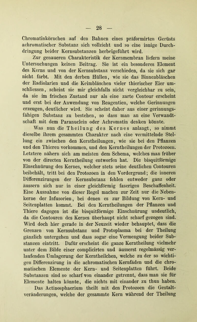 Chromatinkörnchen auf den Bahnen eines präformirten Gerüsts achromatischer Substanz sich vollzieht und so eine innige Durch- dringung beider Kernsubstanzen herbeigeführt wird. Zur genaueren Charakteristik der Kernmembran liefern meine Untersuchungen keinen Beitrag. Sie ist ein besonderes Element des Kerns und von der Kernsubstanz verschieden, da sie sich gar nicht färbt. Mit den derben Hüllen, wie sie das Binnenbläschen der Radiolarien und die Keimbläschen vieler thierischer Eier um- schliessen, scheint sie mir gleichfalls nicht vergleichbar zu sein, da sie im frischen Zustand nur als eine zarte Contour erscheint und erst bei der Anwendung von Reagentien, welche Gerinnungen erzeugen, deutlicher wird. Sie scheint daher aus einer gerinnungs- fähigen Substanz zu bestehen, so dass man an eine Verwandt- schaft mit dem Paranuclein oder Achromatin denken könnte. Was nun die Theilung des Kernes anlangt, so nimmt dieselbe ihrem gesammten Charakter nach eine vermittelnde Stel- lung ein zwischen den Kerntheilungen, wie sie bei den Pflanzen und den Thieren Vorkommen, und den Kerntheilungen der Protozoen. Letztere nähern sich am meisten dem Schema, welches man früher von der directen Kerntheilung entworfen hat. Die bisquitförmige Einschnürung des Kernes, welcher stets seine deutlichen Contouren beibehält, tritt bei den Protozoen in den Vordergrund; die inneren Differenzirungen der Kernsubstanz fehlen entweder ganz oder äussern sich nur in einer gleichförmig faserigen Beschaffenheit. Eine Ausnahme von dieser Regel machen zur Zeit nur die Neben- kerne der Infusorien, bei denen es zur Bildung von Kern- und Seitenplatten kommt. Bei den Kerntheilungen der Pflanzen und Thiere dagegen ist die bisquitförmige Einschnürung undeutlich, da die Contouren des Kernes überhaupt nicht scharf gezogen sind. Wird doch hier gerade in der Neuzeit wieder behauptet, dass die Grenzen von Kernsubstanz und Protoplasma bei der Theilung gänzlich untergehen und dass sogar eine Vermengung beider Sub- stanzen eintritt. Dafür erscheint die ganze Kerntheilung vielmehr unter dem Bilde einer complicirten und äusserst regelmässig ver- laufenden Umlagerung der Kerntheilchen, welche zu der so wichti- gen Differenzirung in die achromatischen Kernfäden und die chro- matischen Elemente der Kern- und Seitenplatten führt. Beide Substanzen sind so scharf von einander getrennt, dass man sie für Elemente halten könnte, die nichts mit einander zu thun haben. Das Actinosphaerium theilt mit den Protozoen die Gestalt- veränderungen, welche der gesammte Kern während der Theilung