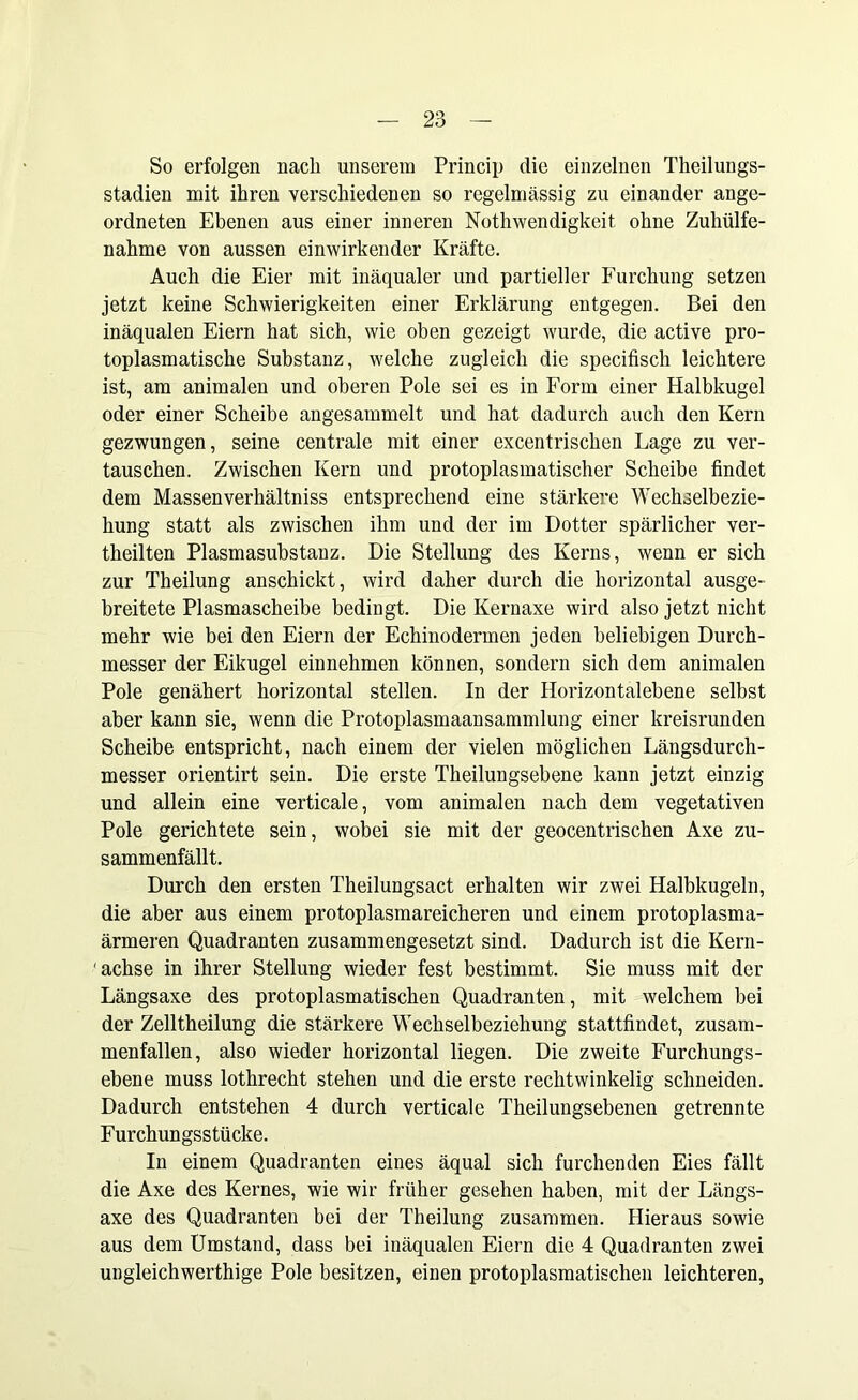 So erfolgen nach unserem Princip die einzelnen Theilungs- stadien mit ihren verschiedenen so regelmässig zu einander ange- ordneten Ebenen aus einer inneren Nothwendigkeit ohne Zuhülfe- nahme von aussen einwirkender Kräfte. Auch die Eier mit inäqualer und partieller Furchung setzen jetzt keine Schwierigkeiten einer Erklärung entgegen. Bei den inäqualen Eiern hat sich, wie oben gezeigt wurde, die active pro- toplasmatische Substanz, welche zugleich die specifisch leichtere ist, am animalen und oberen Pole sei es in Form einer Halbkugel oder einer Scheibe angesammelt und hat dadurch auch den Kern gezwungen, seine centrale mit einer excentrischen Lage zu ver- tauschen. Zwischen Kern und protoplasmatischer Scheibe findet dem Massenverhältniss entsprechend eine stärkere Wechselbezie- hung statt als zwischen ihm und der im Dotter spärlicher ver- theilten Plasmasubstanz. Die Stellung des Kerns, wenn er sich zur Theilung anschickt, wird daher durch die horizontal ausge- breitete Plasmascheibe bedingt. Die Kernaxe wird also jetzt nicht mehr wie bei den Eiern der Echinodermen jeden beliebigen Durch- messer der Eikugel einnehmen können, sondern sich dem animalen Pole genähert horizontal stellen. In der Horizontalebene selbst aber kann sie, wenn die Protoplasmaansammlung einer kreisrunden Scheibe entspricht, nach einem der vielen möglichen Längsdurch- messer orientirt sein. Die erste Theilungsebene kann jetzt einzig und allein eine verticale, vom animalen nach dem vegetativen Pole gerichtete sein, wobei sie mit der geocentrischen Axe zu- sammenfällt. Durch den ersten Theilungsact erhalten wir zwei Halbkugeln, die aber aus einem protoplasmareicheren und einem protoplasma- ärmeren Quadranten zusammengesetzt sind. Dadurch ist die Kern- 'achse in ihrer Stellung wieder fest bestimmt. Sie muss mit der Längsaxe des protoplasmatischen Quadranten, mit welchem bei der Zelltheilung die stärkere Wechselbeziehung stattfindet, zusam- menfallen, also wieder horizontal liegen. Die zweite Furchungs- ebene muss lothrecht stehen und die erste rechtwinkelig schneiden. Dadurch entstehen 4 durch verticale Theilungsebenen getrennte Furchungsstücke. In einem Quadranten eines äqual sich furchenden Eies fällt die Axe des Kernes, wie wir früher gesehen haben, mit der Längs- axe des Quadranten bei der Theilung zusammen. Hieraus sowie aus dem Umstand, dass bei inäqualen Eiern die 4 Quadranten zwei ungleichwerthige Pole besitzen, einen protoplasmatischen leichteren,