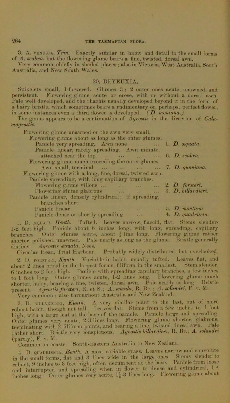 3. A. venusta, Trvn. Exactly similar in habit and detail to the small forms of A. xrabra, hat the {lowering glume bears a fine, twisted, dorsal awn. Very common, chiefly in shaded places ; also in Victoria, West Australia, South Australia, and New South Wales. 20. DEYEUXIA. Spikelets small, 1-flowered. Glumes 3 ; 2 outer ones acute, unawned, and persistent. Flowering glume acute or erose, with or without a dorsal awn. Pale well developed, and the rhachis usually developed beyond it in the form of a hairy bristle, which sometimes bears a rudimentary or, perhaps, perfect flower, in some instances even a third flower is developed. (D. montana.) The genus appears to be a continuation of Agrostis in the direction of Cala- magrostis. Flowering glume unawned or the awn very small. Flowering glume about as long as the outer glumes. Panicle very spreading. Awn none ... ... 1. D. eeguata. Panicle linear, rarely spreading. Awn minute, attached near the top ... ... ... ... 6. D. xcahra. Flowering glume much exceeding the outer glumes. Awn small, terminal ... ... . . ... 7. D. gunniana. Flowering glume with a long, tine, dorsal, twisted awn. Panicle spreading, with long capillary branches. Flowering glume villous ... ... ... ... 2. D. forsteri. Flowering glume glabrous ... ... ... 3. D. billardieri. Panicle linear, densely cylindrical; if spreading, branches short. Panicle linear ... ... ... ... ... 5. D. montana. Panicle dense or shortly spreading ... ... 4. I). quad riset a. 1. D. A5QUATA, Benth. Tufted. Leaves narrow, flaccid, flat. Stems slender* 1-2 feet high. Panicle about 6 inches long, with long, spreading, capillary branches. Outer glumes acute, about f line long. Flowering glume rather shorter, polished, unawned. Pale nearly as long as the glume. Bristle generally distinct. Agrostis cequata, Nees. Circular Head, Trial Harbour. Probably widely distributed, but overlooked. 2. D. forsteri, Kunth. Variable in habit, usually tufted. Leaves flat, and about 2 lines broad in the largest forms, filiform in the smallest. Stem slender, 6 inches to 2 feet high. Panicle with spreading capillary branches, a few inches to 1 foot long. Outer glumes acute, 1-2 lines long. Flowering glume much shorter, hairy, bearing a tine, twisted, dorsal awn. Pale nearly as long. Bristle present. Agrostis forsteri, R. et S.; A. mmula. R. Br. ; A. sola n dr i, F. v. M. Very common ; also throughout Australia and New Zealand. 3. D. billardieri, Kunth. robust habit, though not tall. 1 Outer terminating with 2 filiform points rather short. Bristle very conspicuous (partly), F. v. M. Common on coasts. A very similar plant to the last, hut of more Leaves Hat. Stems from a few inches to 1 foot Panicle large and spreading. shorter, glabrous, dorsal awn. Pale Agrostis billardieri, R. Br.; A. solandri robust habit-, though not tall. L/eaves nat. sterns irom a ie» high, with a large leaf at the base of the panicle. Panicle lar Outer glumes very acute, 2-3 lines long. Flowering glume terminating with 2 filiform points, and bearing a fine, twisted. South-Eastern Australia to New Zealand 4. D. quadriseta, Benth. A most variable grass. Leaves narrow and convolute in the small forms, flat, and 3 lines wide in the large ones. Stems slender to robust, 9 inches to 3 feet high, often decumbent at the base. Panicle from loose and interrupted and spreading when in flower to dense and cylindrical. 1-4 inches long. Outer glumes very acute, H-3 lines long. Flowering glume about