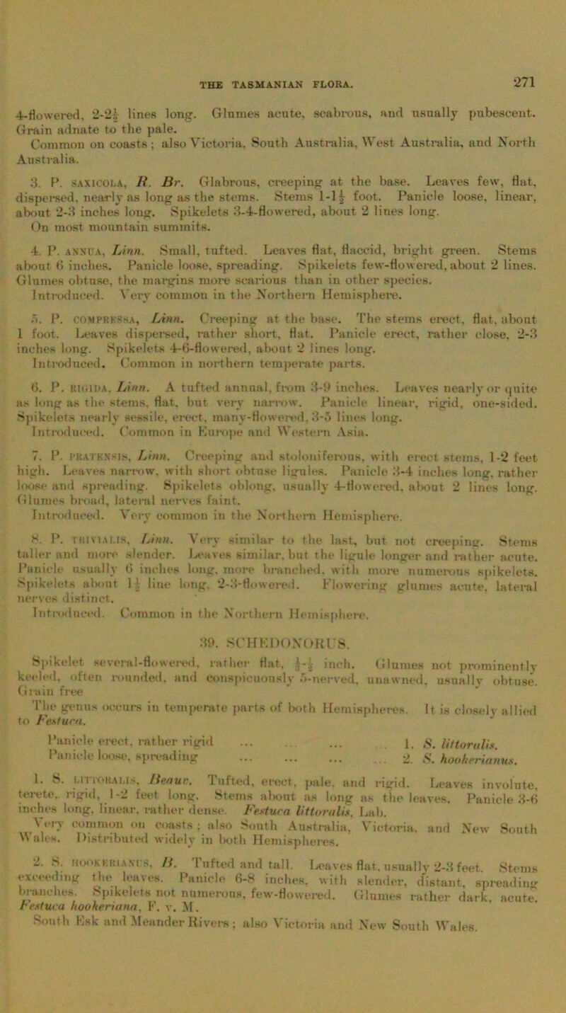 4-flowered, 2-2| lines long. Glnmes acute, scabrous, and usually pubescent. Grain adnate to the pale. Common on coasts; also Victoria, South Australia, West Australia, and North Australia. 3. P. saxicola, B Br. Glabrous, creeping at the base. Leaves few. flat, dispersed, nearly as long as the. stems. Stems 1-11 foot. Panicle loose, linear, about 2-3 inches long. Spikelets 3-4-flowered, about 2 lines long. On most mountain summits. 4. P. annua, Linn. Small, tufted. Leaves flat, flaccid, bright green. Stems about (5 inches. Panicle loose, spreading. Spikelets few-flowered, about 2 lines. Glumes obtuse, the margins more scarious than in other species. Introduced. Very common in the Northern Hemisphere. 5. P. comprit.sha, Linn. Creeping at the base. The stems erect, flat, about 1 foot. Leaves dispersed, rather short, flat. Panicle erect, rather close, 2-3 inches long. Spikelets 4-6-Howered, about 2 lines long. Introduced. Common iu northern temperate parts. b. P. rigida, Linn. A tufted annual, from 3-9 inches. Leaves nearly or quite as long as the stems, flat, but very narrow. Panicle linear, rigid, one-sided. Spikelets nearly sessile, erect, many-flowered, 3-5 lines long. Introduced. Common iu Europe and Western Asia. 7. P. fkatknsis, Linn. Creeping and stoloniferons, with erect stems, 1-2 feet high. Leaves narrow, with short obtuse ligules. Panicle 3-4 inches long, rather loose and spreading. Spikelets oblong, usually 4-flowered. about 2 lines long. Glumes broad, lateral nerves faint. Introduced. Very common in the Northern Hemisphere. 8. P. IR1V1AU8, Linn. Very similar to the last, but not creeping. Stems taller and more slender. Leaves similar, but the ligule longer and rather acute. Panicle usually 0 inches long, more branched, with more numerous spikelets. Spikelets about H line long, 2-3-flowered. Flowering glumes acute, lateral nerves distinct. Intiuduced. Common in the Northern Hemisphere. 39. SCHKIM INGRES. Spikelet several-flowered, rather flat, inch. Glnmes not prominently keeled, often rounded, and conspicuously 5-nerved. unawned, usual!v obtuse. Grain free The genus occurs iu temperate parts of both Hemispheres. It is closely allied to Festura. Panicle erect, rather rigid ... ... 1. s. Uttoruli*. Panicle loose, spreading S. hookerianus. 1. S. litrokalis, Benue. 1 lifted, erect, pale, and rigid. Leaves involute, terete, rigid, 1-2 feet long. Stems about as long as the leaves. Panicle 3-6 inches long, linear, rather dense. Fextura littoralu. Lab. W ry common on coasts ; also South Australia, Victoria, and New South Wales. Distributed widely in both Hemispheres, 2. S. hook k.hiam s, B. Tufted and tall. Leaves flat, usually 2-3 feet Stems exceeding the leaves. Panicle 6-8 inches, with slender, distant, spreading branches. Spikelets not numerous, few-flowered. Glumes rather dark, acute. rextuca hookerinna. F. v. M . South Esk and Meander Rivers; also Victoria and New South Wales.