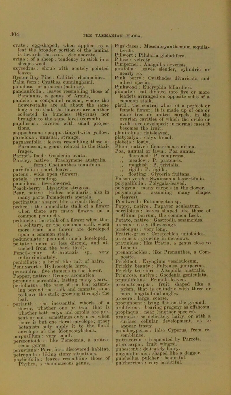1304 ovate : egg-sliaped; when applied to a loaf the broader portion of the lamina is towards the axis. See obovate. ovina : of a sheep; tendency to stick in a sheep’s wool. oxycedrus : shrub with acutely pointed leaves. Oyster Ray Pine : Callitris rhomboidea. Palm fem : Cyathea cuntiinghami. paludosa : of a marsh (habitat), pandanifolia : leaves resembling those of Pandanus, a genus of Aroids. panicle : a compound raceme, where the ilow'er-stalks are all about the same length, so that the flowers are neither collected in bunches (thyrsus) nor brought to the same level (corymb), papillosus: covered with small projec- tions. pappoehroma : pappus tinged with yellow, paradoxa : unusual, strange, pamassifolia : leaves resembling those of Parnassia, a genus related to the Saxi- frages. Parrot’s food : Goodenia ovata. Parsley, native : Trachymene australis. ,, fem : Cheilanthes tenuifolia. parvifolia : short leaves, patens : wide open (flower), patula : spreading, pauciflora : few-flowered. Peach-berry : Lissanthe strigosa. Pear, native : Hakea acicularis; also in many parts Pomaderris apetala. pectinatus : shaped like a comb (leaf), pedicel : the immediate stalk of a flower when there are many flowers on a common peduncle. peduncle : the stalk of a flower when that is solitary, or the common stalk when more than one flower are developed upon a common stalk, pedunculate : peduncle much developed, peltate : more or less discoid, and at- tached from the back (leaf). Pencil-cedar : Arthrotaxis sp., very indiscriminately. penicillata : a brush-like tuft of hairs. Pennvwort : Hydroeotyle liirta. pentandra : five stamens in the flower. Pepper, native : Drimys aromatica. perenne : perennial, lasting many years, perfoliatus : the base of the leaf extend- ing beyond the stalk and connate, so as to leave the stalk growing through the perianth : the inessential whorls of a flower, whether one or two, that is whether both calyx and corolla are pre- sent or not; sometimes only used when there is but one floral envelope; other botanists only apply it to the floral envelope of the Monocotyledons, perpusillum : very small, persoonioides : like Persoonia, a protea- ceous genus. peruviana : Peru, first discovered habitat, petrophila : liking stony situations, phylicifolia : leaves resembling those of Phylica, a rhamnaceous genus. Pigs’-faces : Mesembryanthemum ;»quila- tent le. Pillwort : Pilularia globulifera. Pilose : velvety. Pimpernel : Anagallis arvensis. pinifolia : leaves slender, cylindric or nearly so. Pink berry : Cyathodes divaricata and allied species. Pinkwood : Euerypkia billardieri. pinnate : leaf divided into five or more leaflets arranged on opposite sides of a common stalk. pistil : the central whorl of a perfect or female flower; it is made up of one or more free or united carpels, in the ovarian cavities of which the ovule or ovules are developed; in normal cases it becomes the fruit, planifolius : flat-leaved, platycalyx : calyx broad, plebeja : lowly. Plum, native : Conarrhenes nitida. Poa, annual or lawn : Poa annua. ,, flattened : P. compressa. ,, meadow : P. pratensis. ,, roughish : P. trivialis. ,, rigid : P. rigida. ,, floating : Glyceria fluitans. Poison vetch : Swainsonia lassertifolia. polygalifolia : Polygala-leaved, polygyna : many carpels in the flower, polymorpha : assuming many shapes (leaves). Pondweed : Potamogeton sp. Poppv, native : Papaver ac-uleatum. porrifolius : leaves shaped like those of Allium porrum. the common Leek. Potato, native : Gastrodia sesamoides. priecox : early (flowering), prrelongus : very long. Prairie-grass : Ceratochloa unioloides. pratensis : growing in meadows, pratioides : like Pratia, a genus close to Lobelia. prenanthoides : like Prennnthes, a Com- posite. Prickfoot : Eryngium vesciculosum. Prickly beauty : Pultemoa juniperina. Prickly tree-fern : Alsophila australis. Primrose, native : Goodenia geniculata. primulifolius : Primula-leaved, prismatocarpus : fruit shaped like a prism, that is cylindric with three or more longitudinal angles, procera : large, coarse, procumbent : lying flat on the ground, proliferous : bearing progeny as offshoots, propinqua : near (another species), pruinose : so delicately hairy, or with a surface cellular development, as to appear frosty. pseudocyperus : false Cyperus, from re- semblance. psittacorum : frequented by Parrots, pterocarpa : fruit winged, pubescent : delicately hairy, pugioniformis : shaped like a dagger, pulchellus, ptilcher : beautiful, pulcherrima : very beautiful.