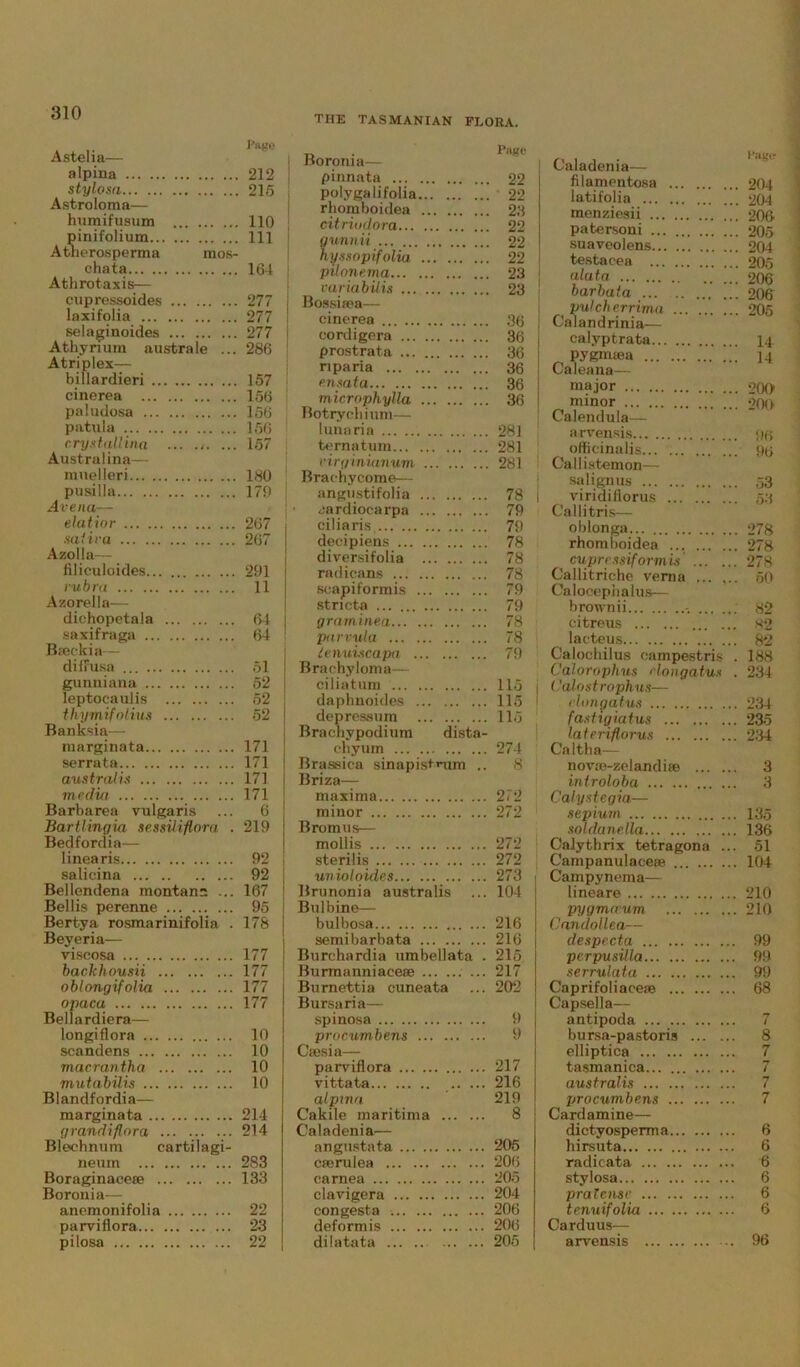 THE TASMANIAN FLORA. Astelia— Page alpina , 212 stylosa . 215 Astroloma— humifusum 110 pinifolium , 111 Atherosperma mos- chata 164 Athrotaxis— cupressoides 277 lnxifolia 277 selaginoides 277 Athyrium australe . 286 Atriplex— billardieri 157 cinerea 156 paludosa 156 patula 156 crystalling ... .j. 157 Australina— muelleri 180 pusilla 179 Arena— elatior 267 saliva 267 Azolla— filiculoides 291 rubra 11 Azorella— dichopetala 64 saxifraga 64 Bieckia— diffusa 51 gunniana 52 leptocaulis 52 thymifolius 52 Banksia— marginata 171 serrata 171 australis 171 media 171 Barbarea vulgaris 6 Bartlingia sessiHflora . 219 Bedfordia— linearis 92 salicina 92 Bellendena montans ... 167 Beilis perenne 95 Bertya rosmarinifolia . 178 Beyeria— viscosa 177 backhousii 177 oblongifolia 177 opaca 177 Bellardiera— longiflora 10 scandens 10 macrantha 10 mutabilis 10 Blandfordia— marginata 214 grandiflora 214 Blechnum cartilagi- neum 283 Boraginacese 133 Boronia— anemonifolia 22 parviflora 23 pilosa 22 Boronia— pinnata 22 polygalifolia 22 rhomboidea 23 citriodora 22 gunnii 22 hyssopifolia 22 puonema 23 variabilis ... 23 Bossieea— cinerea 36 cordigera 36 prostrata 36 riparia 36 ensata 36 microphylla 36 Botrychium— [unaria 281 ternatum 281 virginianum 281 Brac-hycome— angustifolia 78 <;ardiocarpa 79 ciliaris 79 decipiens 78 diversifolia 78 radicans 78 seapiformis 79 stricta 79 graminea 78 parvula 78 tenuiscapa 79 Brachyloma— ciliatum 115 daphnoides 115 depressum 115 Brachypodium dista- chyum 274 Braseica sinapisfmm .. 8 Briza— maxima 272 minor 272 Bromus— mollis 272 sterilis 272 unioloides 273 Brunonia australis ... 104 Bulbine— bulbosa 216 semibarbata 216 Burchardia umbellata . 215 Burmanniacese ... 217 Bumettia cuneata ... 202 Bursaria— spinosa 9 procumbens 9 Csesia— parviflora 217 vittata 216 alptna 219 Cakile maritima 8 Caladenia— angustata 205 ctorulea 206 carnea 205 clavigera 204 congest a 206 deformis 206 dilatata 205 Caladenia— filamentosa 204 latifolia 204 menziesii 206 patersoni 205 suaveolens 204 testacea 205 206 barbata 206 pulcherrima 205 Calandrinia— calyptrata 14. pygnuea 14 Caleana— major 200 minor 200 Calendula— arvensis pg officinalis 9g Callistemon— salignus 53 viridiflorus 53 Callitris— oblonga 278 rhomboidea 278 cuprr.isiformis 278 Callitriche venia 50 Calocephalus— brownii -. 82 citreus S2 lacteus 82 Calochilus campestris . 188 C'alorophus rlongatus . 234 CaXostrophus— rlongatus 234 fastigiatus 235 lateriflorus 234 Caltha— novm-zelandiae 3 introloba 3 Calystegia— sepium 135 soldaneUa 136 Calythrix tetragona ... 51 Campanulacese 104 Campynema— lineare 210 pygmaum 210 Candollea— despecta 99 perpusilla 99 serrulata 99 Caprifoliaceae 68 Capsella— antipoda 7 bursa-pastoris 8 elliptica 7 tasmanica 7 australis 7 procumbens 7 Card amine— dictyosperma 6 hirsuta 6 radicata 6 stylosa 6 prat ease 6 tenuifolia 6 Carduus— arvensis 96