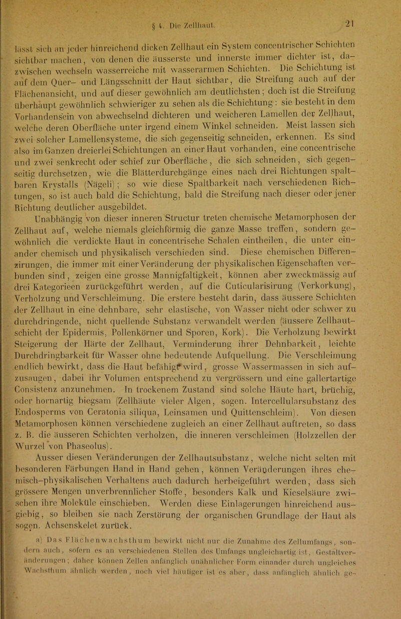 lüssi sich an jeder hinreichend dicken Zellhaut ein System concentrischer Schichten sichtbar machen, von denen die äüsserste und innerste immer dichter ist, da- zwischen wechseln wasserreiche mit wasserarmen Schichten. Die Schichtung ist auf dem Quer- und Längsschnitt der Haut sichtbar, die Streifung auch aul der Flächenansicht, und aul dieser gewöhnlich am deutlichsten; doch ist die Streifung überhaupt gewöhnlich schwieriger zu sehen als die Schichtung : sie besteht in dem Vorhandensein von abwechselnd dichteren und weicheren Lamellen der Zellhaut, welche deren Oberfläche unter irgend einem Winkel schneiden. Meist lassen sich zwei solcher Lamellensysteme, die sich gegenseitig schneiden, erkennen. Es sind also im Ganzen dreierlei Schichtungen an einer Haut vorhanden, eine concenIrische und zwei senkrecht oder schiel zur Oberfläche , die sich schneiden, sich gegen- seitig durchsetzen, wie die Blätterdurchgänge eines nach drei Richtungen spalt- baren Krystalls (Nägeli); so wie diese Spaltbarkeit nach verschiedenen Rich- tungen, so ist auch bald die Schichtung, bald die Streifung nach dieser oder jener Richtung deutlicher ausgebildet. Unabhängig von dieser inneren Structur treten chemische Metamorphosen der Zellhaut auf, welche niemals gleichförmig die ganze Masse treffen, sondern ge- wöhnlich die verdickte Haut in concenlrische Schalen eintheilen, die unter ein- ander chemisch und physikalisch verschieden sind. Diese chemischen Differen- zirungen, die immer mit einer Veränderung der physikalischen Eigenschaften ver- bunden sind , zeigen eine grosse Mannigfaltigkeit, können aber zweckmässig aul drei Kategorieen zurückgeführt werden, auf die Cuticularisirung (Verkorkung), Verholzung und Verschleimung. Die erstere besteht darin, dass äussere Schichten der Zellhaut in eine dehnbare, sehr elastische, von Wasser nicht oder schwer zu durchdringende, nicht quellende Substanz verwandelt werden (äussere Zellhaut- schicht der Epidermis, Pollenkörner und Sporen, Kork). Die Verholzung bewirkt Steigerung der Härte der Zellhaut, Verminderung ihrer Dehnbarkeit, leichte Durchdringbarkeit für Wasser ohne bedeutende Aufquellung. Die Verschleimung endlich bewirkt, dass die Haut befähig? wird, grosse Wassermassen in sich auf- zusaugen , dabei ihr Volumen entsprechend zu vergrössern und eine gallertartige Consistenz anzunehmen. In trockenem Zustand sind solche Häute hart, brüchig, oder hornartig biegsam (Zellhäute vieler Algen, sogen. Intercellularsubstanz des Endosperms von Ceratonia siliqua, Leinsamen und Quittenschleim). Von diesen Metamorphosen können verschiedene zugleich an einer Zellhaut auftreten, so dass z. B. die äusseren Schichten verholzen, die inneren verschleimen (Holzzellen der Wurzel von Phaseolus). Ausser diesen Veränderungen der Zellhautsubstanz, welche nicht selten mit besonderen Färbungen Hand in Hand gehen, können Veräußerungen ihres che- misch-physikalischen Verhaltens auch dadurch herbeigeführt werden, dass sich grössere Mengen unverbrennlicher Stoffe, besonders Kalk und Kieselsäure zwi- schen ihre Moleküle cinschiebcn. Werden diese Einlagerungen hinreichend aus- giebig, so bleiben sie nach Zerstörung der organischen Grundlage der Haut als sogen. Achscnskclet zurück. ;i Das Klächcnwachsthum bewirkt nicht nur die Zunahme des Zcllumfangs, son- dern auch, sofern es an verschiedenen Stellen des Umfangs ungleichartig ist, Gestnltver- änderungen; daher können Zellen anfänglich unähnlicher Form einander durch ungleiches Wachsthurn ähnlich werden, noch viel häutiger ist es aber, dass anfänglich ähnlich ge-