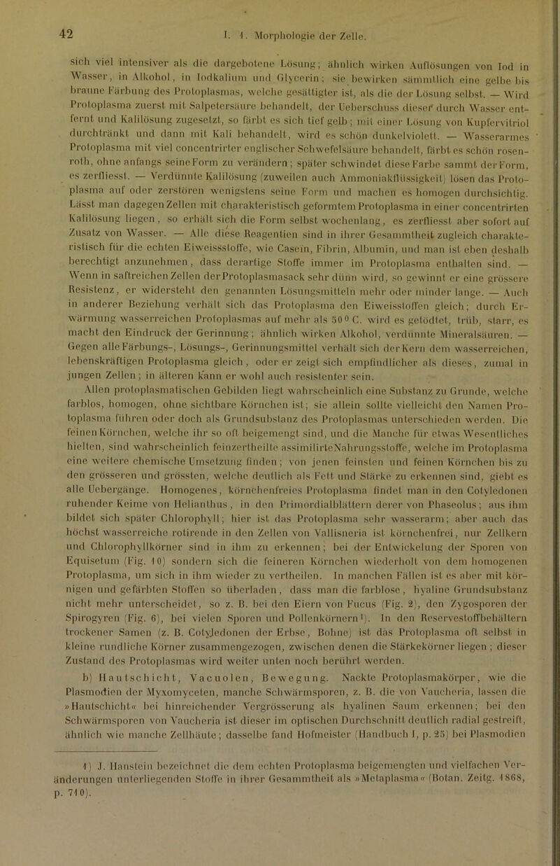 sich viel intensiver als die dargebotene Lösung; ähnlich wirken Auflösungen von Iod in Wasser, in Alkohol, in Jodkalium und Glycerin; sie bewirken sämmflich eine gelbe bis braune Färbung des Protoplasmas, welche gesättigter ist, als die der Lösung selbst, — Wird Protoplasma zuerst mit Salpetersäure behandelt, der Ueberschuss dieser durch Wasser ent- ternt und Kalilösung zugesetzt, so färbt es sieh tief gelb; mit einer Lösung von Kupfervitriol durchtränkt und dann mit Kali behandelt, wird es schön dunkelviolett. — Wasserarmes Protoplasma mit viel eoncentrirter englischer Schwefelsäure behandelt, färbt es schön rosen- roth, ohne anfangs seine Form zu verändern ; später schwindet diese Farbe sammt der Form, es zerfliesst. — Verdünnte Kalilösung (zuweilen auch Ammoniakflüssigkeil) lösen das Proto- plasma auf oder zerstören wenigstens seine Form und machen es homogen durchsichtig. Lässt man dagegen Zellen mit charakteristisch geformtem Protoplasma in einer concentrirten Kalilösung liegen, so erhält sich die Form selbst wochenlang, es zerfliesst aber sofort auf Zusatz von Wasser. — Alle diese Reagentien sind in ihrer Gesammtheit zugleich charakte- ristisch für die echten Eiweissstoffe, wie Casein, Fibrin, Albumin, und man ist eben deshalb berechtigt anzunehmen, dass derartige Stoffe immer im Protoplasma enthalten sind. — Wenn in saftreichen Zellen der Protoplasmasack sehr dünn wird, so gewinnt er eine grössere Resistenz, er widersteht den genannten Lösungsmitteln mehr oder minder lange. — Auch in anderer Beziehung verhält sich das Protoplasma den Eiweissloffen gleich; durch Er- wärmung wasserreichen Protoplasmas auf mehr als 50» C. wird es getödtet, trüb, starr, es macht den Eindruck der Gerinnung; ähnlich wirken Alkohol, verdünnte Mineralsäuren. — Gegen alleFärbungs-, Lösungs-, Gerinnungsmittel verhält sich der Kern dem wasserreichen, lebenskräftigen Protoplasma gleich, oder er zeigt sich empfindlicher als dieses, zumal in jungen Zellen; in älteren kann er wohl auch resistenter sein. Allen protoplasmatischen Gebilden liegt wahrscheinlich eine Substanz zu Grunde, welche farblos, homogen, ohne sichtbare Körnchen ist; sie allein sollte vielleicht den Namen Pro- toplasma führen oder doch als Grundsubstanz des Protoplasmas unterschieden werden. Die. feinen Körnchen, welche ihr so oft beigemengt sind, und die Manche für etwas Wesentliches hielten, sind wahrscheinlich feinzertheilte assimilirteNalmingsstoffe, welche im Protoplasma eine weitere chemische Umsetzung finden; von jenen feinsten und feinen Körnchen bis zu den grösseren und grössten, welche deutlich als Fett und Stärke zu erkennen sind, giebt es alle Uebergänge. Homogenes, körnchenfreies Protoplasma findet man in den Cotylcdonen ruhender Keime von Helianthus, in den Primordialblättern derer von Phaseolus; aus ihm bildet sich später Chlorophyll; hier ist das Protoplasma sehr wasserarm; aber auch das höchst wasserreiche rotirende in den Zellen von Vallisneria ist körnchenfrei, nur Zellkern und Chlorophyllkörner sind in ihm zu erkennen; bei der Entwickelung der Sporen von Equisetum (Fig. 10) sondern sich die feineren Körnchen wiederholt von dem homogenen Protoplasma, um sich in ihm wieder zu vertheilen. In manchen Fällen ist es aber mit kör- nigen und gefärbten Stoffen so überladen, dass man die farblose, hyaline Grundsubstanz nicht mehr unterscheidet, so z. ß. bei den Eiern von Fucus (Fig. 2), den Zygosporen der Spirogyren (Fig. 6), bei vielen Sporen und Pollenkörnern1), ln den Reservestoffbehältern trockener Samen (z. B. Cotyjedonen der Erbse, Bohne) ist das Protoplasma oft selbst in kleine rundliche Körner zusammengezogen, zwischen denen die Stärkekörner liegen ; dieser Zustand des Protoplasmas wird weiter unten noch berührt werden. b) Hautschicht, Vacuolen, Bewegung. Nackte Protoplasmakörper, wie die Plasmodien der Myxomyceten, manche Schwärmsporen, z. B. die von Vaucheria, lassen die «Hautschicht« bei hinreichender Vergrösserung als hyalinen Saum erkennen; bei den Schwärmsporen von Vaucheria ist dieser im optischen Durchschnitt deutlich radial gestreift, ähnlich wie manche Zellhäute; dasselbe fand Hofmeister (Handbuch I, p. 25) bei Plasmodien 1) J. Haustein bezeichnet die dem echten Protoplasma beigemengten und vielfachen Ver- änderungen Unterliegenden Stoffe in ihrer Gesammtheit als »Mclaplasma« (Bolan. Zeitg. 1868, p. 710).
