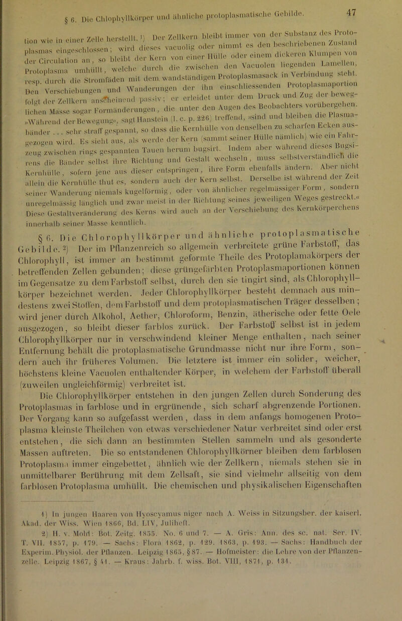 §6. Die Chlophyllkürper und ähnliche p, otoplasmatischc Gebilde. ■ ■ , 7-.,„ |.orst.eiit n Der Zellkern bleibt immer von der Substanz des Rrolo cs™ TricbrD , ' - i cn bleibt der Kern von einer Hülle oder einem dickeren Klumpen von Protoplasma°umbUin*, welche durch die zwischen den Vacuolen liegenden Lame.^i, reSp durch die Stromfaden mit dem. wandständigen PrWoplasmasack m Verbindung steh Den Verschiebungen und Wanderungen der ihn cinschliessenden Protoplasmaportion l>rSukern ansnieineud passiv; er erleidet unter dem Druck und Zu, der beweg- lichen Masse sogar Formänderungen , die unter den Augen des Beobachters verübe, gehen. „Während der Bewegung,, sagt Haustein (1. c. p. 226) treffend, »sind und ^ e.ben die Plasma- bänder ... sehr straff gespannt, so dass die Kernhülle von denselben «sch. en E*en - -cze-en wird. Es sieht aus, als werde der Kern (sam.nl seiner Hülle na.nl,ch wie e.n ahr Luc zwischen rings gespannten Tauen herum bugsirt. Indem aber während cheses Büh- rens die Bänder selbst ihre Richtung und Gestalt wechseln, muss sclbslve.standheh d e Kernhülle, sofern jene aus dieser entspringen, ihre Form ebenfalls ändern. Aber n.ch allein die Kernhülle thut es, sondern auch der Kern selbst. Derselbe .st wahrend de, Zeit seiner Wanderung niemals kugelförmig, oder von ähnlicher regelmässiger mm., soin unregelmässig länglich und zwar meist in der Richtung seines jeweiligen Weges gestreckt.« Diese Gestaltveränderung des Kerns wird auch an der Verschiebung des kernkorperchens innerhalb seiner Masse kenntlich. K fi. Die Chlorophyllkörper und ähnliche p rotopl a sm a tis c h e Gebilde.1 2) Der im Pflanzenreich so allgemein verbreitete grüne Farbstoff, das Chlorophyll, ist immer an bestimmt geformte Theile des Protoplamakörpers der betreffenden Zellen gebunden; diese grüngefürblen Protoplasmaportionen können im Gegensätze zu dem Farbstoff selbst, durch den sie tingii t sind, als Ghloioph) körper bezeichnet werden. Jeder Chlorophyllkörper besteht demnach aus min- destens zwei Stollen, dem Farbstoff und dem protoplasmatischen Träger desselben ; wird jener durch Alkohol, Aether, Chloroform, Benzin, ätherische oder fette Oele ausgezogen, so bleibt dieser farblos zurück. Der Farbstoff selbst ist in jedem Chlorophyllkörper nur in verschwindend kleiner Menge enthalten, nach seiner Entfernung behält die protoplasmatische Grundmasse nicht nur ihre Form , son- dern auch ihr früheres Volumen. Die letztere ist immer ein solider, weicher, höchstens kleine Vacuolen enthaltender Körper, in welchem der Farbstoff überall (zuweilen ungleichförmig) verbreitet ist. Die Chlorophyllkörper entstehen in den jungen Zellen durch Sonderung des Protoplasmas in farblose und in ergrünende, sieb scharf abgrenzende Portionen. Der Vorgang kann so aufgefasst werden, dass in dem anfangs homogenen Proto- plasma kleinste Theilchen von etwas verschiedener Natur verbreitet sind oder erst entstehen, die sich dann an bestimmten Stellen sammeln und als gesonderte Massen auftrelen. Die so entstandenen Chlorophyllkörner bleiben dem farblosen Protoplasma immer eingebettet, ähnlich wie der Zellkern, niemals stehen sie in unmittelbarer Berührung mit dem Zellsaft, sie sind vielmehr allseitig von dem farblosen Protoplasma umhüllt. Die chemischen und physikalischen Eigenschaften 1) ln jungen Haaren von Hyoscyamus niger nach A. Weiss in Sitzungsber. der kaiserl. Akad. der Wiss. Wien 1 SOG, Bd. UV, Juli lieft. 2) H. v. Mold: Bot. Zcitg. 1855. No. 6 und 7. — A. Gris: Ann. des sc. nal. Ser. IV. T. VII. 1857, |>. 179. — Sachs: Flora 1862, p. 129. 1863, p. 193. — Sachs: Handbuch der Experiin. Rliysiol. der Bilanzen. Leipzig 1865, §87. — Hofmeister: die Lehre von der Pflnnzen- zelle. Leipzig 1867, §41. — Kraus: Jahrb. f. wiss. Bot. VIII, 1871, p. 131.