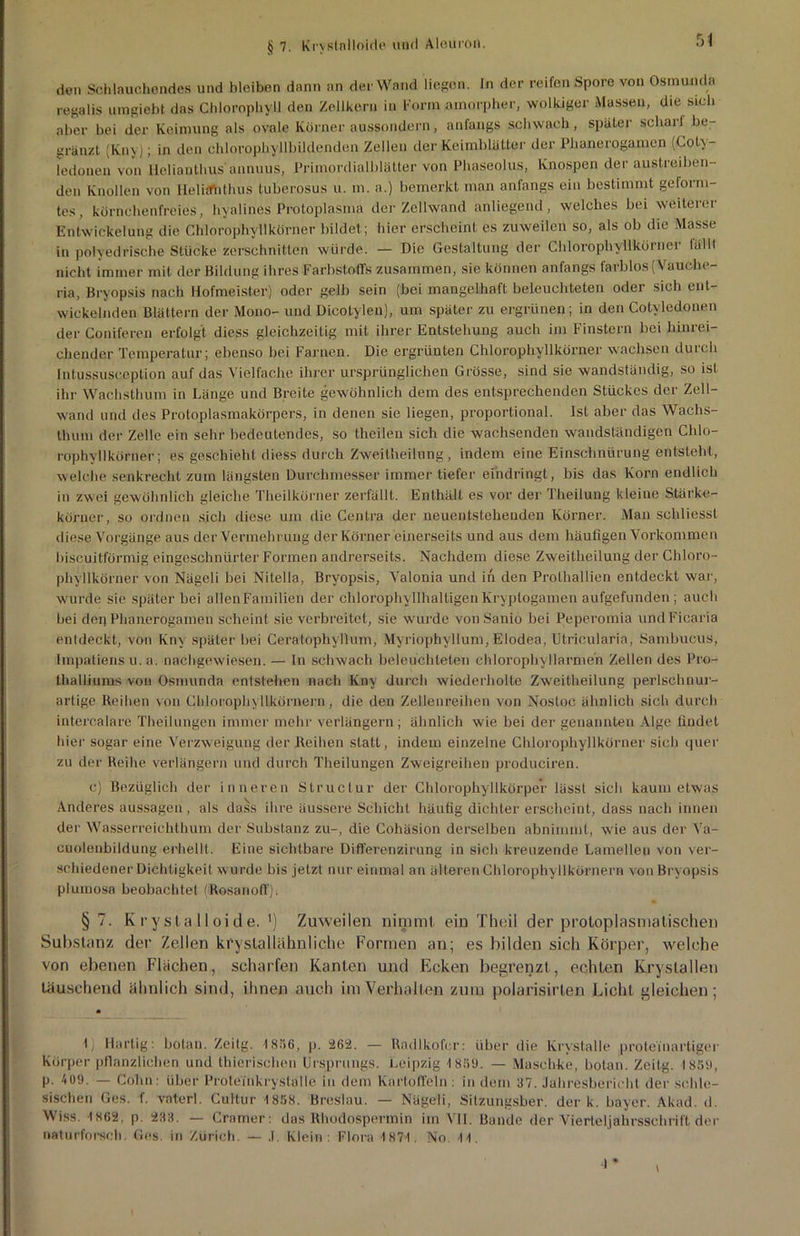 § 7. Krystnlloide und Aleuroi). den Schlauchendes und bleiben dann an der Wand liegen. In der reifen Spore von Osmunda regalis umgiebt das Chlorophyll den Zellkern in Form amorpher, wolkiger Massen, die sich aber hei der Keimung als ovale Körner aussondern, anfangs schwach, später scharl be- grenzt (Kny); in den chlorophyllbildenden Zellen der Keimblätter der Phanerogamen (Coty- ledonen von Helianthus annuus, Primordialblätter von Pbaseolus, Knospen der austreiben- den Knollen von Helitfhthus tuberosus u. m. a.) bemerkt man anfangs ein bestimmt geform- tes, körnchenfreies, hyalines Protoplasma der Zellwand anliegend, welches bei weiterer Entwickelung die Chlorophyllkörner bildet; hier erscheint es zuweilen so, als ob die Masse in polyedrische Stücke zerschnitten würde. — Die Gestaltung der Chlorophyllkörner lallt nicht immer mit der Bildung ihres Farbstoffs zusammen, sie können anfangs farblos (Vaucbe- ria, Brvopsis nach Hofmeister) oder gelb sein (bei mangelhaft beleuchteten oder sich ent- wickelnden Blättern der Mono- und Dieotyleu), um später zu ergrünen; in den Cotyledonen der Coniferen erfolgt diess gleichzeitig mit ihrer Entstehung auch im Finstern bei hinrei- chender Temperatur; ebenso bei Farnen. Die ergrünten Chlorophyllkörner wachsen durch Intussusception auf das Vielfache ihrer ursprünglichen Grösse, sind sie wandständig, so ist ihr Wachsthum in Länge und Breite gewöhnlich dem des entsprechenden Stückes der Zell- wand und des Protoplasmakörpers, in denen sie liegen, proportional. Ist aber das Wachs- thum der Zelle ein sehr bedeutendes, so theilen sich die wachsenden wandständigen Chlo- rophyllkörner; es geschieht diess durch Zweitheilung, indem eine Einschnürung entsteht, welche senkrecht zum längsten Durchmesser immer tiefer eindringt, bis das Korn endlich in zwei gewöhnlich gleiche Theilkürner zerlällt. Enthält es vor der Theilung kleine Stärke- körner, so ordnen sich diese um die Centra der neuentstehenden Körner. Man scliliesst diese Vorgänge aus der Vermehrung der Körner einerseits und aus dem häufigen Vorkommen biseuitförmig eingeschnürter Formen andrerseits. Nachdem diese Zweitbeilung der Chloro- phyllkörner von Nägeli bei Nitelia, Bryopsis, Valonia und in den Prolhallien entdeckt war, wurde sie später bei allenFamilien der chlorophyllhaltigen Kryptogamen aufgefunden; auch bei der) Phanerogamen scheint sie verbreitet, sie wurde von Sanio bei Peperomia undFicaria enldeckt, von Kny später bei Ceratophyllum, Myriophyllum, Elodea, Utricularia, Sambucus, Impaliens u. a. nachgewiesen. — ln schwach beleuchteten chlorophyllarmen Zellen des Pro- thalliums von Osmunda entstehen nach Kny durch wiederholte Zweitheilung perlschnur- arlige Reihen von Chlorophyllkörnern, die den Zellenreihen von Nostoc ähnlich sich durch intercalare Theilungen immer mehr verlängern; ähnlich wie hei der genannten Alge findet hier sogar eine Verzweigung der Reihen statt, indem einzelne Chlorophyllkörner sich quer zu der Reihe verlängern und durch Theilungen Zweigreihen produciren. c) Bezüglich der inneren Structur der Chlorophyllkörpe'r lässt sich kaum etwas Anderes aussagen , als dass ihre äussere Schicht häufig dichter erscheint, dass nach innen der Wasserreichthum der Substanz zu-, die Cohäsion derselben abnimmt, wie aus der Va- cuolenbildung erhellt. Eine sichtbare Differenzirung in sich kreuzende Lamellen von ver- schiedener Dichtigkeit wurde bis jetzt nur einmal an älteren Chlorophyllkörnern von Bry opsis plumosa beobachtet tRosanoff). § 7. Krystalloide. ') Zuweilen nimmt ein Theil der proloplasmatischen Substanz der Zellen kristallähnliche Formen an; es bilden sich Körper, welche von ebenen Flächen, scharfen Kanten und Ecken begrenzt, echten Kryslallen täuschend ähnlich sind, ihnen auch im Verhalten zum polarisirten Licht gleichen; 1, Hartig: botan. Zeitg. 1886, p. 262. — Radlkofer: über die Krystalle proteinartiger Körper pflanzlichen und thicrischen Ursprungs. Leipzig 18!>9. — Maselike, botan. Zeitg. 1859, p. 409. — Cohn: über Protein kry Stalle in dem Kartoffeln : in dem 37. Jahresbericht der schle- sischen Ges. f. vaterl. Cultur 1858. Breslau. — Nägeli, SitZungsber. der k. bayer. Akad. d. Wiss. 1862, p. 233. — Cramer: das Rhodospermin im VII. Rande der Vierleljahrssclirift der natupförsch. Ges. in Zürich. — ,1. Klein: Flora 1871. No. 11. \