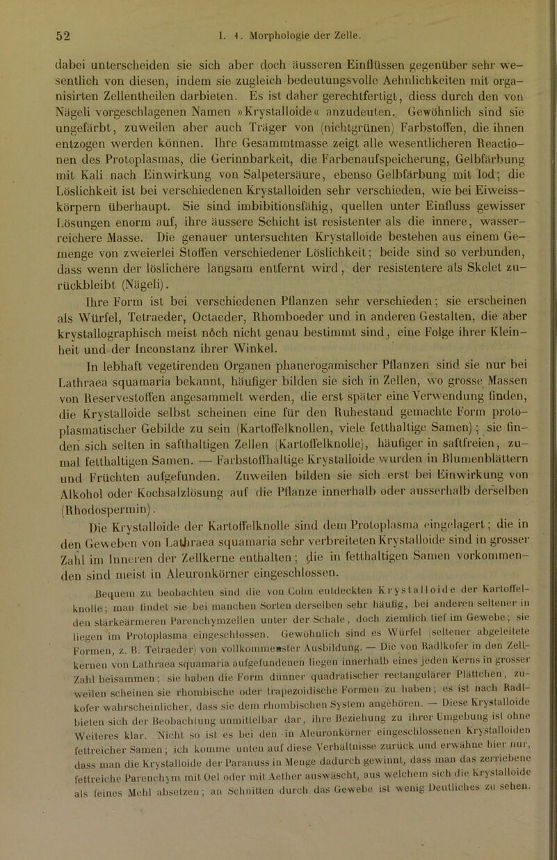 dabei unterscheiden sie sich aber doch äusseren Einflüssen gegenüber sehr we- sentlich von diesen, indem sie zugleich bedeutungsvolle Aehnlichkeiten mit orga- nisirten Zellentheilen darbieten. Es ist daher gerechtfertigt, diess durch den von Nägeli vorgeschlagenen Namen »Krystalloide« anzudeuten. Gewöhnlich sind sie ungefärbt, zuweilen aber auch Träger von (nichtgrünen) Farbstoffen, die ihnen entzogen werden können. Ihre Gesammtmasse zeigt alle wesentlicheren Reactio- nen des Protoplasmas, die Gerinnbarkeit, die Farbenaufspeicherung, Gelbfärbung mit Kali nach Einwirkung von Salpetersäure, ebenso Gelbfärbung mit lod; die Löslichkeit ist bei verschiedenen Kryslalloiden sehr verschieden, wie bei Eiweiss- körpern überhaupt. Sie sind imbibitionsfähig, quellen unter Einfluss gewisser Lösungen enorm auf, ihre äussere Schicht ist resistenter als die innere, wasser- reichere Masse. Die genauer untersuchten Krystalloide bestehen aus einem Ge- menge von zweierlei Stollen verschiedener Löslichkeit; beide sind so verbunden, dass wenn der löslichere langsam entfernt wird, der resistentere als Skelet zu- rückbleibt (Nägeli). Ihre Form ist bei verschiedenen Pflanzen sehr verschieden; sie erscheinen als Würfel, Tetraeder, Oclaeder, Rhomboeder und in anderen Gestalten, die aber kryslallographisch meist nöch nicht genau bestimmt sind, eine Folge ihrer Klein- heit und der Inconslanz ihrer Winkel. In lebhaft vegetirenden Organen phanerogamischer Pflanzen sind sie nur bei Lathraea squamaria bekannt, häufiger bilden sie sich in Zellen, wo grosse Massen von Reservestoffen angesammelt werden, die erst später eine Verwendung finden, die Krystalloide selbst scheinen eine für den Ruhestand gemachte Form prolo- plasmatischer Gebilde zu sein (Kartoffelknollen, viele fetthaltige Samen); sie fin- den sich selten in safthaltigen Zellen (Kartoffelknolle), häufiger in saftfreien, zu- mal fetthaltigen Samen. — Farbstoffhaltige Krystalloide wurden in Blumenblättern und Früchten aufgefunden. Zuweilen bilden sie sieh erst bei Einwirkung von Alkohol oder Kochsalzlösung auf die Pflanze innerhalb oder ausserhalb derselben (Rhodosperm in). Die Krystalloide der Karloffelknolle sind dem Protoplasma eingelagert; die in den Geweben von Lathraea squamaria sehr verbreiteten Krystalloide sind in grosser Zahl im Inneren der Zellkerne enthalten; (,iie in fetthaltigen Samen verkommen- den sind meist in Aleuronkörner eingeschlossen. Bequem zu beobachten sind die von Cohn entdeckten Krystalloide der Kartoffel- knolle; man liudel sie bei manchen Sorten derselben sehr häufig, bei anderen seltener in den stärkearmeren Parenchymzellen unter der Schale, doch ziemlich tiet im Gewebe, sie liegen im Protoplasma eingeschlossen. Gewöhnlich sind es Würfel seltener abgeleitete Formen, z. B. Tetraeder) von vollkommenster Ausbildung. — Die von Radlkofer in den Zell- kernen von Lathraea squamaria aufgefundenen liegen innerhalb eines jeden Kerns in grossei Zahl beisammen; sie haben die Form dünner quadratischer rectangulärer Plättchen, zu- weilen scheinen sie rhombische oder trapezoidische Formen zu haben; es ist nach Radl- kofer wahrscheinlicher, dass sie dem rhombischen System angehören. - Diese Krystalloide bieten sich der Beobachtung unmittelbar dar, ihre Beziehung zu ihrer Umgebung ist ohne Weiteres klar. Nicht so ist es bei den in Aleuronkörner eingeschlossenen Krystalloiden fettreicher Samen ; ich komme unten auf diese Verhältnisse zurück und erwähne hier nur, dass man die Krystalloide der Paranuss in Menge dadurch gewinnt, dass man das zerriebene fettreiche Parenchym mit Del oder mit Aether auswäscht, aus welchem sich die Krystalloide als feines Mehl absetzen; an Schnitten durch das Gewebe ist wenig Deutliches zu sehen.