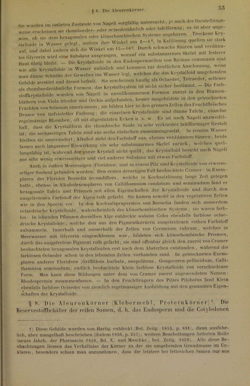 Sie wurden im isolirten Zustande von Nägeli sorgfältig untersucht; je nach der Darstellung*- X r sie dl hexagonalen öden tlinm-homblschen Systcnae »„gehören. Trockene Key- shllöide in Wasser gelegt, ändern ihre Winkel um 2-3 0, in Kalilösung quellen s.e sta.k ‘,uf und daj)ei ändern sich die Winkel um 15-16«. Durch schwache Säuren und verdünn- tes Glycerin wird ein« Substanz ausgezogen, worauf ein substanzarmes Skelet mit festerer HaUt libri bleibt. - Die Krystalloide in den Endospermzellen von Ricinus communis sind wie alle Krystalloide in Wasser unlöslich und kommen zur deutlichen Anschauung wenn man dünne Schnitte der Gewebes ins Wasser legt, welches die das Krystalloid umgebenden Gebilde zerstört und dieses befreit. Sie erscheinen häufig als Octacder, Tetraeder, selten a als rhomboederähnliche Formen, das Krystallsystem ist nicht sicher bestimmt. - Die la.b- stolTkrystalloide wurden von Nägeli in unvollkommenen Formen zuerst in den Blumen- blättern von Viola tricolor und Orchis aufgefunden, besser ausgebildete in den ge rockneten Früchten von Solanum americanum; sie bilden hier in den grossen Zellen des Fruchtfleisches Drusen von tiefvioletter Färbung ; die einzelnen Krystalloide sind dünne Tafeln , einzelne regelmässige Rhomben, oft mit abgestutzten Ecken u. s. w. Es ist nach Nägeli unzweifel- haft, dass die Krystallform die rhombische Säule in sehr verkürzter tafelförmiger Gestalt ist die sechsseitigen Tafeln sind aus sechs einfachen zusammengesetzt. In reinem Wasser bleiben sie unverändert ; Alkohol zieht den Farbstoff aus, ebenso verdünntere Säuren ; beide lassen nach langsamer Einwirkung ein sehr substanzarmes Skelet zurück, welches quel lungsfähig ist, während der ganze Krystall nicht quillt; das Krystalloid besteht nach Nägel, aus sehr wenig eiweissartiger und viel anderer Substanz mit etwas Farbstoff. Auch in rothen Meeresalgen (Florideen) und in einem Pilz sind Krystalloide von eiweiss- artiger Sustanz gefunden worden. Den ersten derartigen Fall beobachtete Cramer: in Exem- plaren der Floridee Bornetia secundiflora , welche in Kochsalzlösung lange Zeit gelegen hatte, ebenso in Alkoholexemplaren von Callithamnion caudatum und seminudum fand er hexagonale Tafeln und Prismen mit allen Eigenschaften der Krystalloide und durch den ausgetretenen Farbstoff der Algen roth gefärbt. Sie kamen sowohl in den vegetativen Zellen wie in den Sporen vor. ln den Kochsalzpräparaten von Bornetia fanden sich ausserdem octaedrisqhe Krystalloide, wahrscheinlich des klinorhombischen Systems; sie waren farb- los. ln lebenden Pflanzen derselben Alge entdeckte sodanri Cohn ebenfalls farblose octae- drische Krystalloide, welche den aus den Pigmentkörnern ausgetretenen rothen Farbstoff aufsammeln. Innerhalb und ausserhalb der Zellen von Ceramium rubrum, welches in Meerwasser mit Glycerin eingeschlossen war, bildeten sich klinorhombische Prismen, durch das ausgetretene Pigment roth gefärbt; sie sind offenbar gleich den zuerst von Cramer beobachteten hexagonalen Ivrystalloiden erst nach dem Absterben entstanden , während die farblosen Octaeder schon in den lebenden Zellen vorhanden sind. In getrockneten Exem- plaren ariderer Florideen (Griffilhsia barbata, neapolitana , Gongoceros pellucidum, Calli- thamniou seminudum) endlich beobachtete Klein farblose Krystalloide von verschiedener Form. Man kann diese Bildungen unter dem von Cramer zuerst angewendeten Namen: Rhodospermin zusammenfassen. — ln den Fruchtträgern des Pilzes Pilobolus fand Klein ebenfalls farblose Octaeder von ziemlich regelmässiger Ausbildung mit den genannten Eigen- schaften der Krystalloide. § 8. Die Aleuronkörner (Klebermehl, Proteink örner) >. Die Reservestoflbehaller der reifen Samen, d. h. das Endosperm und die Colyledonen 1) Diese Gebilde wurden von Hartig entdeckt (Bot. Zeitg. 1855, p. 881), dann ausführ- lich, aber mangelhaft beschrieben (ibidem 1856, p. 257); weitere Bearbeitungen lieferten Holle (neues .lahrb. der Pharmacie 1858, Bd. X) und Maschke, bol. Zeitg. 1859). Alle diese Be- obachtungen Hessen das Verhältniss der Körner zu der sie umgebenden Grundmasse im Un- klaren, besonders schien man anzunehmen, dass die letztere bei fettreichen Samen nur aus