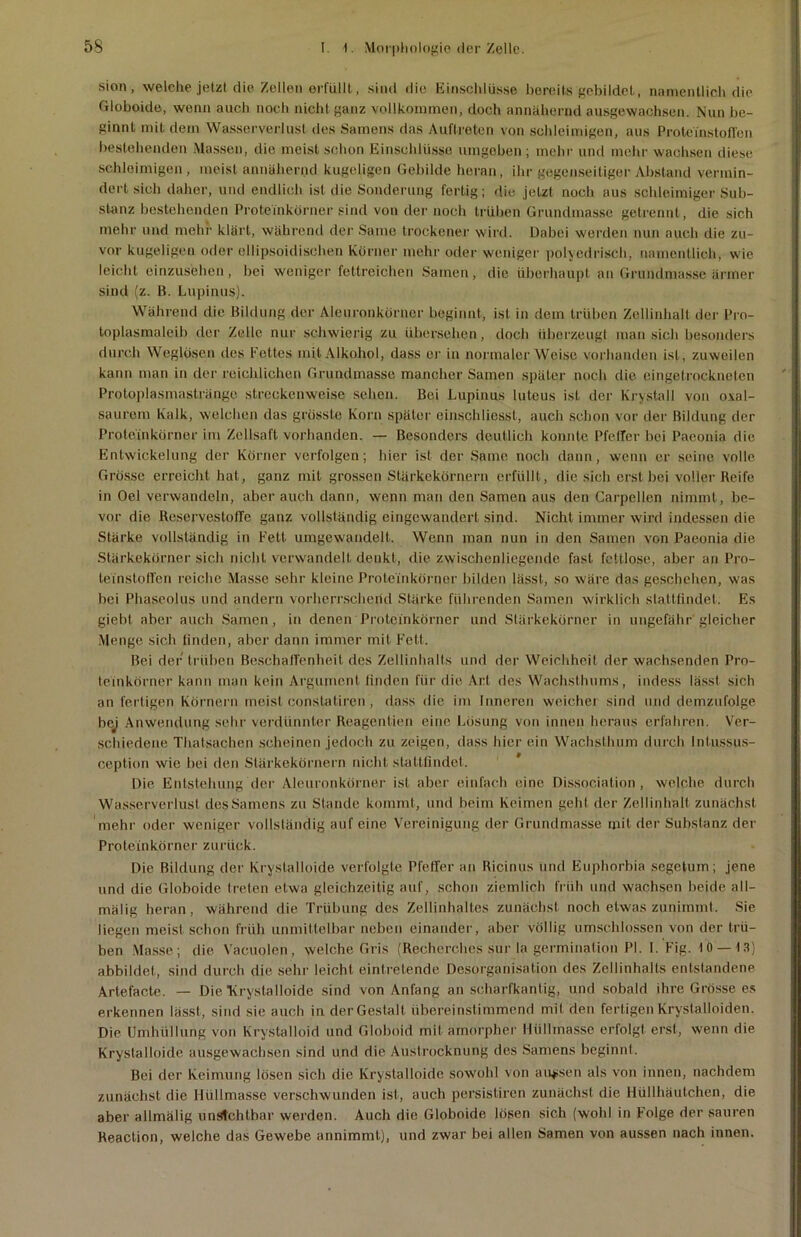 sion, welche jetzt die Zellen erfüllt, sind die Einschlüsse bereits gebildet, namentlich die Globoide, wenn auch noch nicht ganz vollkommen, doch annähernd ausgewachsen. Nun be- ginnt mit dem Wasserverlust des Samens das Auftreten von schleimigen, aus Proteinstoffen bestehenden Massen, die meist schon Einschlüsse umgeben ; mehr und mehr wachsen diese schleimigen , meist annähernd kugeligen Gebilde heran, ihr gegenseitiger Abstand vermin- dertsich daher, und endlich ist die Sonderung fertig; die jetzt noch aus schleimiger Sub- stanz bestehenden Proteinkörner sind von der noch trüben Grundmasse getrennt, die sich mehr und mehr klärt, während der Same trockener wird. Dabei werden nun auch die zu- vor kugeligen oder ollipsoidisohen Körner mehr oder weniger polyedrisch, namentlich, wie leicht einzusehen, bei weniger fettreichen Samen, die überhaupt an Grundmasse ärmer sind (z. ß. Lupinus). Während die Bildung der Alcuronkürncr beginnt, ist in dem trüben Zellinhalt der Pro- toplasmaleib der Zelle nur schwierig zu übersehen, doch überzeugt man sich besonders durch Weglüsen des Fettes mit Alkohol, dass er in normaler Weise vorhanden ist, zuweilen kann man in der reichlichen Grundmasse mancher Samen später noch die eingetrockneten Protoplasmastränge streckenweise sehen. Bei Lupinus luteus ist der Krystall von oxal- saurcm Kalk, welchen das grösste Korn später einschliesst, auch schon vor der Bildung der Proteinkörner im Zellsaft vorhanden. — Besonders deutlich konnte Pfeffer bei Paeonia die Entwickelung der Körner verfolgen; hier ist der Same noch dann, wenn er seine volle Grösse erreicht hat, ganz mit grossen Stärkekörnern erfüllt, die sich erst bei voller Reife in Oel verwandeln, aber auch dann, wenn man den Samen aus den Carpellen nimmt, be- vor die Reservestoffe ganz vollständig eingewandert sind. Nicht immer wird indessen die Stärke vollständig in Fett umgewandelt. Wenn man nun in den Samen von Paeonia die Stärkekörner sich nicht verwandelt denkt, die zwischenliegende fast fettlose, aber an Pro- teinstoffen reiche Masse sehr kleine Proteinkörner bilden lässt, so wäre das geschehen, was hei Phaseolus und andern vorherrschend Stärke führenden Samen wirklich stattfindet. Es giebt aber auch Samen, in denen Proteinkörner und Stärkekörner in ungefähr gleicher Menge sich finden, aber dann immer mit Fett. Bei der trüben Beschaffenheit des Zellinhalts und der Weichheit der wachsenden Pro- teinkörner kann man kein Argument finden für die Art des Wachsthums, indess lässt sich an fertigen Körnern meist constatiren , dass die im Inneren weicher sind und demzufolge bej Anwendung sehr verdünnter Reagenlien eine Lösung von innen heraus erfahren. Ver- schiedene Thalsachen scheinen jedoch zu zeigen, dass hier ein Wachsthum durch Intussus- ception wie bei den Stärkekörnern nicht stattfindet. Die Entstehung der Aleuronkürner ist aber einfach eine Dissociation , welche durch Wasserverlust des Samens zu Stande kommt, und beim Keimen gehl der Zellinhalt zunächst mehr oder weniger vollständig auf eine Vereinigung der Grundmasse mit der Substanz der Proteinkörner zurück. Die Bildung der Krystalloide verfolgte Pfeffer an Ricinus und Euphorbia segetum; jene und die Globoide treten etwa gleichzeitig auf, schon ziemlich früh und wachsen beide all- mälig heran, während die Trübung des Zellinhaltes zunächst noch etwas zunimmt. Sie liegen meist schon früh unmittelbar neben einander, aber völlig umschlossen von der trü- ben Masse ; die Vacuolen, welche Gris (Recherches sur la germination PL I. Fig. 10 — 13) abbildet, sind durch die sehr leicht eintretende Desorganisation des Zellinhalts entstandene Artefacte. — Die Krystalloide sind von Anfang an scharfkantig, und sobald ihre Grösse es erkennen lässt, sind sie auch in der Gestalt übereinstimmend mit den fertigen Krystalloiden. Die Umhüllung von Krystalloid und Globoid mit amorpher Hüllmasse erfolgt erst, wenn die Krystalloide ausgewachsen sind und die Austrocknung des Samens beginnt. Bei der Keimung lösen sich die Krystalloide sowohl von aussen als von innen, nachdem zunächst die Hüllmasse verschwunden ist, auch persistiren zunächst die Hüllhäutchen, die aber allmälig unsichtbar werden. Auch die Globoide lösen sich (wohl in F'olge der sauren Reaction, welche das Gewebe annimmt), und zwar bei allen Samen von aussen nach innen.