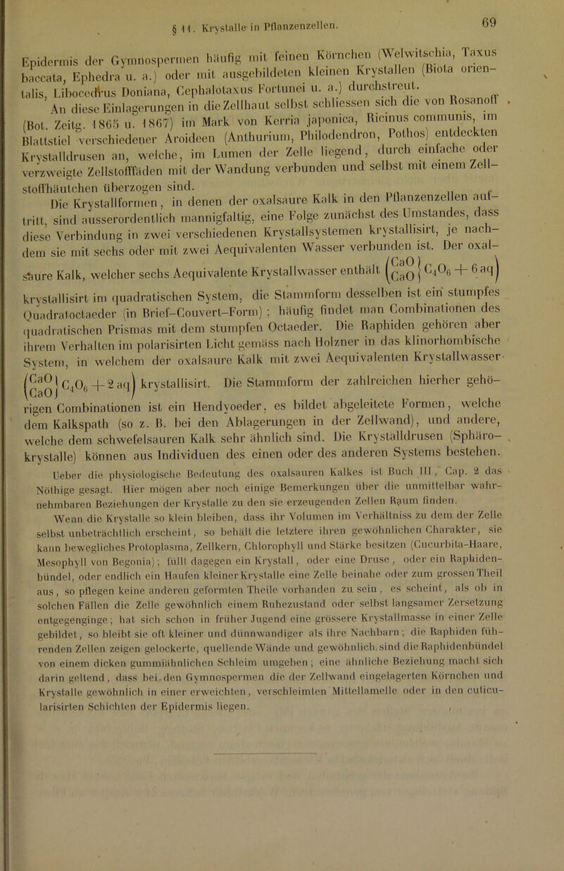 Epidermis der Gymnospermen häufig mit leinen Körnchen (Welwitschin, Taxus baccata, Ephedra u. a.) oder mit ausgebildeten kleinen Krystallen (Biola onen talis, LibocedVus Doniana, Cephalotaxus Fortunei u. a.) durchstreuL. An diese Einlagerungen in die Zellhaut selbst schlicssen sich die von Bosanoll (Bot. Zeile. 1865 u. 1867) im Mark von Kerria japonica, Ricinus communis im Blattstiel 'verschiedener Aroideen (Anlhurium, Philodendron, Pothos) entdeckten Krystalldrusen an, welche, im Lumen der Zelle liegend, durch einfache oder verzweigte Zellstofffäden mit der Wandung verbunden und selbst mit einem Zell stoffhäutchen überzogen sind. Die Krystallformen, in denen der oxalsaure Kalk in den I flanzenzellen au tritt sind ausserordentlich mannigfaltig, eine Folge zunächst des Umstandes, dass diese Verbindung in zwei \ uico(_. ... erschiedenen Krystallsystemen krystallisirt, je nach dem sie mit sechs oder mit zwei Aequivalenten Wasser verbunden ist. Der Oxal- säure Kalk, welcher sechs Aequivalente Krystallwasser enthält } C406 + 6aq| krystallisirt im quadratischen System, die Stammlorm desselben ist ein stumpfes Quadratoclaeder (in Brief-Couvert-Form) ; häufig findet man Combinalionen des quadratischen Prismas mit dem stumpfen Octaeder. Die Raphiden gehören aber ihrem Verhalten im polarisirten Licht gemäss nach Holzner in das klinorhombische System, in welchem der oxalsaure Kalk mit zwei Aequivalenten Kryslallwasser (^jCA+2aq) krystallisirt. Die Stammform der zahlreichen hierher gehö- rigen Combinalionen ist ein Hendyoeder. es bildet abgeleitete formen, welche dem Kalkspath (so z. B. bei den Ablagerungen in der Zellwand), und andere, welche dem schwefelsauren Kalk sehr ähnlich sind. Die Krystalldrusen (Sphäro- krystalle) können aus Individuen des einen oder des anderen Systems bestehen. Ueber die physiologische Bedeutung des oxalsauren Kalkes ist Buch III, Cap. 2 das Nöthige gesagt. Hier mögen aber noch einige Bemerkungen über die unmittelbar wahr- nehmbaren Beziehungen der Krystalle zu den sie erzeugenden Zellen Raum finden. Wenn die Krystalle so klein bleiben, dass ihr Volumen im Verhältniss zu dem der Zelle selbst unbeträchtlich erscheint, so behält die letztere ihren gewöhnlichen Charakter, sie kann bewegliches Protoplasma, Zellkern, Chlorophyll und Stärke besitzen (Cucurbita-Haare, Mesophyll von Begonia); füllt dagegen ein Krystall, oder eine Druse, oder ein Raphiden- bündel, oder endlich ein Haufen kleiner Krystalle eine Zelle beinahe oder zum grossen Theil aus, so pflegen keine anderen geformten Theile vorhanden zu sein, es scheint, als ob in solchen Fällen die Zelle gewöhnlich einem Ruhezustand oder selbst langsamer Zersetzung entgegenginge; hat sich schon in früher Jugend eine grössere Krystallmasse in einer Zelle gebildet, so bleibt sie. oft kleiner und dünnwandiger als ihre Nachbarn; die Rapbiden füh- renden Zellen zeigen gelockerte, quellende Wände und gewöhnlich, sind die Raphidenhündel von einem dicken gummiähnlichen Schleim umgeben; eine ähnliche Beziehung macht sich darin geltend, dass bei den Gymnospermen die der Zellwand eingelagerten Körnchen und Krystalle. gewöhnlich in einer erweichten, verschleimten Mittellamelle oder in den cuticu- larisirten Schichten der Epidermis liegen. ,