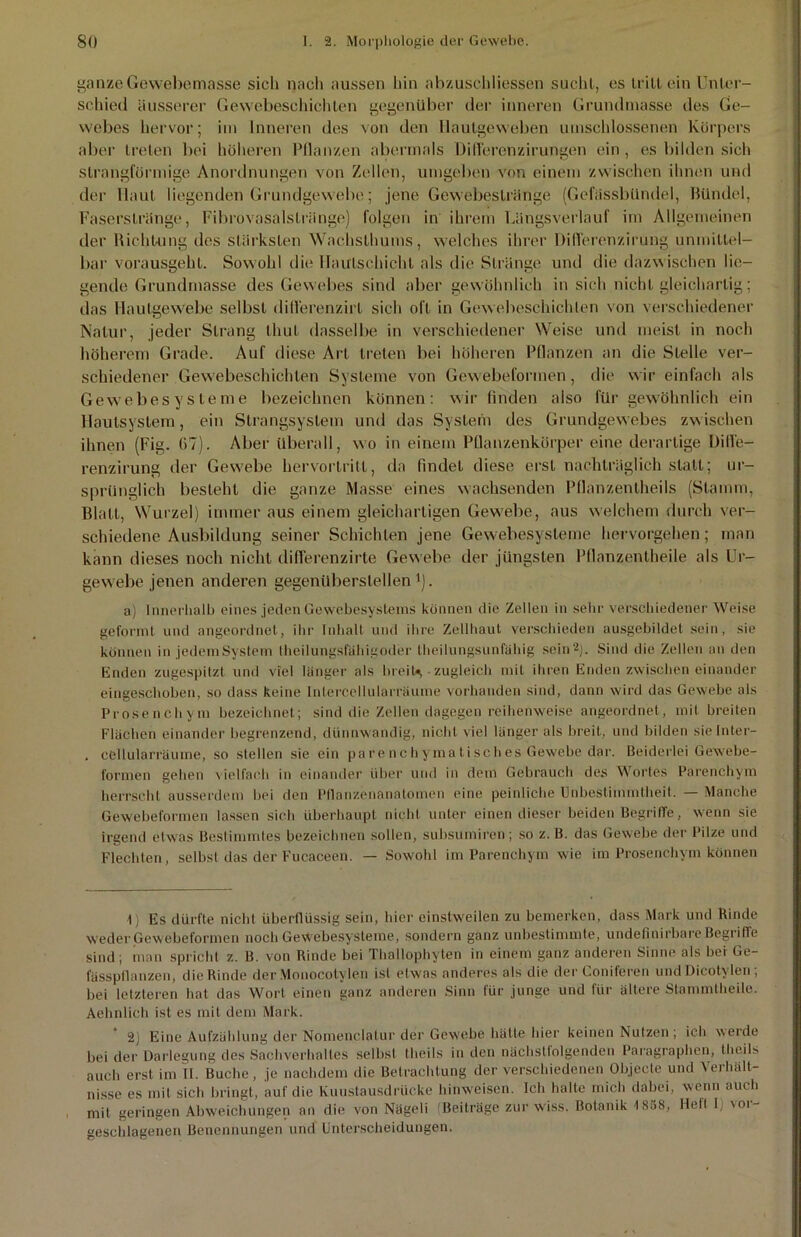 ganze Gewebemasse sich nach aussen hin abzuschliessen sucht, es tritt ein Unter- schied äusserer Gewebeschichten gegenüber der inneren Grundmasse des Ge- webes hervor; im Inneren des von den llaulgeweben umschlossenen Körpers aber treten bei höheren Pflanzen abermals Differenzirungen ein, es bilden sich strangförmige Anordnungen von Zellen, umgeben von einem zwischen ihnen und dei- Haut liegenden Grundgewebe; jene Gewebeslränge (Gefässbündel, Bündel, Faserstränge, Fibrovasalslränge) folgen in ihrem Längsverlauf im Allgemeinen der Richtung des stärksten Wachsthums, welches ihrer Diderenzirung unmittel- bar vorausgeht. Sowohl die Hautschicht als die Stränge und die dazw ischen lie- gende Grundmasse des Gewebes sind aber gewöhnlich in sich nicht gleichartig; das HautgeWebe selbst dillerenzirt sich oft in Gewebeschichten von verschiedener Natur, jeder Strang thut dasselbe in verschiedener Weise und meist in noch höherem Grade. Auf diese Art treten bei höheren Pflanzen an die Stelle ver- schiedener Gewebeschiehlen Systeme von Gewebeformen, die wir einfach als Gewebesysteme bezeichnen können: wir finden also für gewöhnlich ein Hautsystem, ein Slrangsyslem und das System des Grundgewebes zw ischen ihnen (Fig. G7). Aber überall, wo in einem Pflanzenkörper eine derartige Dille— renzirung der Gewebe hervortritt, da findet diese erst nachträglich statt; ur- sprünglich besteht die ganze Masse eines wachsenden Pflanzentheils (Stamm, Blatt, Wurzel) immer aus einem gleichartigen Gewebe, aus welchem durch ver- schiedene Ausbildung seiner Schichten jene Gewebesysteme hervorgehen; man kann dieses noch nicht diflerenzirte Gewebe der jüngsten Pflanzentheile als Ur- gewebe jenen anderen gegenüberslellen '). a) Innerhalb eines jeden Gewebesystems können die Zellen in sehr verschiedener Weise geformt und angeordnet, ihr Inhalt und ihre Zellhaut verschieden ausgebildet sein, sie können in jedem System theilungsfähigoder theilungsunfahig sein 2). Sind die Zellen an den Enden zugespitzt und viel länger als breit* *, - zugleich mit ihren Enden zwischen einander eingeschoben, so dass keine Intercellularräume vorhanden sind, dann wird das Gewebe als Prosenchym bezeichnet; sind die Zellen dagegen reihenweise angeordnet, mit breiten Flächen einander begrenzend, dünnwandig, nicht viel länger als breit, und bilden sielnter- , cellularräume, so stellen sie ein pa re n c h yma t i sc h es Gewebe dar. Beiderlei Gewebe- formen gehen vielfach in einander über und in dem Gebrauch des Wortes Parenchym herrscht ausserdem bei den Pflanzenanatomen eine peinliche Unbestimmtheit. — Manche Gewebeformen lassen sich überhaupt nicht unter einen dieser beiden Begriffe, wenn sie irgend etwas Bestimmtes bezeichnen sollen, subsumiren; so z. B. das Gewebe der Pilze und Flechten, selbst das der Fucaceen. — Sowohl im Parenchym wie im Prosenchym können i) Es dürfte nicht überflüssig sein, hier einstweilen zu bemerken, dass Mark und Rinde weder Gewebeformen noch Gewebesysteme, sondern ganz unbestimmte, undefinirbare Begriffe sind; man spricht z. B. von Rinde bei Thallophyten in einem ganz anderen Sinne als bei Ge- fässpllanzen, die Rinde der Monocotylen ist etwas anderes als die der Coniferen und Dicotylcn ; bei letzteren hat das Wort einen ganz anderen Sinn für junge und für ältere Stammtheile. Aehnlich ist es mit dem Mark. * 2) Eine Aufzählung der Nomenclatur der Gewebe hätte hier keinen Nutzen ; ich werde bei der Darlegung des Sachverhaltes selbst theils in den nächstfolgenden Paragraphen, theils auch erst im II. Buche, je nachdem die Betrachtung der verschiedenen Objecte und Verhält- nisse es mit sich bringt, auf die Kuustausdrücke hinweisen. Ich halte mich dabei, wenn auch mit geringen Abweichungen an die von Nägeli (Beiträge zur wiss. Botanik 18a8, Heft 1, voi- geschlagenen Benennungen und Unterscheidungen.