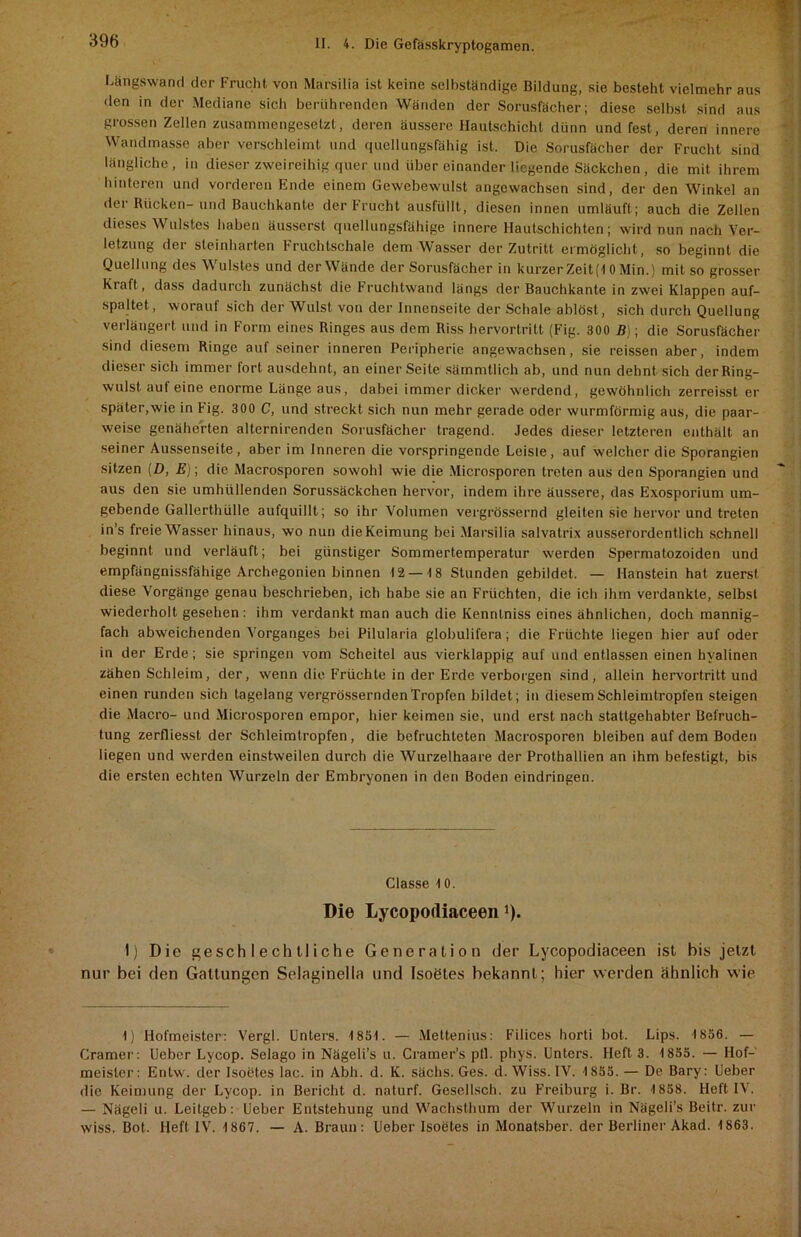 Längswand der Frucht von Marsilia ist keine selbständige Bildung, sie besteht vielmehr aus den in der Mediane sicli berührenden Wänden der Sorusfächer; diese selbst sind aus grossen Zellen zusammengesetzt, deren äussere Hautschicht dünn und fest, deren innere Wandmasse aber verschleimt und quellungsfähig ist. Die Sorusfächer der Frucht sind längliche, in dieser zweireihig quer und über einander liegende Säckchen , die mit ihrem hinteren und vorderen Ende einem Gewebewulst angewachsen sind, der den Winkel an der Rücken- und Bauchkante der Frucht ausfüllt, diesen innen umläuft; auch die Zellen dieses Wulstes haben äusserst quellungsfähige innere Hautschichten; wird nun nach Ver- letzung der steinharten Fruchtschale dem Wasser der Zutritt ermöglicht, so beginnt die Quellung des Wulstes und der Wände der Sorusfächer in kurzer Zeit (10 Min.) mit so grosser Kraft, dass dadurch zunächst die Fruchtwand längs der Bauchkante in zwei Klappen auf- spaltet, worauf sich der Wulst von der Innenseite der Schale ablöst, sich durch Quellung verlängert und in Form eines Ringes aus dem Riss hervortritt (Fig. 300 B); die Sorusfächer sind diesem Ringe auf seiner inneren Peripherie angewachsen, sie reissen aber, indem dieser sich immer fort ausdehnt, an einer Seite sämmtlich ab, und nun dehnt sich derRing- wulst aut eine enorme Länge aus, dabei immer dicker werdend, gewöhnlich zerreisst er später,wie in Fig. 300 C, und streckt sich nun mehr gerade oder wurmförmig aus, die paar- weise genäherten altcrnirenden Sorusfächer tragend. Jedes dieser letzteren enthält an seiner Aussenseite, aber im Inneren die vorspringende Leiste, auf welcher die Sporangien sitzen [D, E); die Macrosporen sowohl wie die Microsporen treten aus den Sporangien und aus den sie umhüllenden Sorussäckchen hervor, indem ihre äussere, das Exosporium um- gebende Gallerthülle aufquillt; so ihr Volumen vergrössernd gleiten sie hervor und treten in’s freie Wasser hinaus, wo nun die Keimung bei Marsilia salvatrix ausserordentlich schnell beginnt und verläuft; bei günstiger Sommertemperatur werden Spermatozoiden und empfängnissfähige Archegonien binnen 12—18 Stunden gebildet. — Hanstein hat zuerst diese Vorgänge genau beschrieben, ich habe sie an Früchten, die ich ihm verdankte, selbst wiederholt gesehen: ihm verdankt man auch die Kennlniss eines ähnlichen, doch mannig- fach abweichenden Vorganges bei Pilularia globulifera; die Früchte liegen hier auf oder in der Erde; sie springen vom Scheitel aus vierklappig auf und entlassen einen hyalinen zähen Schleim, der, wenn die Früchte in der Erde verborgen sind, allein hervortritt und einen runden sich tagelang vergrössernden Tropfen bildet; in diesem Schleimtropfen steigen die Macro- und Microsporen empor, hier keimen sie, und erst nach stattgehabter Befruch- tung zerfliesst der Schleimtropfen, die befruchteten Macrosporen bleiben auf dem Boden liegen und werden einstweilen durch die Wurzelhaare der Prothallien an ihm befestigt, bis die ersten echten Wurzeln der Embryonen in den Boden eindringen. Classe 1 0. Die Lycopodiaceen !). 1) Die geschlechtliche Generation der Lycopodiaceen ist bis jetzt nur bei den Gattungen Selaginella und Isoetes bekannt; hier werden ähnlich wie 1) Hofmeister: Vergl. Unters. 1851. — Mettenius: Filices horti bot. Lips. 1856. — Gramer: Ueber Lycop. Selago in Nägeli’s u. Cramer’s pll. phys. Unters, lieft 3. 1855. — Hof- meister: Eritw. der Isoetes lac. in Abh. d. K. sächs. Ges. d. Wiss. IV. 1855. — De Bary: Ueber die Keimung der Lycop. in Bericht d. naturf. Gesellsch. zu Freiburg i. Br. 1858. Heft IV. — Nägeli u. Leitgeb: Ueber Entstehung und Wachsthum der Wurzeln in Nägeli’s Beitr. zur wiss. Bot. Heft IV. 1867. — A. Braun: Ueber Isoetes in Monatsber. der Berliner Akad. 1863.