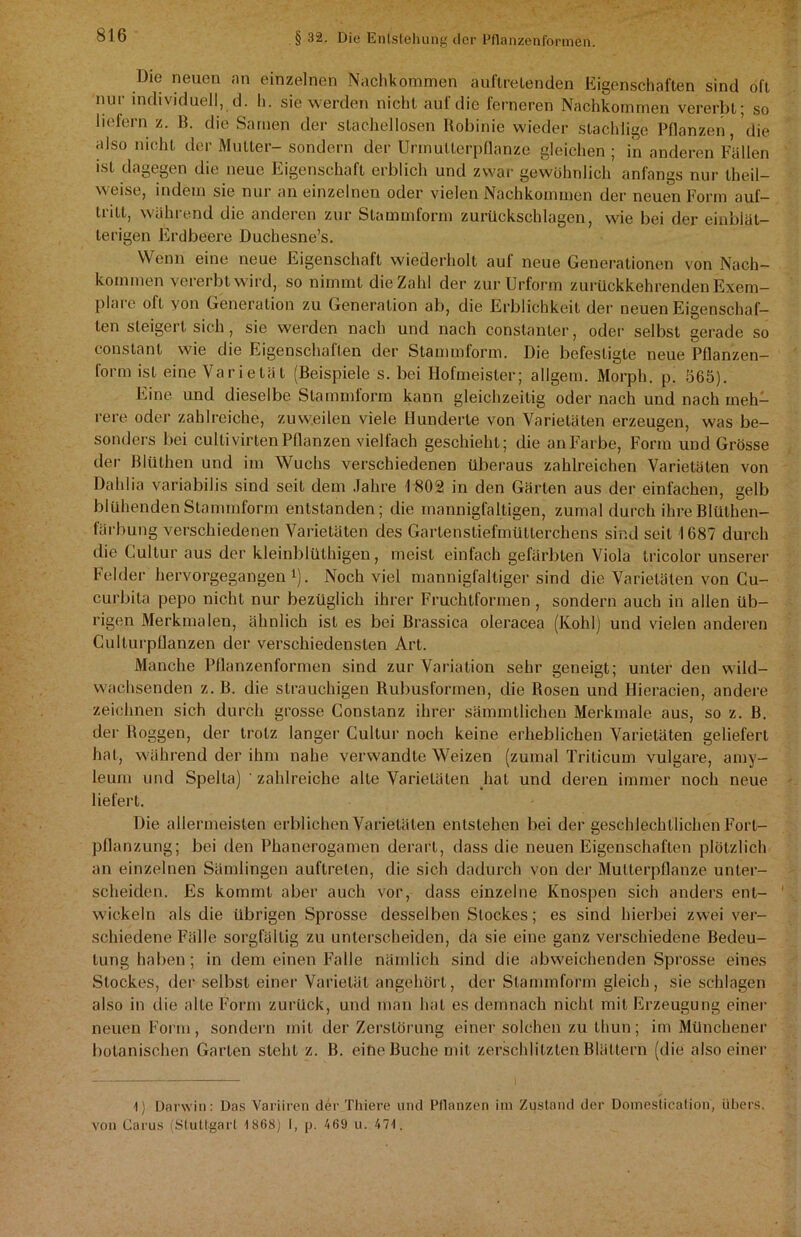 Die neuen an einzelnen Nachkommen auftretenden Eigenschaften sind oft nur individuell, d. h. sie werden nicht auf die ferneren Nachkommen vererbt; so liefern z. B. die Samen der stachellosen Robinie wieder stachlige Pflanzen, die also nicht der Mutter- sondern der Urmullerpflanze gleichen ; in anderen Fällen ist dagegen die neue Eigenschaft erblich und zwar gewöhnlich anfangs nur theil- weise, indem sie nur an einzelnen oder vielen Nachkommen der neuen Form auf- tritt, während die anderen zur Stammform Zurückschlagen, wie bei der einblät- terigen Erdbeere Duchesne’s. Wenn eine neue Eigenschaft wiederholt auf neue Generationen von Nach- kommen vererbt wird, so nimmt die Zahl der zur Urform zurückkehrenden Exem- plare oft von Generation zu Generation ab, die Erblichkeit der neuen Eigenschaf- ten steigert sich, sie werden nach und nach constanter, oder selbst gerade so constant wie die Eigenschaften der Stammform. Die befestigte neue Pflanzen- form ist eine Varietät (Beispiele s. bei Hofmeister; allgem. Morph, p. 565). Eine und dieselbe Stammform kann gleichzeitig oder nach und nach meh- rere oder zahlreiche, zuweilen viele Hunderte von Varietäten erzeugen, was be- sonders bei cultivirten Pflanzen vielfach geschieht; die an Farbe, Form und Grösse der Blüthen und im Wuchs verschiedenen überaus zahlreichen Varietäten von Dahlia variabilis sind seit dem Jahre 1 802 in den Gärten aus der einfachen, gelb blühenden Stammform entstanden; die mannigfaltigen, zumal durch ihre Blülhen- färbung verschiedenen Varietäten des Gartenstiefmüllerchens sind seit 1687 durch die Cultur aus der kleinblüthigen, meist einfach gefärbten Viola Iricolor unserer Felder hervorgegangen1). Noch viel mannigfaltiger sind die Varietäten von Cu- curbita pepo nicht nur bezüglich ihrer Fruchtformen , sondern auch in allen üb- rigen Merkmalen, ähnlich ist es bei Brassica oleracea (Kohl) und vielen anderen Culturpflanzen der verschiedensten Art. Manche Pflanzenformen sind zur Variation sehr geneigt; unter den wild- wachsenden z. B. die strauchigen Rubusfonnen, die Rosen und Ilieracien, andere zeichnen sich durch grosse Constanz ihrer sämmtlichen Merkmale aus, so z. B. der Roggen, der trotz langer Cultur noch keine erheblichen Varietäten geliefert hat, während der ihm nahe verwandte Weizen (zumal Triticum vulgare, amy- leum und Spelta) ' zahlreiche alte Varietäten hat und deren immer noch neue liefert. Die allermeisten erblichen Varietäten entstehen bei der geschlechtlichen Fort- pflanzung; bei den Phanerogamen derart, dass die neuen Eigenschaften plötzlich an einzelnen Sämlingen auftrelen, die sich dadurch von der Mutterpflanze unter- scheiden. Es kommt aber auch vor, dass einzelne Knospen sich anders ent- wickeln als die übrigen Sprosse desselben Stockes; es sind hierbei zwei ver- schiedene Fälle sorgfältig zu unterscheiden, da sie eine ganz verschiedene Bedeu- tung haben; in dem einen Falle nämlich sind die abweichenden Sprosse eines Stockes, der selbst einer Varietät angehört, der Stammform gleich, sie schlagen also in die alte Form zurück, und man hat es demnach nicht mit Erzeugung einer neuen Form, sondern mit der Zerstörung einer solchen zu lliun; im Münchener botanischen Garten steht z. B. eine Buche mit zerschlitzten Blättern (die also einer 1) Darwin: Das Variiren der Thiere und Pflanzen im Zustand der Domestication, tibers. von Carus (Stuttgart 1868) I, p. 469 u. 47t.