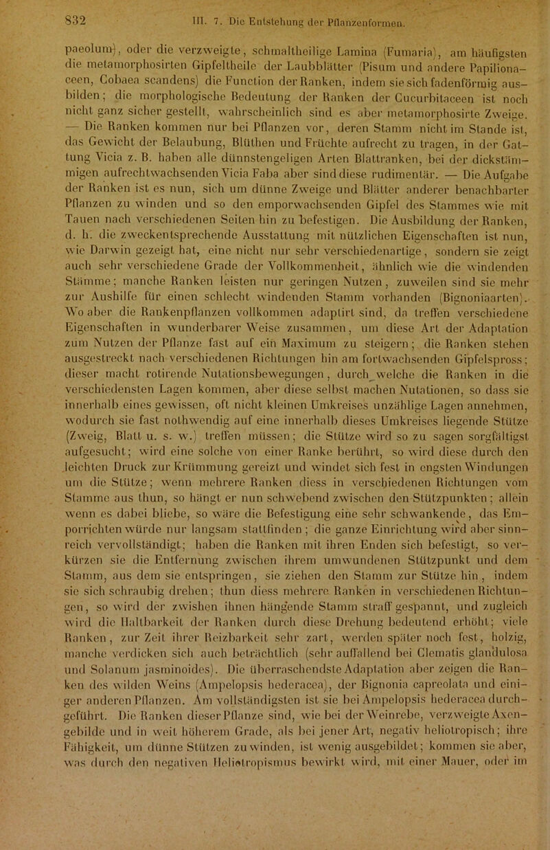 paeolum), oder die verzweigte, schmaltheilige Lamina (Fumaria), am häufigsten die metamorphpsirten Gipfeltheile der Laubblätter (Pisum und andere Papiliona- ceen, Cobaea scandens) die Function der Ranken, indem sie sich fadenförmig aus- bilden; die morphologische Bedeutung der Ranken der Cucurbitaceen ist noch nicht ganz sicher gestellt, wahrscheinlich sind es aber metamorphosirte Zweige. — Die Ranken kommen nur bei Pflanzen vor, deren Stamm nicht im Stande ist, das Gewicht der Belaubung, Blüthen und Früchte aufrecht zu tragen, in der Gat- tung Yicia z. B. haben alle dünnstengeligen Arten Blattranken, bei der dickstäm- migen aufrechlwachsenden Vicia Faba aber sind diese rudimentär. — Die Aufgabe der Ranken ist es nun, sich um dünne Zweige und Blätter anderer benachbarter Pflanzen zu winden und so den emporwachsenden Gipfel des Stammes wie mit Tauen nach verschiedenen Seiten hin zu befestigen. Die Ausbildung der Ranken, d. h. die zweckentsprechende Ausstattung mit nützlichen Eigenschaften ist nun, wie Darwin gezeigt hat, eine nicht nur sehr verschiedenartige, sondern sie zeigt auch sehr verschiedene Grade der Vollkommenheit, ähnlich wie die windenden Stämme; manche Ranken leisten nur geringen Nutzen, zuweilen sind sie mehr zur Aushilfe für einen schlecht windenden Stamm vorhanden (Bignoniaarten). Wo aber die Rankenpflanzen vollkommen adaptirt sind, da treffen verschiedene Eigenschaften in wunderbarerWeise zusammen, um diese Art der Adaptation zum Nutzen der Pflanze fast auf ein Maximum zu steigern; die Ranken stehen ausgestreckt nach verschiedenen Richtungen hin am fortwachsenden Gipfelspross; dieser macht rotirende Nulalionsbewegungen , durch welche die Ranken in die verschiedensten Lagen kommen, aber diese selbst machen Nutationen, so dass sie innerhalb eines gewissen, oft nicht kleinen Umkreises unzählige Lagen annehmen, wodurch sie fast nothwendig auf eine innerhalb dieses Umkreises liegende Stütze (Zweig, Blatt u. s. w.) treffen müssen; die Stütze wird so zu sagen sorgfältigste aufgesucht; wird eine solche von einer Ranke berührt, so wird diese durch den leichten Druck zur Krümmung gereizt und windet sich fest in engsten Windungen um die Stütze; wenn mehrere Ranken diess in verschiedenen Richtungen vom Stamme aus thun, so hängt er nun schwebend zwischen den Stützpunkten; allein wenn es dabei bliebe, so wäre die Befestigung eine sehr schwankende, das Em- porrichtenwürde nur langsam stattfinden ; die ganze Einrichtung wird aber sinn- reich vervollständigt; haben die Ranken mit ihren Enden sich befestigt, so ver- kürzen sie die Entfernung zwischen ihrem umwundenen Stützpunkt und dem Stamm, aus dem sie entspringen, sie ziehen den Stamm zur Stütze hin , indem sic sich schraubig drehen; thun diess mehrere Ranken in verschiedenen Richtun- gen, so wird der zwishen ihnen hängende Stamm straff gespannt, und zugleich wird die Haltbarkeit der Ranken durch diese Drehung bedeutend erhöht; viele Ranken, zur Zeit ihrer Reizbarkeit sehr zart, werden später noch fest, holzig, manche verdicken sich auch beträchtlich (sehr auffallend bei Clematis glan'dulosa und Solanum jasminoides). Die überraschendste Adaptation aber zeigen die Ran- ken des wilden Weins (Ampelopsis hederacea), der Bignonia capreolata und eini- ger anderen Pflanzen. Am vollständigsten ist sie bei Ampelopsis hederacea durch- gcführt. Die Ranken dieser Pflanze sind, wie bei der Weinrebe, verzweigte Axen- gebilde und in weit höherem Grade, als bei jener Art, negativ heliolropisch; ihre Fähigkeit, um dünne Stützen zu winden, ist wenig ausgebildet; kommen sie aber, was durch den negativen Helietropismus bewirkt wird, mit einer Mauer, oder im